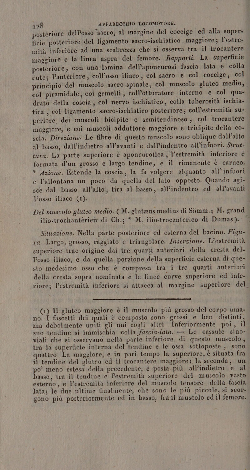 postériore dell'osso ‘sacro, al margine del coccige ed alla super ficie posteriore del ligamento sacro-ischiatico maggiore; l’estre- mità inferiore ad una scabrezza che si osserva tra il trocantere maggiore e la linea aspra del femore. Rapporti. La superficie posteriore, con una lamina dell’aponeurosi fascia lata e colla cute; l'anteriore , coll’osso iliaco , col sacro e col coccige, col principio del muscolo sacro-spinale, col muscolo gluteo medio, col piramidale, coi gemelli, coll’otturatore interno e col qua- drato della coscia, col nervo ischiatico, colla tuberosità ischia- tica , col ligamento sacro-ischiatico posteriore; coll’estremità su- periore dei muscoli bicipite e semitendinoso , col trocantere maggiore, e coi muscoli adduttore maggiore e tricipite della co- scia. Direzione. Le fibre di questo muscolo sono oblique dall'alto al basso, dall’indietro all’avanti e dall’indentro all’infuori. Strut- tura. La parte superiore è aponeurotica , l'estremità inferiore è formata d’un grosso e largo tendine, e il rimanente è carneo. * Azione. Estende la coscia, la fa volgere alquanto all’ infuori e l’allontana un poco da quella del lato opposto. Quando agi- sce dal basso all’alto, tira al basso, all’indentro ed all’avanti l’osso iliaco (1). Del muscolo gluteo medio. ( M. gluteus medius di Simm.; M. grand ilio-trochanterien di Ch.; * M. ilio-trocanterico di Dumas). Situazione. Nella parte posteriore ed esterna del bacino. /igu- ra. Largo, grosso, raggiato e triangolare. Inserzione. L’estremità superiore trae origine dai tre quarti anteriori della cresta del. l'osso iliaco, e da quella porzione della superficie esterna di que- sto medesimo osso che è compresa tra i tre quarti anteriori della cresta sopra nominata e le linee curve superiore ed infe- riore; l'estremità inferiore si attacca al margine superiore del (1) Il gluteo maggiore è il muscolo più grosso del corpo uma- no. I fascetti dei quali è composto sono grossi e ben distinti, ma debolmente uniti gli uni cogli altri. Inferiormente poi, il suo tendine si immischia colla fascia-lata. — Le cassule sino- viali che si osservano nella parte inferiore di questo muscolo, tra la superficie interna del tendine e le ossa sottoposte , sono quattro. La maggiore, e in pari tempo la superiore, è situata fra il tendine del gluteo cd il trocantere maggiore: la seconda, un po’ meno cstesa della precedente, è posta. più all’indietro e al basso, tra il tendine c l'estremità superiore del muscolo vasto esterno, e l'estremità inferiore del muscolo tensore della fascia lata; le due ultime finalmente, che sono le più piccole, si scor- gono più posteriormente ed in basso, fra il muscolo ed il femore.