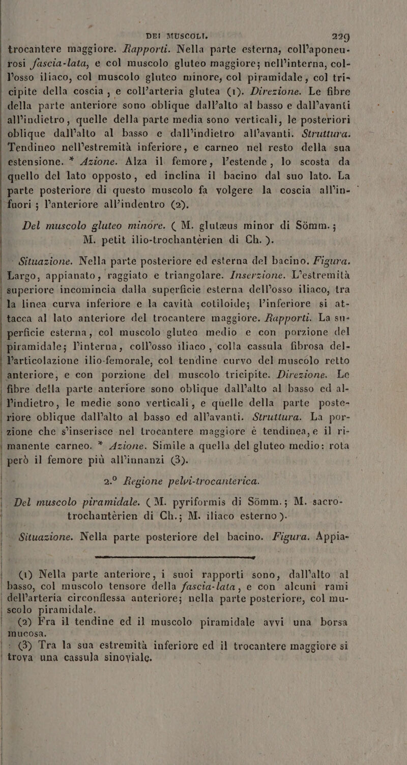 rosi fascia-lata, e col muscolo gluteo maggiore; nell’interna, col- l’osso iliaco, col muscolo gluteo minore; col piramidale, col tri- cipite della coscia , e coll’arteria glutea (1). Direzione. Le fibre della parte anteriore sono oblique dall’alto al basso e dall’avanti all’indietro, quelle della parte media sono verticali, le posteriori oblique dall’alto al basso e dall’indietro all’avanti. Struttura. Tendineo nell’estremità inferiore, e carneo nel resto della sua estensione. * Azione. Alza il femore, Vestende, lo scosta da quello del lato opposto, ed inclina il bacino dal suo lato. La parte posteriore di questo muscolo fa volgere la coscia all’in- fuori ; l'anteriore all’indentro (2). Del muscolo gluteo minore. ( M. gluteus minor di Sòmm.; M. petit ilio-trochantèrien di Ch. ). | Situazione. Nella parte posteriore ed esterna del bacino. Figura. Largo, appianato, raggiato e triangolare. Inserzione. L'estremità superiore incomincia dalla superficie esterna dell’osso iliaco, tra la linea curva inferiore e la cavità cotiloide; l’inferiore si at- tacca al lato anteriore del trocantere maggiore. Rapporti. La sn- perficie esterna, col muscolo'gluteo medio e con porzione del piramidale; l’interna, coll’osso iliaco , colla cassula fibrosa del- l’articolazione ilio-femorale, col tendine curvo del muscolo retto anteriore, e con porzione del muscolo tricipite. Direzione. Le fibre della parte anteriore sono oblique dall’alto al basso ed al- l’indietro, le medie sono verticali, e quelle della parte poste- riore oblique dall’alto al basso ed all’avanti. Struttura. La por- DEI MUSCOLI. 229) trocantere maggiore. Rapporti. Nella parte esterna, coll’aponeu- | zione che s'inserisce nel trocantere maggiore è tendinea, e il ri- 2.° Regione pelvi-trocanterica. i |. Del muscolo piramidale. (M. pyriformis di Sémm.; M. sacro- trochantèrien di Ch.; M. iliaco esterno). Situazione. Nella parte posteriore del bacino. Figura. Appia- TETI TA E TT I N STILI 7 (1) Nella parte anteriore, i suoi rapporti sono, dall'alto al basso, col muscolo tensore della fascia-lata, e con alcuni rami dell’arteria circonflessa anteriore; nella parte posteriore, col mu- scolo piramidale. (2) Fra il tendine ed il muscolo piramidale avvi una borsa | mucosa. | : (3) Tra la sua estremità inferiore ed il trocantere maggiore si ' trova una cassula sinoviale.