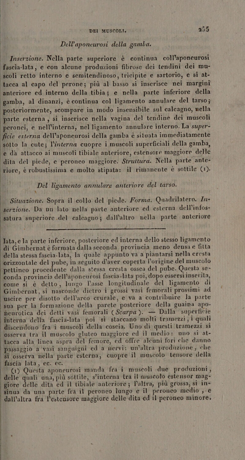 Dell’aponeurosi della gamba. Inserzione. Nella parle superiore è continua coll’aponeurosi \fascia-lata, e con alcune produzioni fibrose dei tendini dei mu- scoli retto interno e semitendinoso, tricipite e sartorio, e si at- tacca al capo del perone; più al basso si inserisce nei margini ‘anteriore ed interno della tibia; e nella parte inferiore della gamba, al dinanzi, è continua col ligamento annulare del tarso ; posteriormente, scompare in modo insensibile sul calcagno, nella parte esterna , si inserisce nella vagina del tendine dei muscoli peronei, e nell’interna, nel ligamento annulare interno. La super- ficie esterna dell’aponeurosi della gamba è situata immediatamente sotto la cute; l’înterna cuopre i muscoli superficiali della gamba, e dà attacco ai muscoli tibiale anteriore, estensore maggiore delle dita del piede, e peroneo maggiore. Struttura. Nella parte ante- riore, è robustissima e molto stipata: il rimanente e sottile (1). Del ligamento annulare antericre del tarso. % Il Situazione. Sopra il collo del piede. Forma. Quadrilatero. Z- serzione. Da un lato nella parte anteriore ed esterna dell’infos- satura superiore del calcagno; dall'altro nella parte anteriore na Tata, e la parte inferiore, posteriore ed interna dello stesso ligamento i di Gimbernat è formata dalla seconda provincia meno densa e fitta i della stessa fascia-lata, la quale appunto va a piantarsi nella cresta ‘orizzontale del pube, in seguito d’aver coperta l'origine del muscolo ‘pettinco procedente dalla stessa cresta ossea del pube. Questa se- conda provincia dell’aponeurosi fascia-lata poi, dopo essersi inserila, come si è detto, lungo Vasse longitudinale del ligamento di Gimbernat, si nasconde dietro i grossi vasi femorali prossimi ad uscire per disotto dell’arco crurale, e va a contribuire la parte sua per la formazione della parete posteriore della guaina apo- heurotica dei detti vasi femorali ( Scarpa ). — Dalla superficie interna della fascia-lata poi si staccano molti tramezzi, i quali discendono fra ‘i muscoli della coscia. Uno di questi tramezzi si osserva tra il muscolo gluteo maggiore ed il medio: nno si at- tacca alla linea aspra del femore, ed offre alcuni fori che danno passaggio a ‘vasi sanguigni ed a mervi: un'altra produzione, che si osserva nella parte esterna, cuopre il muscolo tensore della fascia lata, ec. ec. i (1) Questa aponeurosi manda ‘fra i muscoli due produzioni , delle quali una, più sottile, s’interna tra il muscolo estensor mag- giore delle dita ed il tibiale anteriore; l’altra, più grossa, sì in sinua da una parte fra il peroneo lungo e il peroneo medio ,-e dall'altra fra Vesterisore maggiore delle dita ed il peroneo minore.