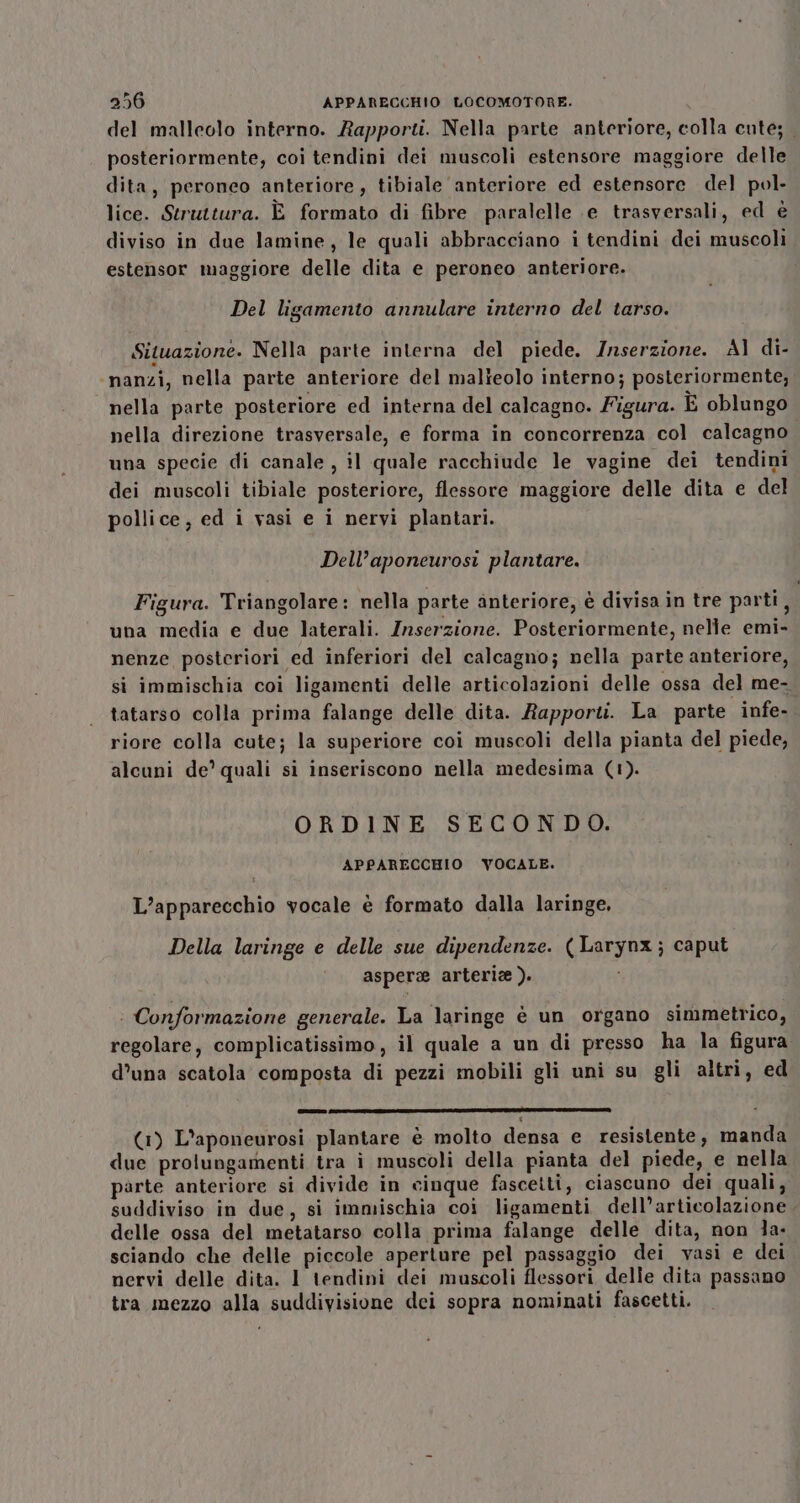 del malleolo interno. Rapporti. Nella parte anteriore, colla cute; posteriormente, coi tendini dei muscoli estensore maggiore delle dita, peroneo anteriore, tibiale anteriore ed estensore del pol- lice. Struttura. È formato di fibre paralelle e trasversali, ed è diviso in due lamine, le quali abbracciano i tendini dei muscoli estensor maggiore delle dita e peroneo anteriore. Del ligamento annulare interno del tarso. Situazione. Nella parte interna del piede. Inserzione. Al di- ‘nanzi, nella parte anteriore del malteolo interno; posteriormente, nella parte posteriore ed interna del calcagno. Figura. È oblungo nella direzione trasversale, e forma in concorrenza col calcagno una specie di canale, il quale racchiude le vagine dei tendini dei muscoli tibiale posteriore, flessore maggiore delle dita e del pollice, ed i vasi e i nervi plantari. Dell’aponeurosi plantare. Figura. Triangolare: nella parte anteriore, è divisain tre parti, una media e due laterali. Inserzione. Posteriormente, nelle emi- nenze posteriori ed inferiori del calcagno; nella parte anteriore, si immischia coi ligamenti delle articolazioni delle ossa del me- tatarso colla prima falange delle dita. Rapporti. La parte infe-. riore colla cute; la superiore coi muscoli della pianta del piede, alcuni de’ quali si inseriscono nella medesima (1). ORDINE SECONDO. APPARECCHIO VOCALE. L’apparecchio vocale è formato dalla laringe. Della laringe e delle sue dipendenze. ( Larynx; caput aspere arterie ). : Conformazione generale. La laringe è un organo simmetrico, regolare, complicatissimo, il quale a un di presso ha la figura d’una scatola composta di pezzi mobili gli uni su gli altri, ed i rr Te rg co @«@@@@mmsisiìittizi ee) (1) L’aponeurosi plantare è molto densa e resistente, manda due prolungamenti tra i muscoli della pianta del piede, e nella parte anteriore si divide in cinque fascetti, ciascuno dei quali, suddiviso in due, si immischia coi ligamenti dell’articolazione delle ossa del metatarso colla prima falange delle dita, non 1a: sciando che delle piccole aperture pel passaggio dei vasi e dei nervi delle dita. 1 tendini dei muscoli flessori delle dita passano tra mezzo alla suddivisione dei sopra nominati fascetti.