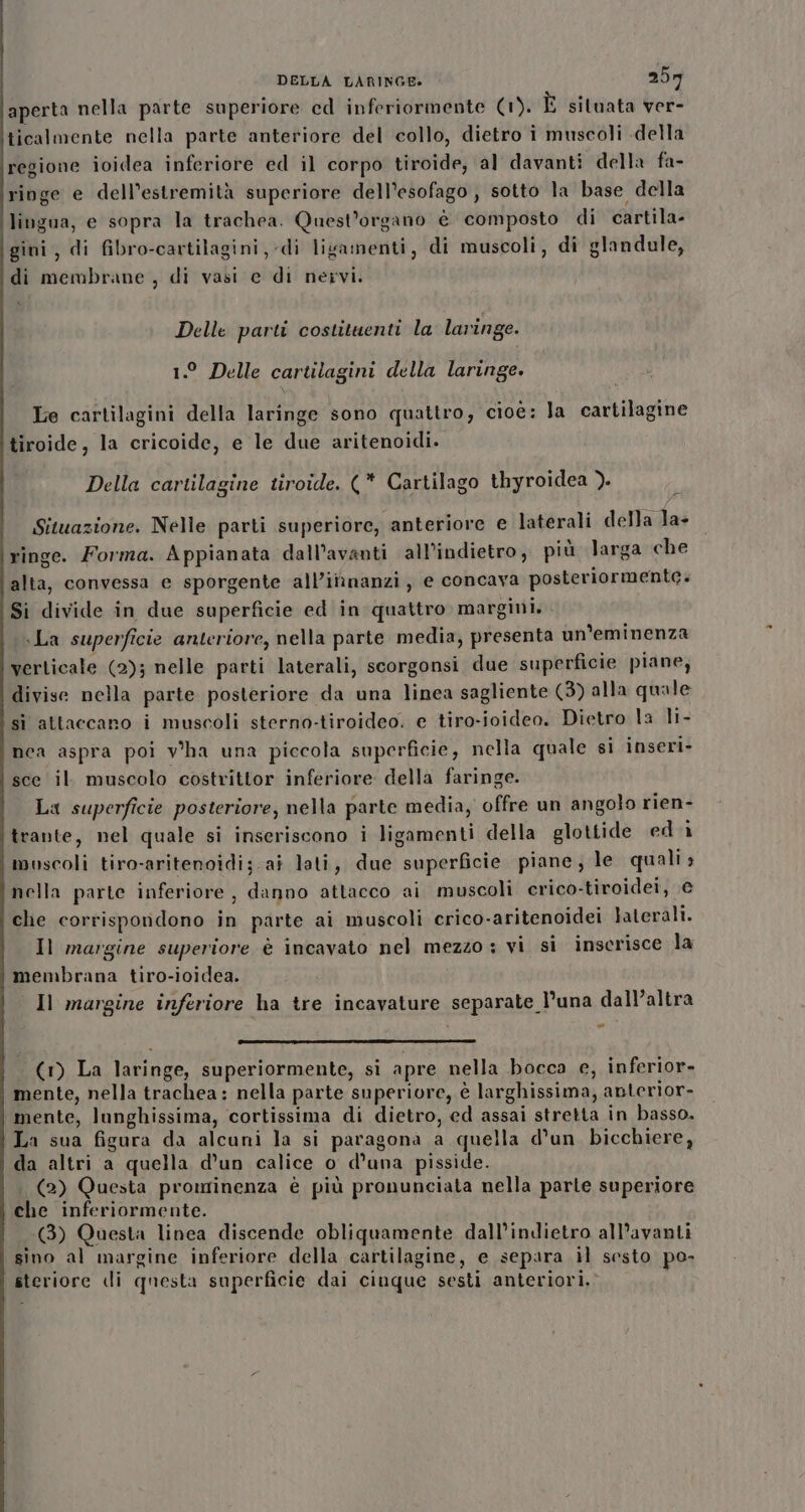 aperta nella parte superiore cd inferiormente (1). È situata ver- ticalmente nella parte anteriore del collo, dietro i muscoli della regione ioidea inferiore ed il corpo tiroide, al davanti della fa- ringe e dell’estremità superiore dell’esofago , sotto la base della lingua, e sopra la trachea. Quest’organo è composto di cartila- gini, di fibro-cartilagini,-di ligamenti, di muscoli, di glandule, di membrane , di vasi e di nervi. x Delle parti costituenti la laringe. 1° Delle cartilagini della laringe. Le cartilagini della laringe sono quattro, cioè: la cartilagine tiroide, la cricoide, e le due aritenoidi. Della cartilagine tiroide. (* Cartilago thyroidea ). Situazione. Nelle parti superiore, anteriore e laterali della la- ringe. Forma. Appianata dall’avanti all’indietro, più larga che alta, convessa e sporgente all’iiinanzi, e concava posteriormente. Si divide in due superficie ed in quattro margini. La superficie anteriore, nella parte media, presenta un’eminenza verticale (2); nelle parti laterali, scorgonsi due superficie piane, divise nella parte posteriore da una linea sagliente (3) alla quale sì attaccano i muscoli sterno-tiroideo. e tiro-ioideo. Dietro la li- nea aspra poi v'ha una piccola superficie, nella quale si inseri- sce il muscolo costrittor inferiore della faringe. La superficie posteriore, nella parte media, offre un angolo rien- trante, nel quale si inseriscono i ligamenti della glottide ed ì muscoli tiro-aritenoidi;.ai lati, due superficie piane; le quali» nella parte inferiore, danno attacco ai muscoli crico-tiroidei, € che corrispondono in parte ai muscoli erico-aritenoidei laterali. Il margine superiore è incavato nel mezzo : vi si inscrisce la membrana tiro-ioidea. Il margine inferiore ha tre incavature separate l'una dall’altra m (1) La laringe, superiormente, si apre nella bocca e, inferior- mente, nella trachea: nella parte superiore, è larghissima, anterior- mente, lunghissima, cortissima di dietro, ed assai stretta in basso. ‘La sua figura da alcuni la si paragona a quella d'un bicchiere, da altri a quella d’un calice o d'una pisside. . (2) Questa prominenza è più pronunciata nella parte superiore che inferiormente. (3) Questa linea discende obliquamente dall’indietro all’avanti sino al margine inferiore della cartilagine, e separa il sesto po- steriore di questa superficie dai cinque sesti anteriori,