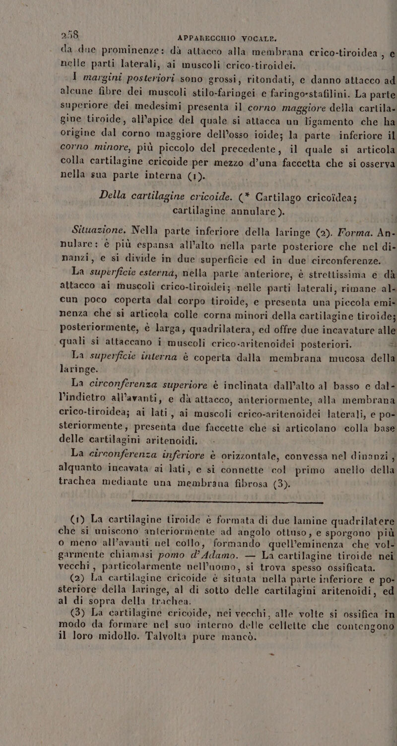 da due prominenze: dà attacco alla membrana crico-tiroidea , € nelle parti laterali, ai muscoli crico-tiroidei. I margini posteriori sono grossi, ritondati, e danno attacco ad alcune fibre dei muscoli stilo-faringei e faringo=stafilini. La parte superiore dei medesimi presenta il corno maggiore della cartila- gine tiroide, all'apice del quale si attacca un bgamento che ha origine dal corno maggiore dell’osso ioide; la parte inferiore il corno minore, più piccolo del precedente, il quale si articola colla cartilagine cricoide per mezzo d’una faccetta che si osserva nella sua parte interna (1). Della cartilagine cricoide. (* Cartilago cricoidea; cartilagine annulare). Situazione. Nella parte inferiore della laringe (2). Forma. An- nulare: è più espansa all'alto nella parte posteriore che nel di- nanzi, e si divide in due superficie ed in due circonferenze: La superficie esterna, nella parte anteriore, è strettissima 6 dà attacco ai muscoli crico-tiroidei; ‘nelle parti laterali, rimane al. cun poco coperta dal corpo tiroide, e presenta una piccola emi» nenza che si articola colle corna minori della cartilagine tiroide; posteriormente, è larga, quadrilatera, ed offre due incavature alle quali si attaccano i muscoli crico-aritenoidei posteriori. si La superficie interna è coperta dalla membrana mucosa della laringe. : La circonferenza superiore è inclinata dall’alto al basso e dal- l’indietro all’avanti, e dà attacco, anteriormente, alla membrana crico-tiroidea; ai lati, ai muscoli crico-aritenoidei laterali, e po- steriormente; presenta due faccette che si articolano colla base delle cartilagini aritenoidi. La circonferenza inferiore è orizzontale, convessa nel dinanzi , alquanto incavata' ai lati, e si connette col primo anello della trachea mediante una membrana fibrosa (3). PP _——=_=_=-rrrrrrrr (1) La cartilagine tiroide è formata di due lamine quadrilatere che si uniscono anteriormente ad angolo ottuso, e sporgono più o meno all’avanti nel collo, formando quell’eminenza che vol- garmente chiamasi pomo d’ Adamo. — La cartilagine tiroide nei vecchi, particolarmente nell'uomo, si trova spesso ossificata. (2) La cartilagine cricoide è situata nella parte inferiore e po- steriore della laringe, al di sotto delle cartilagini aritenoidi, ed al di sopra della trachea. 1 (3) La cartilagine cricvide, nei vecchi, alle volte si ossifica in modo da formare nel suo interno delle cellette che contengono il Joro midollo. Talvolta pure mancò.