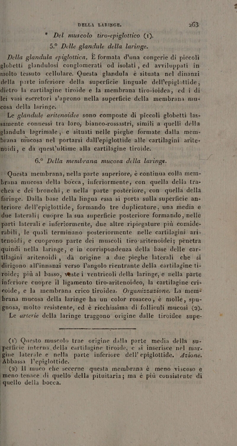 * Del muscolo tiro-epiglottico (1). 5.° Delle glandule della laring Della glandula epiglottica. È formata d’una congerie di piccoli globetti glandulosi conglomerati od isolati, ed avviluppati in molto tessuto cellulare. Questa glandula è situata. nel dinanzi della parte inferiore della superficie. linguale dell’epiglottide, dietro la cartilagine tiroide e la membrana tiro-ioidea, ed i di lei vasi escretori s’aprono nella superficie della membrana mu- cosa della laringe. Le glandule aritenoidee sono composte di piccoli globetti las- samente connessi tra loro, bianco-rossastri, simili a quelli della glandela lagrimale;. e situati nelle pieghe formate dalla mem- brana mucosa nel portarsi dall’epiglottide alle cartilagini arite- noidi, e da quest'ultime alla cartilagine tiroide. 6.° Della membrana mucosa della laringe. Questa membrana, nella parte superiore; è continua colta mem- brana mucosa della bocca, inferiormente, con quella della tra- chca e dei bronchi, e nella parte posteriore, con quella della faringe. Dalla base della lingua essa si porta sulla superficie an- teriore dell’epiglottide, formando tre duplicature., una media e due laterali; cuopre la sua superficie posteriore formando , nelle parti laterali e inferiormente, due altre ripiegature più conside- rabili, le quali terminano posteriormente nelle cartilagini ari- tenoidi, e cuoprono parte dei muscoli tiro-aritenoidei; pènetra quindi nella laringe, e in corrispondenza della base delle car- tilagini aritenoidi, dà origine a due pieghe laterali che si ‘dirigono all’innanzi verso l’angolo rientrante della cartilagine ti- roide; più al basso, vestei ventricoli della laringe, e nella parte ‘inferiore cuopre il ligamento tiro-aritenoideo, la cartilagine cri- ieoide, e la membrana crico tiroidea. Organizzazione. La mem= brana mucosa della laringe ha un color rosaceo, è molle, spu- ignosa, molto resistente, ed è ricchissima di folliculi mucosi (2). Le arterie della laringe traggono origine dalle tiroidee supe- &lt; (1) Questo muscolo trae origine dalla parte media della su- ‘perficie interna della cartilagine tiroide, e si inserisce nel mar- Bic laterale e nella parte inferiore dell’ epiglottide. Azione. ‘Abbassa l’epiglottide. (2) Il muco che secerne questa membrana è meno viscoso e imeno tenace di quello della pituitaria; ma è più consistente di ijvello della bocca.