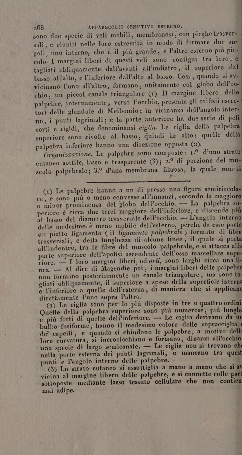 sono due specie di veli mobili, membranosi, con pieghe trasver- sali, e riuniti nelle loro estremità in modo di formare due an». goli, uno interno, che è il più grande, e l’altro esterno più pic- colo. I margini liberi di questi veli sono contigui tra loro, ell tagliati obliquamente dall’avanti all'indietro, il superiore dal | basso all'alto, e Vinferiore dall’alto al basso. Così, quando si av- vicinano l'uno all’altro, formano, unitamente col globo dell’oc-. chio, un piccol canale triangolare (1). Il margine libero delle | palpebre, internamente, verso l'occhio, presenta gli orifizii escre- | tori delle glandale di Meibomio; in vicinanza dell’angolo inter». no, i punti lagrimali; e la parte anteriore ha due serie di peli, corti e rigidi, che denominansi ciglia. Le ciglia della palpebra. superiore sono rivolte al basso, quindi in alto: quelle della) palpebra inferiore hanno una direzione opposta (2). | Organizzazione. Le palpebre seno composte : 1.° d’uno strato! cutaneo sottile, lasso e trasparente (3); 2.° di porzione del mu- scolo palpebrale; 3.° d'una membrana fibrosa, la quale non-si fe i ll e (1) Le palpebre hanno a un di presso una figura semicircola= re, e sono più o meno convesse all’innanzi, secondo la maggiore: o minor prominenza del globo dell’occhio. — La palpebra su» eriore è circa due terzi maggiore dell’inferiore, e discende più al basso del diametro trasversale dell'occhio. — L’angolo interno delle medesime. è meno mobile dell’esterno, perché da esso parte un piatto ligamento (il ligamento palpebrale ) formato di fibre trasversali, e della lunghezza di alcune linee, il quale si porta all’indentro, tra le fibre del muscolo palpebrale, e si attacca alla parte superiore dell’apofisi ascendente dell’osso mascellare supe- riore. — I loro margini liberi, od orlî, sono larghi circa una li: nea. — Al dire di Magendie poi, i margini liberi delle palpebre non formano posteriormente un canale triangolare, ma sono ta: gliati obliquamente, il superiore a spese della superficie interna e l’inferiore a quelle dell’esterna , di maniera che si applicano direttamente l'uno sopra l’altro. $ (2) Le ciglia sono per lo più disposte in tre o quattro ordini Quelle della palpebra superiore sono più numerose, più lunghe e più forti di quelle dell’inferiore. — Le ciglia derivano da ur bulbo fusiforme, hanno il medesimo colore delle sopracciglia de’ capelli, e quando si chiudono le palpebre, a motivo delli loro curvatura, si incrocicchiano e formano, dinanzi all’oechio una specie di largo semicanale. — Le ciglia non si trovano chi nella parte esterna dei punti lagrimali, e mancano tra quest anti e l’angolo interno delle palpebre. . (3) Lo strato cutaneo si assottiglia a mano a mano che si ay vicina al margine libero delle palpebre, e si connette colle pari sottoposte mediante lasso tessuto cellulare che non contien mai adipe.