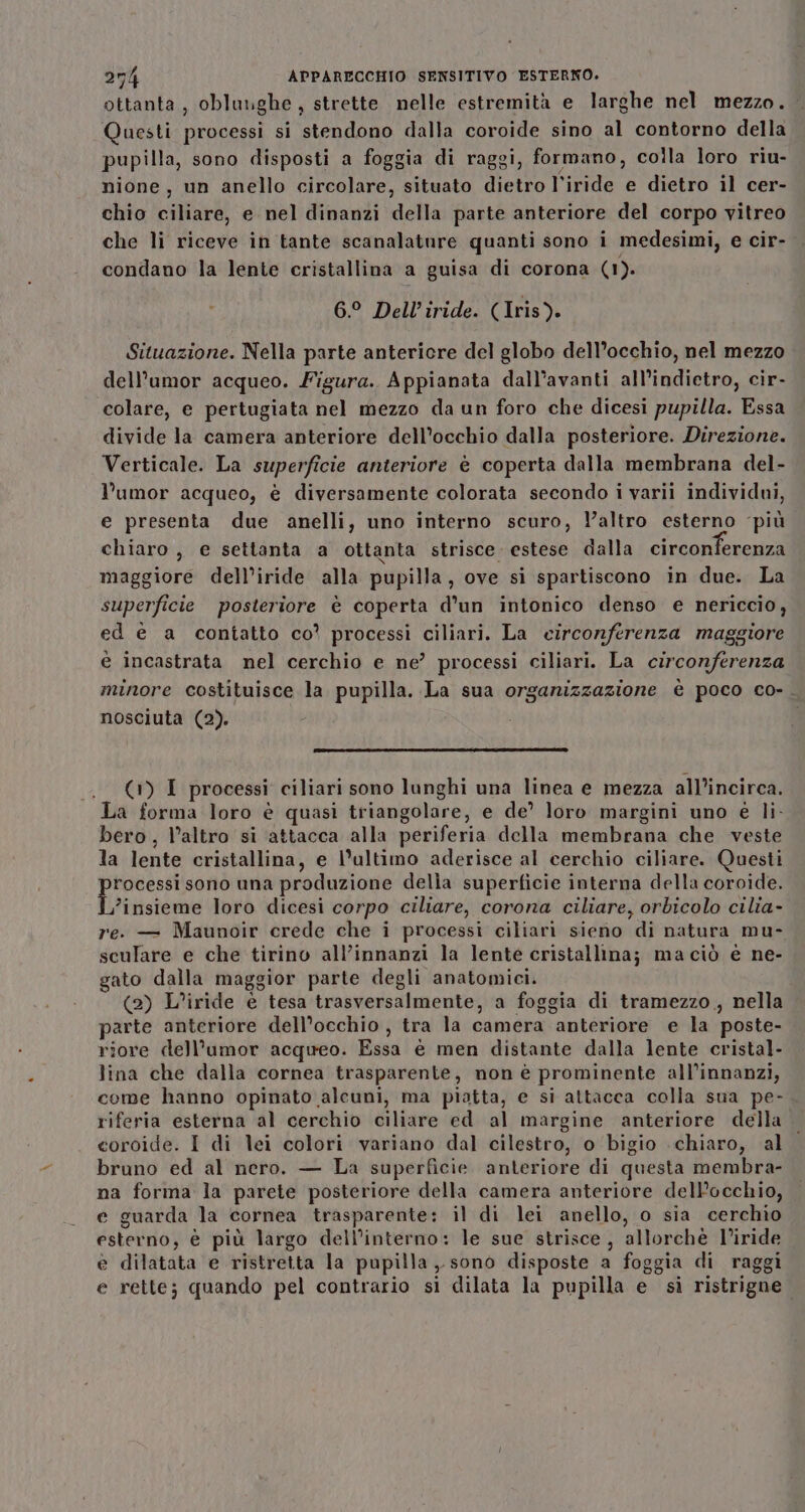 ottanta, oblunghe, strette nelle estremità e larghe nel mezzo. Questi processi si stendono dalla coroide sino al contorno della pupilla, sono disposti a foggia di raggi, formano, colla loro riu- nione, un anello circolare, situato dietro l’iride e dietro il cer- chio ciliare, e nel dinanzi della parte anteriore del corpo vitreo che li riceve in tante scanalature quanti sono i medesimi, e cir- condano la lente cristallina a guisa di corona (1). 6.° Dell’iride. (Iris). Situazione. Nella parte antericre del globo dell’occhio, nel mezzo dell’umor acqueo. Figura. Appianata dall’avanti all'indietro, cir- colare, e pertugiata nel mezzo da un foro che dicesi pupilla. Essa divide la camera anteriore dell’occhio dalla posteriore. Direzione. Verticale. La superficie anteriore è coperta dalla membrana del- l’umor acqueo, è diversamente colorata secondo i varii individui, e presenta due anelli, uno interno scuro, l’altro esterno ‘più chiaro , e settanta a ottanta strisce. estese dalla circonferenza maggiore dell’iride alla pupilla, ove si spartiscono in due. La superficie posteriore è coperta d’un intonico denso e nericcio, ed è a contatto co' processi ciliari. La circonferenza maggiore è incastrata nel cerchio e ne’ processi ciliari. La circonferenza minore costituisce la pupilla. La sua organizzazione è poco co-. nosciuta (2). (1) I processi ciliari sono lunghi una linea e mezza all'incirca. La forma loro è quasi triangolare, e de’ loro margini uno è li: bero, l’altro si attacca alla periferia della membrana che veste la lente cristallina, e l’ultimo aderisce al cerchio ciliare. Questi rocessi sono una produzione della superficie interna della coroide. Hzasto loro dicesi corpo ciliare, corona ciliare, orbicolo cilia- re. — Maunoir crede che i processi ciliarì sieno di natura mu- sculare e che tirino all’innanzi la lente cristallina; maciò è ne- gato dalla maggior parte degli anatomici. (2) L’iride è tesa trasversalmente, a foggia di tramezzo, nella arte anteriore dell'occhio, tra la camera anteriore e la poste- riore dell’umor acqueo. Essa è men distante dalla lente cristal- lina che dalla cornea trasparente, non è prominente all’innanzi, come hanno opinato alcuni, ma piatta, e si attacca colla sua pe- riferia esterna al cerchio ciliare ed al margine anteriore della coroide. I di lei colori variano dal cilestro, o bigio chiaro, al bruno ed al nero. — La superficie anteriore di questa membra- na forma la parete posteriore della camera anteriore delP’occhio, e guarda la cornea trasparente: il di lei anello, o sia cerchio esterno, è più largo dell’interno: le sue strisce, allorchè l’iride è dilatata e ristretta la pupilla, sono disposte a foggia di raggi e rette; quando pel contrario si dilata la pupilla e si ristrigne.