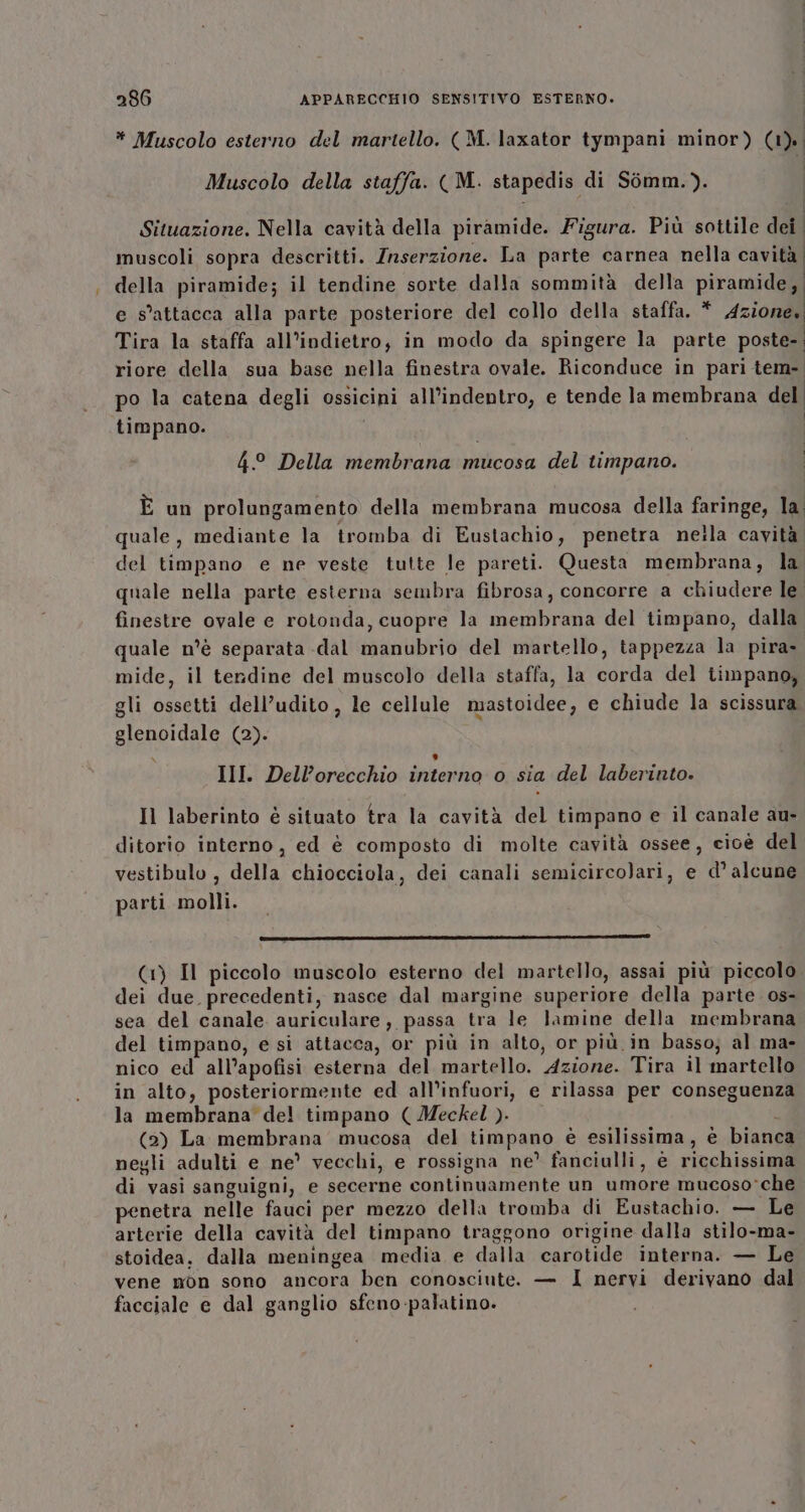 * Muscolo esterno del martello. ( M. laxator tympani minor) (1). Muscolo della staffa. (M. stapedis di Somm.). Situazione. Nella cavità della piramide. Figura. Più sottile dei muscoli sopra descritti. Inserzione. La parte carnea nella cavità | . } Ù ; Sh &amp; È | della piramide; il tendine sorte dalla sommità della piramide, e s’attacca alla parte posteriore del collo della staffa. * Azione, Tira la staffa all’indietro, in modo da spingere la parte poste- | riore della sua base nella finestra ovale. Riconduce in pari tem-. po la catena degli ossicini all’indentro, e tende la membrana del timpano. | | 4° Della membrana mucosa del timpano. | È un prolungamento della membrana mucosa della faringe, la. quale, mediante la tromba di Eustachio, penetra neila cavità del timpano e ne veste tutte le pareti. Questa membrana, la. quale nella parte esterna sembra fibrosa, concorre a chiudere le finestre ovale e rotonda, cuopre la membrana del timpano, dalla. quale n'è separata -dal manubrio del martello, tappezza la pira- mide, il tendine del muscolo della staffa, la corda del timpano, gli ossetti dell’udito , le cellule mastoidee, e chiude la scissura glenoidale (2). III. Dell’orecchio interno o sia del laberinto. Il laberinto è situato tra la cavità del timpano e il canale au- ditorio interno, ed è composto di molte cavità ossee, cioè del vestibulo , della chiocciola, dei canali semicirco}ari, e d’ alcune parti molli. (1) Il piccolo muscolo esterno del martello, assai più piccolo. dei due precedenti, nasce dal margine superiore della parte. os- sea del canale auriculare, passa tra le lamine della membrana del timpano, e si attacca, or più in alto, or più in basso; al ma- nico ed all’apofisi esterna del martello. Azione. Tira il martello in alto, posteriormente ed all'infuori, e rilassa per conseguenza la membrana del timpano ( Meckel ). (2) La membrana mucosa del timpano è esilissima, è bianca negli adulti e ne’ vecchi, e rossigna ne’ fanciulli, è ricchissima di vasi sanguigni, e secerne continuamente un umore mucoso*che penetra nelle fauci per mezzo della tromba di Eustachio. — Le arterie della cavità del timpano traggono origine dalla stilo-ma- stoidea, dalla meningea media e dalla carotide interna. — Le vene mon sono ancora ben conosciute. — I nervi derivano dal facciale e dal ganglio sfeno-palatino.