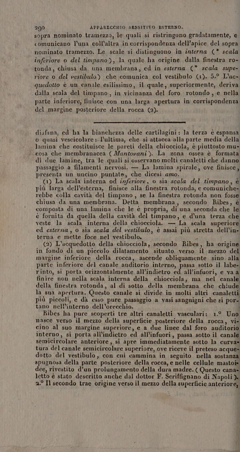 sopra nominato tramezzo, le quali si ristringono gradatamente, e comunicano l’una coll’altra in corrispondenza dell’apice. del sopra nominato îiramezzo. Le scale si distinguono in interna (* scala inferiore o del timpano), la quale ha origine dalla finestra ro- tonda, chiusa da una membrana, ed in esterna (* scala supe- riore o del vestibulo) che ‘comunica col vestibulo (1). 5.° L’ac- quedotto è un canale. esilissimo, il quale, superiormente, deriva dalla scala del timpano, in vicinanza del foro rotondo, e nella parte inferiore, finisce con una larga apertura in corrispondenza del margine posteriore della rocca (2). diafana, ed ha la bianchezza delle cartilagini: la terza è espansa o quasi vescicolare :-l’ultima, che si attacca alia parte media della lamina che costituisce le pareti della chiocciola, è piuttosto mu- cosa che membranacea ( Mantovani ). La zona ossea è formata di due lamine, tra le quali si osservano molti canaletti che danno passaggio a filamenti nervosi. — La lamina spirale, ove finisce, presenta un uncino puntate, che dicesi amo. (1) La scala interna od inferiore, o sia scala del timpano, è più larga dell’esterna, finisce alla finestra rotonda, e comuniche- rebbe colla cavità del timpano , se la finestra rotonda non fosse chiusa: da una membrana. Detta. membrana, secondo Ribes, è composta di una lamina che le è propria, di una seconda che le è fornita da quella della cavità del timpano, e d'una terza che veste la scala interna della chiocciola. — La scala superiore ed esterna, o sia scala del vestibulo, è assai più stretta dell’in- terna e mette foce nel vestibulo, A (2) L’aucquedotto della chiocciola, secondo Ribes, ha origine in fondo di un piccolo dilatamento situato. verso. il mezzo del margine inferiore della rocca, ascende obliquamente sino, alla parte inferiore del canale auditorio interno, passa sotto il labe- rinto, si porta orizzontalmente all’indietro ed all’infuori, e va a finire non nella scala interna della chiocciola; ma nel canale della finestra rotonda, al di sotto della membrana che, chiude la sua apertura. Questo canale si divide in molti altri canaletti più piccoli, e dà esso pure passaggio a vasi sanguigni che si por- tano nell’interno. dell’orecchio. 0 Ribes ha pure scoperti tre altri canaletti vasculari: 1.9 Un nasce verso il mezzo della superficie posteriore della rocca, vi- cino al suo margine superiore, e a due linee dal foro auditorio interno, si porta all’indietro ed all’infuori, passa sotto il canale semicircolare anteriore, si apre immediatamente sotto la curva» tura del canale semicircolare superiore, ove riceve il preteso acque- detto del vestibulo ,. con cui cammina in seguito nella sostanza spugnosa della parte posteriore della rocca, e nelle cellule mastoi= dee, rivestito d’un prolungamento della dura madre. ( Questo cana» letto è stato .descritto anche dal dottor F. Scriffignano di Napoli ). 2.° Il secondo trae origine verso il mezzo della superficie anteriore,