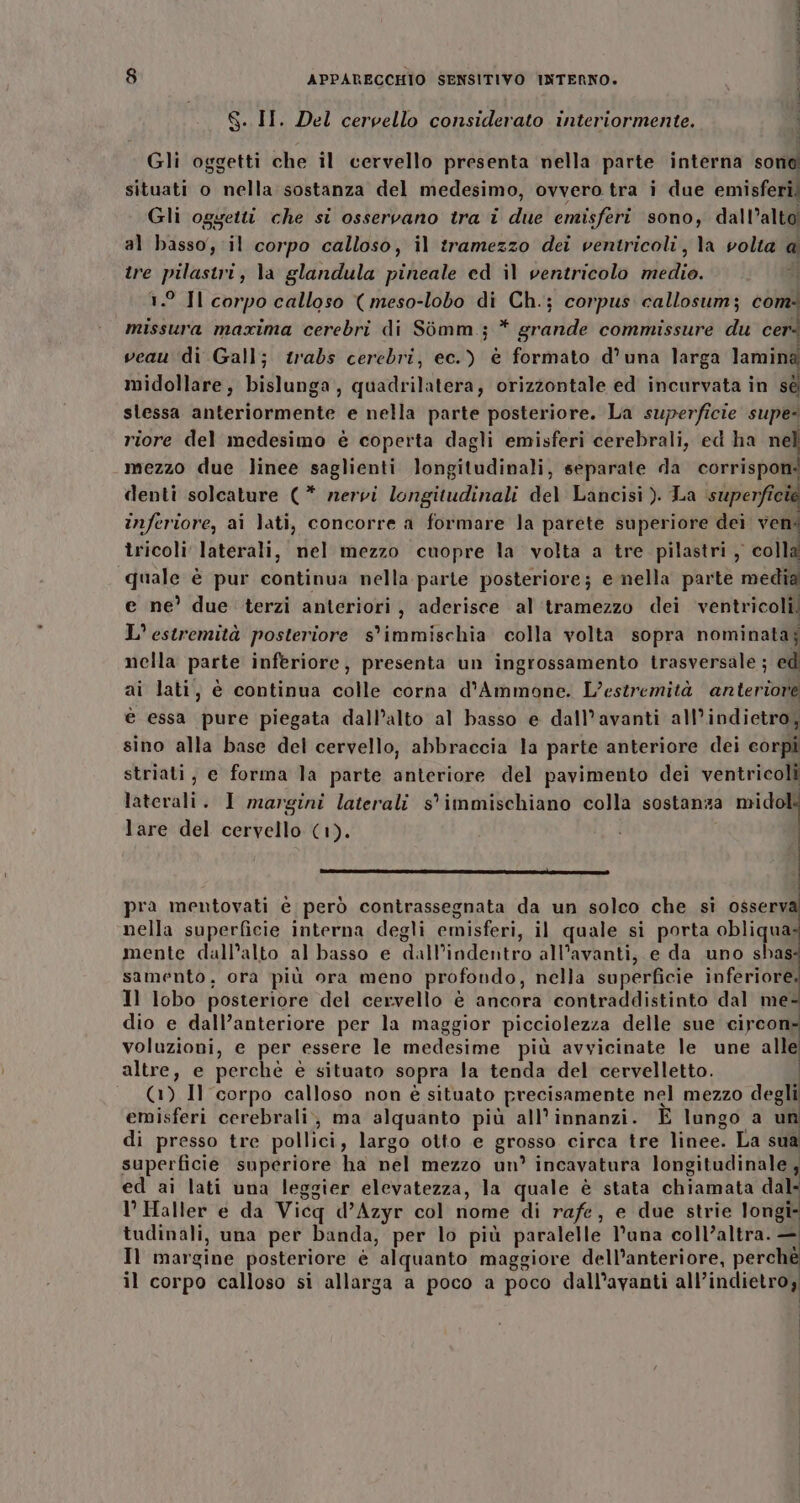 i S.. II. Del cervello considerato interiormente. i Gli oggetti che il cervello presenta nella parte interna sono situati o nella sostanza del medesimo, ovvero tra i due emisferi Gli oggetti che si osservano tra i del emisferi sono, dall’alto al basso, il corpo calloso, il tramezzo dei ventricoli, la volta a tre pilastri, la glandula pineale cd il ventricolo medio. 1.° Il corpo calloso ( meso-lobo di Ch.; corpus callosum; cons missura maxima cerebri di Sòmm.; * grande commissure du cer: veau di Gall; trabs cerebri, ec.) è formato d’una larga lamina midollare, bislunga, quadrilatera, orizzontale ed incurvata in sé slessa anteriormente e nella parte posteriore. La superficie supe riore del medesimo è coperta dagli emisferi cerebrali, ed ha nell mezzo due linee saglienti longitudinali, separate da corrisponi denti solcature (* nervi longitudinali del Lancisi ). La superficie inferiore, ai lati, concorre a formare la parete superiore dei veni tricoli laterali, nel mezzo cuopre la volta a tre pilastri, colla quale è pur continua nella parte posteriore; e nella parte media e ne’ due terzi anteriori, aderisce al tramezzo dei ventricoli! L’ estremità posteriore s’immischia colla volta sopra nominataj nella parte inferiore, presenta un ingrossamento trasversale ; ed ai lati, è continua colle corna d’Ammone. L’estremità anteriore è essa pure piegata dall’alto al basso e dall’avanti all'indietro, sino alla base del cervello, abbraccia la parte anteriore dei corpi striati, e forma la parte anteriore del pavimento dei ventricoli laterali. I margini laterali s'immischiano colla sostanza midol: lare del cervello (1). i—____ÈÉmeoet@-oi ni pra mentovati è però contrassegnata da un solco che si osserv nella superficie interna degli emisferi, il quale si porta obliqua mente dall’alto al basso e dall’indentro all’ avanti, e da uno sbas samento, ora più ora meno profondo, nella superficie inferiore Il lobo posteriore del cervello è ancora contraddistinto dal me* dio e dall’anteriore per la maggior picciolezza delle sue circon voluzioni, e per essere le medesime più avvicinate le une alle altre, e perchè è situato sopra la tenda del cervelletto. | __ (© Il corpo calloso non è situato precisamente nel mezzo degli emisferi cerebrali, ma alquanto più all’ innanzi. È lungo a di di presso tre pollici, largo otto e grosso circa tre linee. La su superficie superiore ha nel mezzo un° incavatura longitudinale , ed ai lati una leggier elevatezza, la quale è stata chiamata dal I’ Haller e da Vicq d’Azyr col nome di rafe, e due strie i tudinali, una per banda, per lo più paralelle l’una coll’altra. — Il margine posteriore è ‘alquanto maggiore dell’anteriore, rai il corpo calloso si allarga a poco a poco dall’avanti all’indietroy