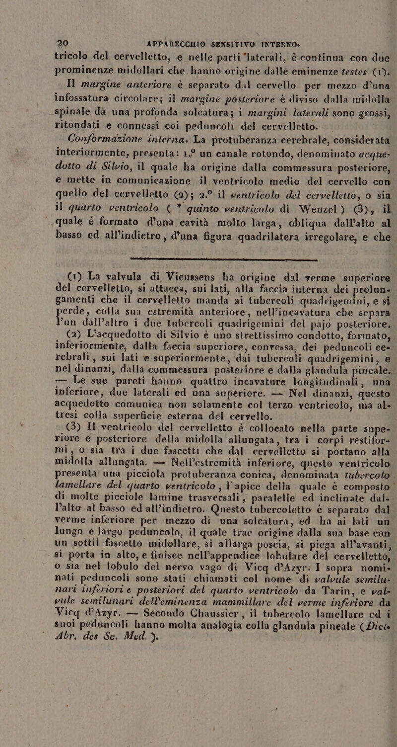 tricolo del cervelletto, e nelle parti “laterali, è continua con due prominenze midollari che hanno origine dalle eminenze testes (1). Il margine anteriore è separato dal cervello per mezzo d’una infossatura circolare; il margine posteriore è diviso dalla midolla spinale da una profonda solcatura; i margini laterali sono grossi, ritondati e connessi coi peduncoli del cervelletto. Conformazione interna. La protuberanza cerebrale, considerata interiormente, presenta: 1.° un canale rotondo, denominato acque- dotto di Silvio, il quale ha origine dalla commessura posteriore, e mette in comunicazione il ventricolo medio del cervello con quello del cervelletto (2); 2.9 il ventricolo del cervelletto, o sia il quarto ventricolo ( * quinto ventricolo di Wenzel) GB), il quale è formato d'una cavità molto larga, obliqua dall’alto al basso ed all'indietro, d'una figura quadrilatera irregolare, e che (1) La valvula di Vieussens ha origine dal verme superiore del cervelletto, si attacca, sui lati, alla faccia interna dei prolun- gamenti che il cervelletto manda ai tubercoli quadrigemini, e si perde, colla sua estremità anteriore, nell’incavatura che separa l’un dall’altro i due tubercoli quadrigemini del pajo posteriore. (2) L’acquedotto di Silvio è uno strettissimo condotto, formato, inferiormente, dalla faccia ‘superiore, convessa, dei peduncoli ce- rebrali, sui lati e superiormente, dai tubercoli quadrigemini, e nel dinanzi, dalla commessura posteriore e dalla glandula pineale. — Le sue pareti hanno quattro incavature longitudinali, una inferiore, due laterali ed una superiore. — Nel dinanzi, questo acquedotto comunica non solamente col terzo ventricolo, ma al- tresì colla superficie esterna del cervello. (3) Il ventricolo del cervelletto è collocato nella parte supe- riore e posteriore della midolla allungata, tra i corpi restifor- mi, o sia tra i due fascetti che dal cervelletto si portano alla midolla allungata. — Nell’estremità inferiore, questo ventricolo presenta una picciola protuberanza conica, denominata tudercolo lamellare del quarto ventricolo , l'apice della quale è composto‘ di molte picciole lamine trasversali, paralelle ed inclinate dal. l’alto al basso ed all’indietro. Questo tubercoletto è separato dal verme inferiore per mezzo di una solcatura, ed ha ai lati un lungo e largo peduncolo, il quale trae origine dalla sua base con un sottil fascetto midollare, si allarga poscia, si piega all’avanti, si porta in alto, e finisce nell'appendice lobulare del cervelletto, o sia nel lobulo del nervo vago di Vicq d’Azyr: I sopra nomi- nati peduncoli sono stati chiamati col nome di valvule semilu- nari inferiori e posteriori del quarto ventricolo da Tarin, e val- vule semilunari dell’eminenza mammillare del verme inferiore da Vicq d’Azyr. — Secondo Chaussier, il tubercolo lamellare ed i suoi peduncoli hanno molta analogia colla glandula pineale (Diete Abr. des Sc. Med. ).