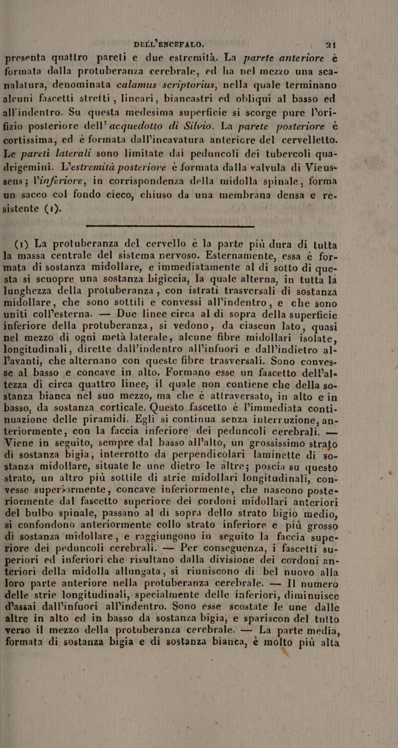 DELL’ENCEFALO. SROTADi presenta quattro pareli e due estremità. La parete anteriore è formata dalla protuberanza cerebrale, ed ha nel mezzo una sca- nalatura, denominata calamus scriptorius, nella quale terminano alcuni fascetti stretti, lineari, biancastri ed obliqui al basso ed all'indentro. Su questa medesima superficie si scorge pure l’ori- fizio posteriore dell’ acquedotto di Silvio. La parete posteriore è cortissima, ed è formata dall’incavatura anteriore del cervelletto. Le pareti laterali sono limitate dai peduncoli dei tubercoli qua- drigemini. L’estremità posteriore è formata dalla valvula di Vieus- sens; l’inferiore, in corrispondenza della midolla spinale, forma un sacco col fondo cieco, chiuso da una membrana densa e re- sistente (1). (1) La protuberanza del cervello è la parte più dura di tutta la massa centrale del sistema nervoso. Esternamente, essa è for- mata di sostanza midollare, e immediatamente al di sotto di que- sta si scuopre una sostanza bigiccia, la quale alterna, in tutta la lunghezza della protuberanza, con istrati trasversali di sostanza midollare, che sono sottili e convessi all’indentro, e che sono uniti coll’esterna. — Due linee circa al di sopra della superficie inferiore della protuberanza, si vedono, da ciascun lato, quasi nel mezzo di ogni metà laterale, alcune fibre midollari isolate, longitudinali, dirette dall’indentro all'infuori e dall’indietro al- l’avanti, che alternano con queste fibre trasversali. Sono conves- se al basso .e concave in alto. Formano esse un fascetto dell’al- tezza di circa quattro linee, il quale non contiene che della so- stanza bianca nel suo mezzo, ma che è attraversato, in alto e in basso, da sostanza corticale. Questo fascetto è l’immediata conti- nuazione delle piramidi. Egli si continua senza interruzione, an- teriormente, con la faccia inferiore dei peduncoli cerebrali. — Viene in seguito, sempre dal basso all’alto, un grossissimo strato di sostanza bigia, interrotto da perpendicolari laminette di so- stanza midollare, situate le une dietro le altre; poscia su questo ‘strato, un altro più sottile di strie midollari longitudinali, con- vesse supersormente, concave inferiormente, che nascono poste- riormente dal fascetto superiore dei cordoni midollari anteriori del bulbo spinale, passano al di sopra dello strato bigio medio, sì confondono anteriormente collo strato inferiore e più grosso di sostanza midollare, e raggiungono in seguito Ja faccia supe- riore dei peduncoli cerebrali. — Per conseguenza, i fascetti su- periori ed inferiori che risultano dalla divisione dei cordoni an- teriori della midolla allungata, si riuniscono di bel nuovo alla loro parte anteriore nella protuberanza cerebrale. — Il numero delle strie longitudinali, specialmente delle inferiori, diminuisce d’assai dall’infuori all’indentro. Sono esse scostate le une dalle altre in alto ed in basso da sostanza bigia, e spariscon del tutto verso il mezzo della protuberanza cerebrale. — La parte media, formata di sostanza bigia e di sostanza bianca, è MIDA più alta