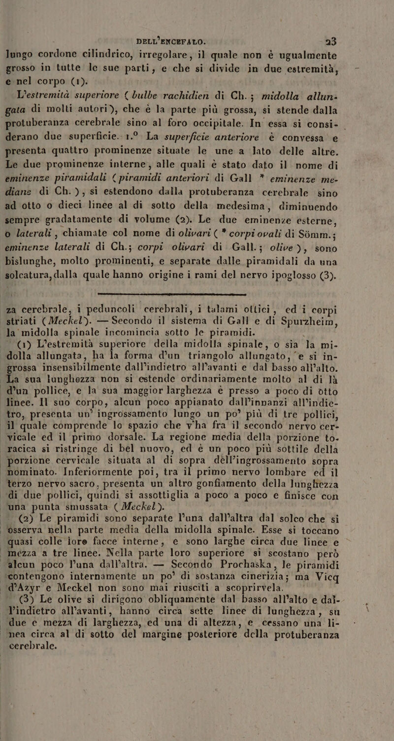 lungo cordone cilindrico, irregolare, il quale non è ugualmente grosso in tutte le sue parti, e che si divide in due estremità, e nel corpo (1). i i L'estremità superiore ( bulbe rachidien di Ch.; midolla allun- gata di molti autori), che è la parte più grossa, si stende dalla derano due superficie. 1.°. La superficie anteriore è convessa e presenta quattro prominenze situate le une a lato delle altre. Le due prominenze interne, alle quali è stato dato il nome di eminenze piramidali {piramidi anteriori di Gall * eminenze me- diane di Ch.), si estendono dalla protuberanza cerebrale sino ad otto o dieci linee al di sotto della. medesima, diminuendo sempre gradatamente di volume (2). Le due eminenze esterne, o laterali, chiamate col nome di olivari ( * corpi ovali di Simm.; eminenze laterali di Ch.; corpi olivari di Gall.j olive), sono bislunghe, molto prominenti, e separate dalle piramidali da una solcatura, dalla quale hanno origine i rami del nervo ipoglosso (3). za cerebrale, i peduncoli cerebrali, i talami ottici, ed i corpi striati ( Meckel). — Secondo il sistema di Gall e di Spurzheim, la midolla spinale incomincia sotto le piramidi. (1) L’estremità superiore della midolla spinale, o sia la mi- dolla allungata, ha la forma d’un triangolo allungato, ‘e si in- grossa insensibilmente dall’indietro all’avanti e dal basso all’alto. La sua lunghezza non si estende ordinariamente molto al di ]à d’un pollice, e la sua maggior larghezza è presso a poco di otto linee. Il suo corpo, alcun poco appianato dall’innanzi all’indie- tro, presenta un’ ingrossamento lungo un po’ più di tre pollici, vicale ed il primo dorsale. La regione media della porzione to- racica sì ristringe di bel nuovo, ed è un poco più sottile della porzione cervicale situata al di sopra dell’ingrossamento sopra nominato. Inferiormente poi, tra il primo nervo lombare ed il terzo nervo sacro, presenta un altro gonfiamento della lungliezza di due pollici, quindi si assottiglia a poco a poco e finisce con una punta smussata ( Meckel). (2) Le piramidi sono separate l’una dall’altra dal solco che si osserva nella parte media della midolla spinale. Esse si toccano quasi colle lore facce interne, e sono larghe circa due linee e mezza a tre linee. Nella parte loro superiore si scostano però alcun poco l'una dall'altra. — Secondo Prochaska, le piramidi ‘d’Azyr e Meckel non sono mai riusciti a scoprirvela. (3) Le olive si dirigono obliquamente dal basso all'alto e dal- due e mezza di larghezza, ed una di altezza, e cessano una. li- nea circa al di sotto del margine posteriore della protuberanza cerebrale. _®