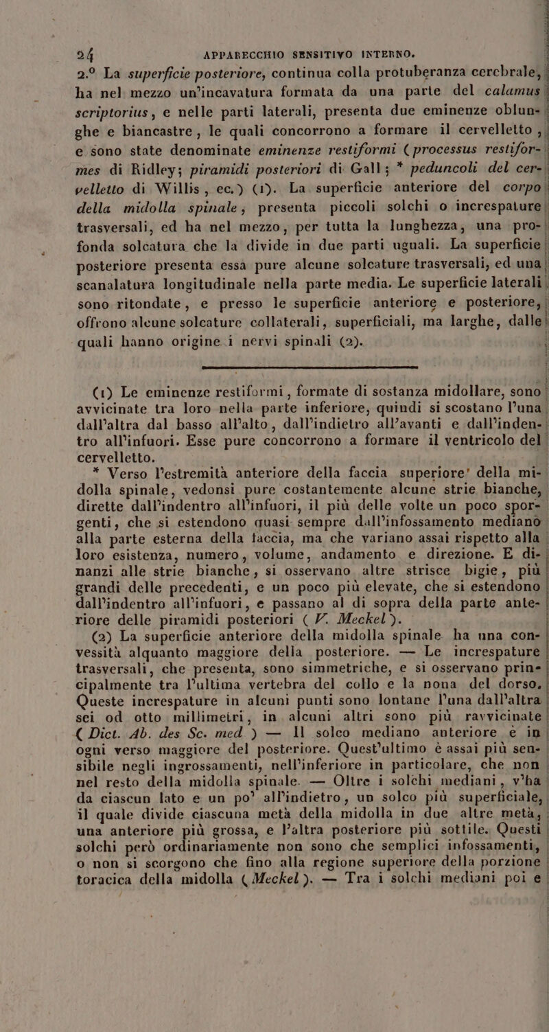 2.9 La superficie posteriore, continua colla protuberanza cercbrale, | ha nel mezzo un’incavatura formata da una parte del calumus | scriptorius, e nelle parti laterali, presenta due eminenze oblun» | ghe e biancastre, le quali concorrono a formare il cervelletto ,, e sono state denominate eminenze restiformi (processus restifor=| mes di Ridley; piramidi posteriori di Gall; * peduncoli del cer». velletto di Willis, ec.) (1). La superficie anteriore del corpo | della midolla spinale; presenta piccoli solchi o increspalure | trasversali, ed ha nel mezzo, per tutta la lunghezza; una pro-! fonda solcatura che la divide in due parti uguali. La superficie posteriore presenta essa pure alcune solcature trasversali, ed una) scanalatura longitudinale nella parte media. Le superficie laterali sono ritondate, e presso le superficie anteriore e posteriore, | offrono alcune solcature collaterali, superficiali, ma larghe, dalle! ‘quali hanno origine i nervi spinali (2). È i) y (1) Le eminenze restiformi, formate di sostanza midollare, sono | avvicinate tra loro nella parte inferiore, quindi si scostano l’una dall’altra dal basso ‘all’alto, dall’indietro all’avanti e dall’inden-; tro all’infuori. Esse pure concorrono a formare il ventricolo del’ cervelletto. * Verso l’estremità anteriore della faccia superiore’ della mi-. dolla spinale, vedonsi pure costantemente alcune strie bianche, | dirette dall’indentro all’infuori, il più delle volte un poco spor-. genti, che si estendono quasi sempre dall’infossamento mediano alla parte esterna della taccia, ma che variano assai rispetto alla | loro esistenza, numero, volume, andamento e direzione. E di- nanzi alle strie bianche, si osservano. altre strisce bigie, più grandi delle precedenti, e un poco più elevate, che si estendono dall’indentro all’infuori, e passano al di sopra della parte ante- riore delle piramidi posteriori ( Y. Meckel}. (2) La superficie anteriore della midolla spinale ha una con- vessità alquanto maggiore della posteriore. — Le increspature trasversali, che presenta, sono simmetriche, e si osservano prine cipalmente tra l’ultima vertebra del collo e la nona del dorso, | Queste increspature in alcuni punti sono lontane l’una dall'altra | sei od otto millimeiri, in. alcuni altri sono più. ravvicinate | ( Dict. Ab. des Sc. med ) — ll solco mediano anteriore € in | ogni verso maggiore del posteriore. Quest'ultimo è assai più sen- | sibile negli ingrossamenti, nell’inferiore in particolare, che non . nel resto della midolla spinale. — Oltre i solchi mediani, v'ha da ciascun lato e un po’ all'indietro, un solco più superficiale, , il quale divide ciascuna metà della midolla in due altre metà, . una anteriore più grossa, e l’altra posteriore più sottile. Questi | solchi però ordinariamente non sono che semplici infossamenti, | o non si scorgono che fino alla regione superiore della porzione | toracica della midolla ( Meckel ). — Tra i solchi mediani poi e | | | | | |