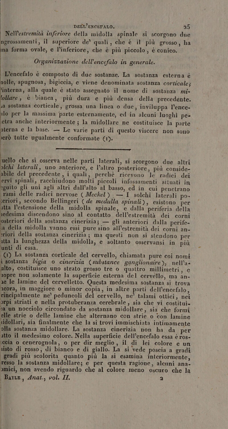 Nell’estremità inferiore della midolla spinale si scorgono due ngrossamenti, il superiore de’ quali, che è il più grosso, ha ina forma ovale, e l’inferiore, che è più piccolo, è conico. Organizzazione dell'encefalo in generale. L’encefalo è composto di due sostanze. La sostanza esterna è nolle, spugnosa, bigiccia, e viene denominata sostanza corticale; ‘interna, alla quale è stato assegnato il nome di sostanza mi- lollare, è bianca, più dura e più densa della precedente. sa sostanza corticale, grossa una linea o due, inviluppa l’ence- ilo per la massima parte esternamente, ed in alcuni luoghi pee etra anche interiormente ; la midollare ne costituisce la parte oterna e la base. — Le varie parti di questo viscere non sono »erò tutte ugualmente conformate (1). (NSSSI ZZZ N RIA STIA ZI STATI IEP uello che si osserva nelle parti laterali, si scorgono due altri alchi laterali, uno anteriore, e l’altro posteriore, più conside- abile del precedente, i quali, perchè ricevono le radici dei ervi spinali, racchiudono molti piccoli infossamenti situati in 2guito gli uni agli altri dall’alto al basso, ed in cui penetrano rami delle radici nervose ( Meckel ): — I solchi laterali po- ieriori, secondo Bellingeri ( de medulla spinali), esistono per itta l’estensione della midolla spinale, e dalla periferia della redesima discendono sino al contatto dell’estremità dei corni osteriori della sostanza cinerizia; — gli anteriori dalla perife- ia della midolla vanno essi pure sino all’estremità dei corni an- rriori della sostanza cinerizia; ma questi non si stendono per atta la lunghezza della midolla, e soltanto osservansi in più unti di essa. (1) La sostanza corticale del cervello, chiamata pure coi nomi i sostanza digia o cinerizia (substance ganglionaire), nell’a- alto, costituisce uno strato grosso tre o quattro millimetri, e lopre non solamente la superficie esterna del cervello, ma an- re le lamine del cervelletto. Questa medesima sostanza si trova acora, in maggiore o minor copia, in altre parti dell’encefalo, rincipalmente ne’ peduncoli del cervello, ne’ talami ottici, nei Orpi striati e nella protuberanza cerebrale, sia che vi costitui» a un nocciolo circondato da sostanza midollare, sia che formi elle strie o delle lamine che alternano con strie o con lamine ridollari, sia finalmente che la si trovi immischiata intimamente blla sostanza midollare. La sostanza cinerizia non ha da per atto il medesimo colore. Nella superficie dell’encefalo essa è ros- rapa o cenerognola, o per dir meglio , il di lei colore e un risto di rosso, di bianco e di giallo. La si vede poscia a gradi \ gradi più scolorita quanto più la si esamina interiormente, resso la sostanza midollare; e per questa ragione, alcuni ana- mici, non avendo riguardo che al colore meno oscuro che la Barre, Anat., vol, II. 2