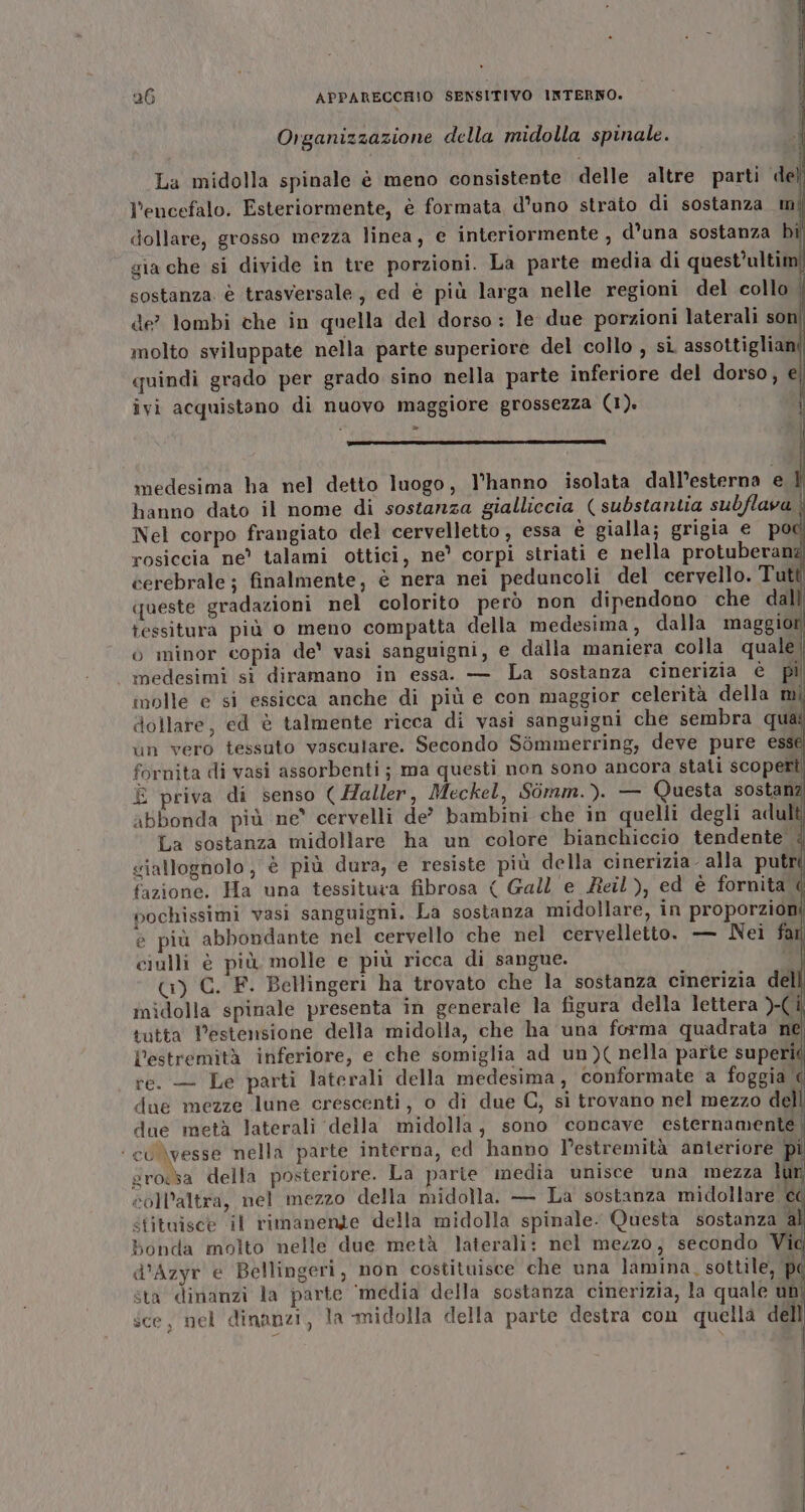 Organizzazione della midolla spinale. La midolla spinale è meno consistente delle altre parti de l’encefalo. Esteriormente, è formata d'uno strato di sostanza m dollare, grosso mezza linea, e interiormente , d’una sostanza bi gia che si divide in tre porzioni. La parte media di quest’ulti sostanza. è trasversale, ed è più larga nelle regioni del collo i de? lombi che in quella del dorso: le due porzioni laterali soni molto sviluppate nella parte superiore del collo , si assottiglian quindi grado per grado sino nella parte inferiore del dorso, e îvi acquistano di nuovo maggiore grossezza (1). Li II ASA E medesima ha nel detto luogo, l'hanno isolata dall’esterna e È hanno dato il nome di sostanza gialliccia (substantia subflava i Nel corpo frangiato del cervelletto , essa è gialla; grigia e poci rosiccia ne’ talami ottici, ne’ corpi striati e nella protuberang cerebrale ; finalmente, è nera nei peduncoli del cervello. Tutti queste gradazioni nel colorito però non dipendono che dal tessitura più o meno compatta della medesima, dalla maggio ò minor copia de' vasi sanguigni, e dalla maniera colla quale| medesimi si diramano in essa. — La sostanza cinerizia è pi molle e si essicca anche di più e con maggior celerità della mi dollare, ed è talmente ricca di vasi sanguigni che sembra quai un vero tessuto vasculare. Secondo Sòmmerring, deve pure esse fornita di vasi assorbenti; ma questi non sono ancora stati scoperti È priva di senso ( Haller, Meckel, Somm.). — Questa sostanz abbonda più ne° cervelli de’ bambini che in quelli degli adul l'estremità inferiore, e che somiglia ad un)( nella parte superi re. — Le parti laterali della medesima, conformate a foggia &lt; due mezze lune crescenti, o di due C, si trovano nel mezzo dell due metà laterali della midolla, sono concave esternamente | ‘ cu \vesse nella parte interna, ed hanno Pestremità anteriore pi grossa della posteriore. La parte media unisce una mezza lun coll’altra, nel mezzo della midolla. — La sostanza midollare x stituisce il rimanente della midolla spinale: Questa sostanza a bonda molto nelle due metà laterali: nel mezzo, secondo Vi d’Azyr e Bellingeri, mon costituisce che una lamina, sottile, pi sta dinanzi la parte ‘media della sostanza cinerizia, la quale un sce, nel dinanzi, la -midolla della parte destra con quella dell Sa =