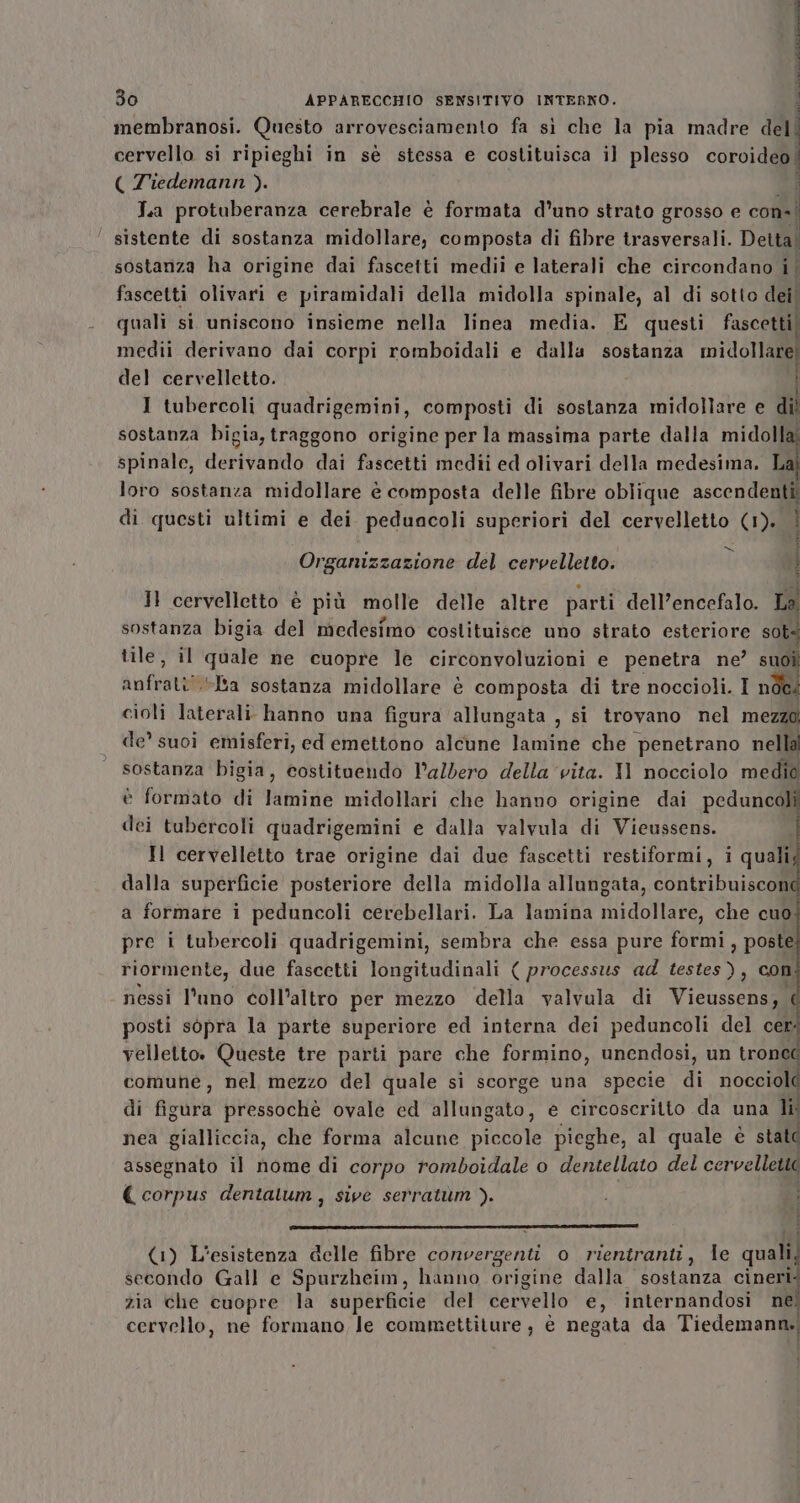 3 30 APPARECCHIO SENSITIVO INTERNO. membranosi. Questo arrovesciamento fa sì che la pia madre dell cervello si ripieghi in sé stessa e costituisca il plesso coroideo| ( Tiedemann ). La protuberanza cerebrale è formata d’uno strato grosso e con-' | sistente di sostanza midollare; composta di fibre trasversali. Detta! sostanza ha origine dai fascetti medii e laterali che circondano i fascetti olivari e piramidali della midolla spinale, al di sotto dei, quali sì uniscono insieme nella linea media. E questi fascetti| medii derivano dai corpi romboidali e dalla sostanza midollare. del cervelletto. i | I tubercoli quadrigemini, composti di sostanza midollare e dil sostanza bigia, traggono origine per la massima parte dalla midolla spinale, deri dai fascetti medii ed olivari della medesima. Lai loro sostanza midollare è composta delle fibre oblique ascendenti di questi ultimi e dei peduncoli superiori del cervelletto (1). Se Organizzazione del cervelletto. i J} cervelletto è più molle delle altre parti dell’encefalo. A sostanza bigia del medesimo costituisce uno strato esteriore sot tile, il ST ne cuopre le circonvoluzioni e penetra ne’ suo anfiratot la sostanza midollare è composta di tre noccioli. i ciolî laterali. hanno una figura ‘allungata , si trovano nel mezzo de’ suoi emisferi, ed emettono alcune lamine che penetrano nella sostanza bigia, costituendo Valdero della vita. Il nocciolo medio è formato di lamine midollari che hanno origine dai peduncoli dei tubercoli quadrigemini e dalla valvula di Vieussens. Il cervelletto trae origine dai due fascetti restiformi, Lar dalla superficie posteriore della midolla allungata, contribuiscon a formare i peduncoli cerebellari. La lamina midollare, che cuo pre i tubercoli quadrigemini, sembra che essa pure formi, poste riormente, due fascetti longitudinali ( processus ad testes), con nessi l'uno coll’altro per mezzo della valvula di A posti sopra la parte superiore ed interna dei peduncoli del cer: velletto. Queste tre parti pare che formino, unendosi, un tronec comune, nel mezzo del quale si scorge una specie di nocciole di figiira pressochè ovale ed allungato, e circoscritto da una li nea gialliccia, che forma alcune piccole pieghe, al quale è stato assegnato il nome di corpo romboidale o dentellato del cervelletto (corpus dentalum, sive serratùm ). Cr — ———1n1e0 em — = cus A (1) L'esistenza delle fibre convergenti o rientranti, le quali secondo Gall e Spurzheim, hanno origine dalla sostanza cinerì i zia che cuopre la superficie del cervello e, internandosi ne! Î cervello, ne formano le commettiture ; è negata da Tiedewatgl