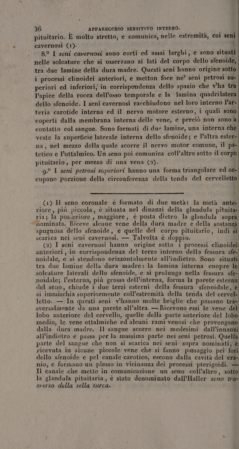 pituitario. È molto stretto, e comunica, nelle estremità, col seni | cavernosi (1). i i | 82 I seni cavernosi sono corti ed assai larghi, e sono situati | nelle solcature che si osservano ai lati del corpo dello sfenoide, | tra due lamine della dura madre. Questi seni hanno origine sotto | i processi clinoidei anteriori, e metton foce ne? seni petrosi su- | periori ed inferiori) in corrispondenza dello spazio che v'ha tra | l'apice della rocca dell'osso temporale e la famina quadrilatera | dello sfenoide. I seni cavernosi racchiudono nel loro interno l’ar-| teria carotide interna ed il nervo motore esterno, i quali sono coperti dalla membrana interna delle vene, e perciò non sono aj contatto col sangue. Sono formati di due lamine, una interna che | veste la superficie laterale interna dello sfenoide; e l’altra ester-| na, nel mezzo della quale scorre il nervo motor comune, il pa-| tetico e l’ottalmico. Un seno poi comunica coll’altro sotto il corpo pituitario, per mezzo di una vena (2). | g.° I seni petrosi superiori hanno una forma triangolare ed oc-| cupano porzione della circonferenza della tenda del cervelletto) i (1) Hl seno coronale è formato di due metà: la metà ante- riore, più piccola, è situata nel dinanzi della glandula pituita- ria; la posseriore , maggiore, è posta dietro la glandula sopra. “ nominata. Riceve alcune vene della dura madre e della sostanza spugnosa dello sfenoide, e quelle del corpo pituitario, indi si scarica nei seni cavernosi. — Talvolta è doppio. | (2) I seni cavernosi hanno origine sotto 1 processi clinoidei anteriori , in corrispondenza del terzo interno della fessura sfe- noidale, e si stendono orizzontalmente all’indietro. Sono situati tra due lamine della dura madre: la lamina interna cuopre le solcature laterali dello sfenoide, e si prolunga nella fessura sfe- noidale; l’esterna, più grossa dell’interna, forma la parete esterna del seno, chiude i due terzi esterni della fessura sfenoidale, € si immischia superiormente coll’estremità della tenda del cervel» letto. —.In questi seni v'hanno molte briglie che passano tra- sversalmente da una parete all’altra. — Ricevono essi le vene del lobo anteriore del cervello, quelle della parte anteriore del lobo medio, le vene ottalmiche ed alcuni rami venosi che provengono dalla dura madre. Il sangue scorre nei medesimi dall’innanzi all'indietro e passa per la massima parte nei seni petrosi. Quella parte del sangue che non si scarica nei seni sopra nominati, € ricevuta in alcune piccole vene che si fanno passaggio pei fori dello sfenoide e pel canale carotico, escono dalla cavità del cra- nio, e formano un plesso in vicinanza dei processi pterigoidi. — Il canale che meite in comunicazione un seno coll’altro, sotto la glandula pituitaria , è stato denominato dall’Haller sero tra» sperso della sella turca» |