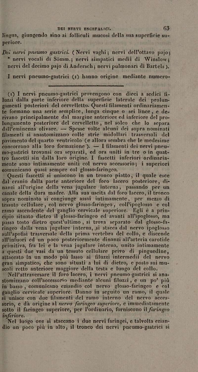 lingua, giungendo sino ai folliculi mucosi della sua superficie su- periore. Dei nervi pneumo gastrici. ( Nervi vaghi; nervi dell'ottavo pajo; * nervi vocali di S6mm.; nervi simpatici medii di Winslow; nervi del decimo pajo di Andersch; nervi pulmonari di Bartels). I nervi pneumo-gastrici (1) hanno origine mediante numero- (1) I nervi. pneumo-gastrici provengono con dieci a sedici fi- luzzi dalla parte inferiore della superficie laterale dei prolun- gamenti posteriori del cervelletto. Questi filamenti ordinariamen- te formano una serie semplice, lunga cinque .o sei lince, e de- rivano principalmente dal margine anteriore ed inferiore del pro- lungamento posteriore del cervelletto , nel solco che lo separa dall’eminenza olivare. — Spesse volte alcuni dei sopra nominati filamenti si anastomizzano colle strie midollari trasversali del pavimento del quarto ventricolo (e allora sembra che le medesime concorrano alla loro formazione ). — I filamenti dei nervi pneu- mo-gastrici trovansi ora separati, ed ora uniti in tre o in quat- tro fascetti sin dalla loro origine. I fascetti inferiori-ordinaria- mente sono intimamente uniti col nervo accessorio; i superiori eomunicano quasi sempre col glosso-faringeo. uesti fascetti si uniscono in un tronco piatto, il quale esce dal cranio dalla parte anteriore del foro lacero posteriore, di- nanzi all'origine della vena jugulare ‘interna, passando per un canale della dura madre. Alla sua uscita dal foro lacero, il tronco sopra nominato si congiunge assai intimamente, per mezzo di tessuto cellulare, col nervo glosso-faringeo., coll’ipoglosso e col ramo ascendente del ganglio cervicale superiore. Egli è a prin- cipio situato dietro il glosso-faringeo ed avanti all’ipoglosso, ma passa tosto dietro quest’ultimo , si trova separato dal glosso-fa- ringeo dalla vena jugulare interna, si stacca dal nervo ipoglosso sull’apofisi trasversale della prima vertebra del collo, e discende all'infuori ed un poco posteriormente dinanzi all’arteria carotide primitiva, fra lei e la vena jugulare interna, unito intimamente a questi due vasi da un tessuto cellulare privo di pinguedine, attaccato in un modo più lasso ai filuzzi intermedii del nervo gran simpatico, che sono situati a lui di dietro, e posto sui mu- scoli retto anteriore maggiore della testa e lungo del collo. Nell’attraversare il foro lacero, i nervi pneumo-gastrici si ana- stomizzano coll’accessorio mediante alcuni filuzzi, e un po’ più in basso, comunicano eziandio col nervo glosso-faringeo e col ganglio cervicale superiore. Danno in seguito un ramo, il quale sì unisce con due filamenti-del ramo interno del nervo acces- sorio, e dà origine al nervo faringeo superiore, e immediatamente sotto il faringeo superiore, per l’ordinario, forniscono il faringeo inferiore. Nel luogo ove sì staccano i due nervi faringei, e talvolta ezian- dio un poco più in alto, il tronco dei nervi pneumo-gastrici si