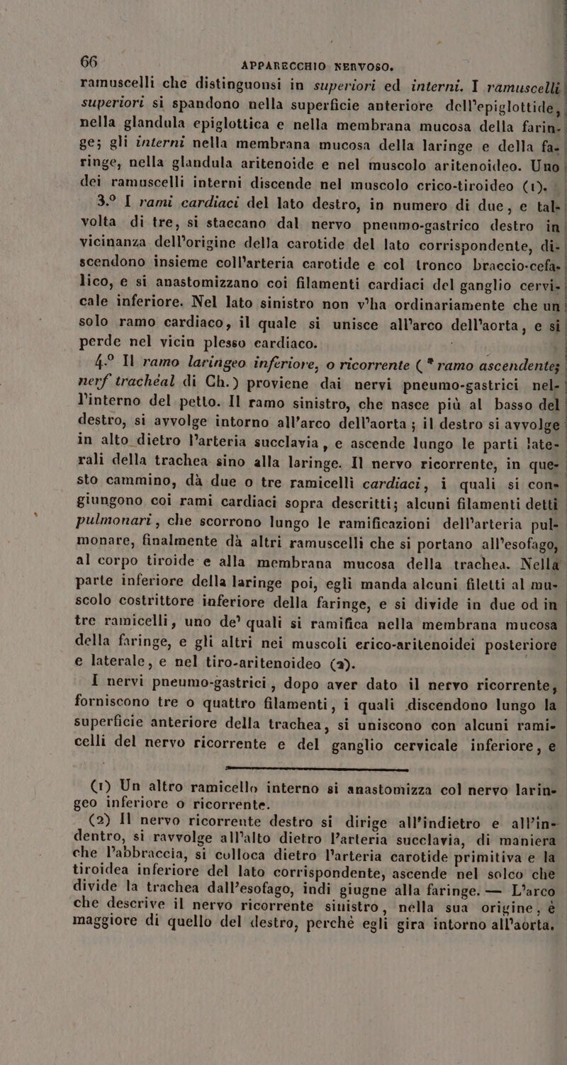 ramuscelli che distinguonsi in superiori ed interni. I ramuscelli | superiori si spandono nella superficie anteriore dell’epiglottide, nella glandula epiglottica e nella membrana mucosa della farin-. ge; gli d2/erni nella membrana mucosa della laringe e della fa- | ringe, nella glandula aritenoide e nel muscolo aritenoideo. Uno | dei ramuscelli interni discende nel muscolo crico-tiroideo (1). 3.° I rami cardiaci del lato destro, in numero di due, e tal, volta di tre, si staccano dal nervo pneumo-gastrico destro in vicinanza dell’origine della carotide del lato corrispondente, di: scendono insieme coll’arteria carotide e col tronco braccio-cefa» È lico, e si anastomizzano coi filamenti cardiaci del ganglio cervi. | cale inferiore. Nel lato sinistro non v'ha ordinariamente che un. solo ramo cardiaco, il quale si unisce all’arco dell'aorta, e si, perde nel vicin plesso eardiaco. i etere 4° Il ramo laringeo inferiore, o ricorrente (* ramo ascendente; nerf tracheal di Ch.) proviene dai nervi pneumo-gastrici nel. | l'interno del petto. Il ramo sinistro, che nasce più al basso del; destro, si avvolge intorno all’arco dell’aorta ; il destro si avvolge | in alto dietro l’arteria succlavia, e ascende lungo le parti late- rali della trachea sino alla laringe. Il nervo ricorrente, in que-. sto cammino, dà due o tre ramicellì cardiaci, i quali si cons giungono coi rami cardiaci sopra descritti; alcuni filamenti detti pulmonari, che scorrono lungo le ramificazioni dell’arteria pul-. monare, finalmente dà altri ramuscelli che si portano all’esofago, al corpo tiroide e alla membrana mucosa della trachea. Nella: parte inferiore della laringe poi, egli manda alcuni filetti al mu- | scolo costrittore inferiore della faringe, e si divide in due od in | tre ramicelli, uno de? quali si ramifica nella membrana mucosa | della faringe, e gli altri nei muscoli erico-aritenoidei posteriore e laterale, e nel tiro-aritenoideo (2). | È LI è . . . I nervi pneumo-gastrici, dopo aver dato il nervo ricorrente, | forniscono tre o quattro filamenti, i quali discendono lungo la superficie anteriore della trachea, si uniscono con alcuni rami- celli del nervo ricorrente e del ganglio cervicale inferiore, e ——_m—_m—1m£6&lt;&lt;MMSSSAAK6A_=oaoT (1) Un altro ramicello interno si anastomizza col nervo larin- geo inferiore o ricorrente. . ®. ela O . U (2) Il nervo ricorrente destro si dirige all’indietro e all’in- dentro, si ravvolge all’alto dietro arteria succlavia, di maniera che l’abbraccia, si colloca dietro l'arteria carotide primitiva e la tiroidea inferiore del lato corrispondente; ascende nel solco che divide la trachea dall’esofago, indi giugne alla faringe. — L'arco che descrive il nervo ricorrente sinistro, nélla sua origine, è maggiore di quello del destro, perchè egli gira intorno all’aorta.