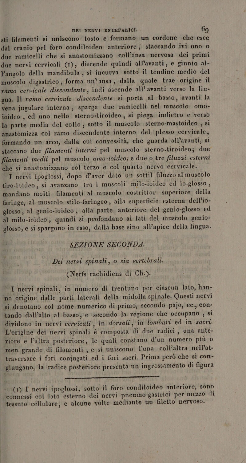 sti filamenti si uniscono tosto e formano un cordone che esce dal cranio pel foro condiloideo anteriore ; staccando ivi uno o due ramicelli che si anastomizzano coll’ansa nervosa dei primi due nervi cervicali (1), discende quindi all’avanti, e giunto al- Pangolo della mandibula , si incurva sotto il tendine medio del muscolo digastrico , forma un’ansa, dalla quale trae. origine il ramo cervicale discendente, indi ascende all’ avanti verso la lin- gua. Il ramo cervicale discendente si porta al basso, avanti la vena jugulare interna, sparge due ramicelli nel muscolo omo- ioideo , ed uno nello sterno-tiroideo , si piega. indietro e verso la parte media del collo; sotto il muscolo sterno-mastoideo , sì anastomizza col ramo discendente interno del plesso cervicale, formando un arco, dalla cui convessità, che guarda all’avanti, si staccano due filamenti interni pel muscolo sterno-tiroideo; due filamenti medii pel muscolo omo-ioideo; e due o tre filuzzi esterni che si anastomizzano col terzo e col quarto nervo cervicale. I nervi ipoglossi, dopo d’aver dato un sottil filuzzo al muscolo tiro-ivideo, si avanzano tra i muscoli milo-ioideo ed io-glosso , mandano molti filamenti al muscolo costrittor. superiore. della faringe, al muscolo stilo-faringeo, aila superficie esterna dell’io- glosso, al genio-ioideo ; alla’ parte anteriore del genio-glosso ed al milo-ioideo, quindi si profondano ai lati del inuscolo genio- glosso, e si spargono in esso, dalla base sino all’apice della lingua. SEZIONE SECONDA. Dei nervi spinali, o sia vertebrali. (Nerfs rachidiens di Ch.). ‘1 nervi spinali, in numero di trentuno per ciascun lato, han- no origine dalle parti laterali della midolla spinale. Questi nervi si denotano col nome numerico di primo, secondo pajo, ec., con- tando dall’alto al basso, e secondo la regione che occupano , si dividono in nervi cervicali, in dorsali, in lombari ed in sacri. L'origine dei nervi spinali è composta di due radici , una ante- riore e l’altra posteriore, le quali constano d’un numero più o men grande di filamenti , e si uniscono l'una coll’altra nell’at- traversare i fori conjugati ed i fori sacri. Prima però che si con- giungano, la ‘radice posteriore presenta un ingrossamento di figura TT TANT INDENT (1) I nervi ipoglossi, sotto il foro condiloideo anteriore, sono connessi col lato esterno dei nervi pneumo-gastrici per mezzo di tessuto cellulare, e alcune volte mediante un filetto nervoso.