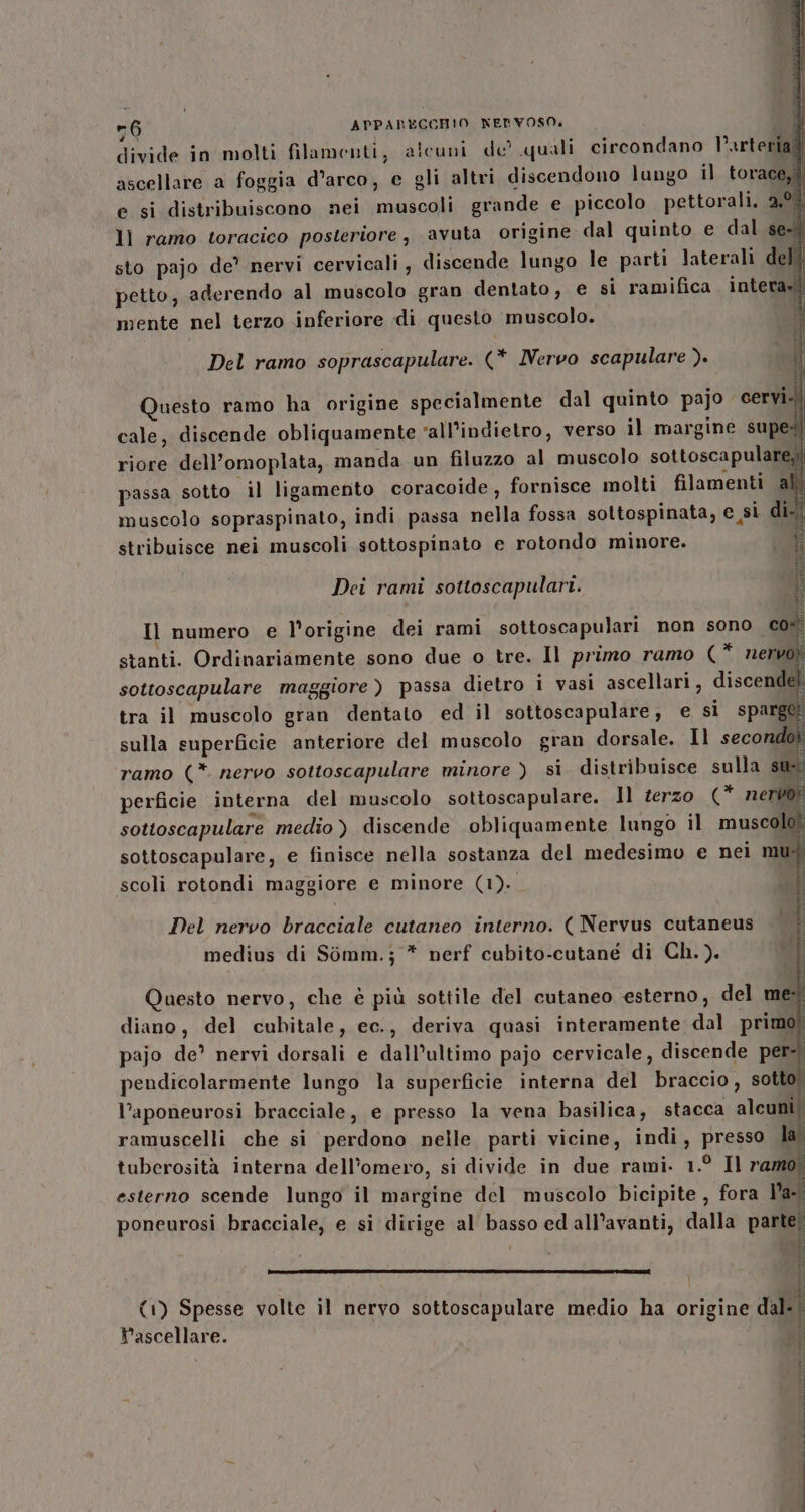 divide in molti filamenti, alcuni de’ quali circondano Varteriad] ascellare a foggia d’arco, e gli altri discendono lungo il torace,ì e si distribuiscono nei muscoli grande e piccolo pettorali. 2.° lì ramo toracico posteriore, avuta origine dal quinto e dal se tI sto pajo de’ nervi cervicali, discende lungo le parti laterali dell petto, aderendo al muscolo gran dentato, e si ramifica. intera»! mente nel terzo inferiore di questo muscolo. Del ramo soprascapulare. (* Nervo scapulare ). Questo ramo ha origine specialmente dal quinto pajo cervi cale, discende obliquamente ‘all'indietro, verso il margine supe riore dell’omoplata, manda un filuzzo al muscolo sottoscapular passa sotto il ligamento coracoide, fornisce molti filamenti a muscolo sopraspinato, indi passa nella fossa soltospinata, e si di stribuisce nei muscoli sottospinato e rotondo minore. orazio n Dei rami sottoscapulari. n i arti MIRFANT Il numero e l'origine dei rami sottoscapulari non sono cor stanti. Ordinariamente sono due o tre. Il primo ramo (* nerv sottoscapulare maggiore) passa dietro i vasi ascellari , discend tra il muscolo gran dentato ed il sottoscapulare, e si sparg@ sulla superficie anteriore del muscolo gran dorsale. Il secondor ramo (*. nervo sottoscapulare minore ) sì distribuisce sulla su perficie interna del muscolo sottoscapulare. Il terzo (* nerbof sottoscapulare medio) discende obliquamente lungo il muscole sottoscapulare, e finisce nella sostanza del medesimo e nei mui scoli rotondi maggiore e minore (1). | A Del nervo bracciale cutaneo interno. ( Nervus cutaneus | È medius di Somm.j; * nerf cubito-cutane di Ch.). Questo nervo, che è più sottile del cutaneo esterno, del me: diano, del cubitale, ec., deriva quasi interamente dal primo! pajo de’ nervi dorsali e dall’ultimo pajo cervicale, discende per-. pendicolarmente lungo la superficie interna del braccio, sotto! l’aponeurosi bracciale, e presso la vena basilica, stacca alcuni. ramuscelli che si perdono nelle parti vicine, indi, presso la. tuberosità interna dell’omero, si divide in due rami. 1.° Il ramo! (1) Spesse volte il nervo sottoscapulare medio ha origine dal- Vascellare.