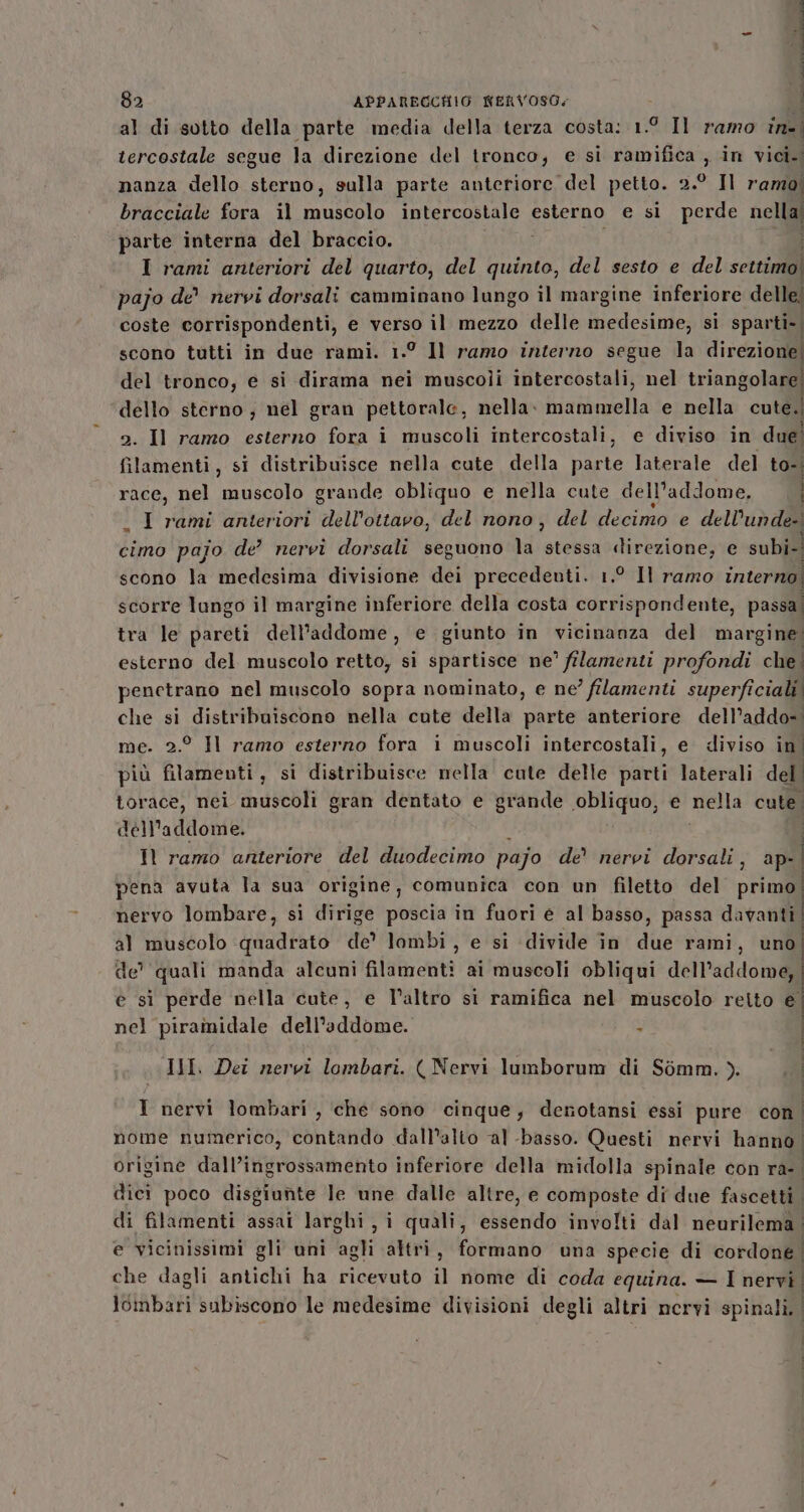 al di sotto della parte media della terza costa: 1.° Il ramo È tercostale segue la direzione del tronco; e si ramifica , in vici. nanza dello sterno, sulla parte anteriore del petto. de LI ramo) bracciale fora il Seo intercostale esterno e si perde nelig parte interna del braccio. i I rami anteriori del quarto, del quinto, del sesto e del settimo! pajo de nervi dorsali camminano lungo il margine inferiore delle. coste corrispondenti, e verso il mezzo delle medesime, si sparti-. scono tutti in due rami. 1.° Il ramo interno segue la direzione del tronco, e si dirama nei muscoli intercostali, nel triangolare! dello sterno; nel gran pettorale, nella. binibielta e nella cute. 2. Il ramo esterno fora î muscoli intercostali, e diviso in due! filamenti, si distribuisce nella cute della parte laterale del to- race, nel muscolo grande obliquo e nella cute dell'addome. _ I rami anteriori ‘ael'inohi del nono, del decimo e dell’unde-! cimo pajo de’ nervi dorsali seguono la stessa direzione, e subi-. scono la medesima divisione dei precedenti. 1.° Il ramo interno scorre lungo il margine inferiore della costa corrispondente, passa, tra le pareti dell'addome, e giunto in vicinanza del margine. esterno del muscolo retto, si spartisce ne’ filamenti profondi che! penetrano nel muscolo sopra nominato, e ne’ filamenti superficiali che si distribuiscono nella cute della parte anteriore dell’addo-. me. 2.° Il ramo esterno fora i muscoli intercostali, e diviso in più filamenti, si distribuisce mella cute delle parti laterali del torace, nei muscoli gran dentato e grande obliquo, e nella cute. dell'addome. Il ramo anteriore del duodecimo pajo de nervi dorsali, ap- | pena avuta la sua origine, comunica con un filetto del pria nervo lombare, si dirige paicia in fuori e al basso, passa davanti | al muscolo quadrato de’ lombi , e si divide în fà rami, uno de' quali manda alcuni filamenti ai muscoli obliqui dell'addome, e sì perde nella cute, e l’altro si ramifica nel muscolo reito $1 | | | seictioziinte sa RE meet nel piramidale dell'addome. $ III. Dei nervi lombari. (Nervi lumborum di Sòmm. ). È I nervi lombari , che sono cinque, denotansi essi pure con. nome numerico, contando dall’alto al -basso. Questi nervi hanno | origine dall’ingrossamento inferiore della midolla spinale con ra-. dici poco disgiunte le une dalle altre, e composte di due fascetti. di filamenti assai larghi, i quali, essendo involti dal neurilema | e vicinissimi gli uni agli altri, formano una specie di cordone. che dagli antichi ha ricevuto il nome di coda equina. — I nervi | Joinbari subiscono le medesime divisioni degli altri mervi spinali. |