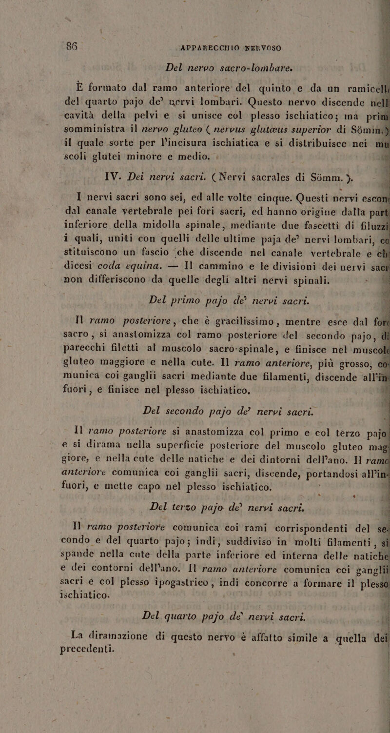 Del nervo sacro-lombare. È formato dal ramo anteriore del quinto e da un ramicelli del quarto pajo de’ nervi lombari. Questo nervo discende nell ‘cavità della pelvi e si unisce col plesso ischiatico; ima prin somministra il rervo gluteo ( nervus gluteus superior di Somim.)) il quale sorte per l’incisura ischiatica e si distribuisce nei mu . | scoli glutei minore e medio. . 3 IV. Dei nervi sacri. (Nervi sacrales di Sémm. }. “d » | I nervi sacri seno sei, ed alle volte cinque. Questi nervi esconi dal canale vertebrale pei fori sacri, ed hanno origine dalta pa inferiore della midolla spinale, mediante due fascetti di filuz i quali, uniti con quelli delle ultime paja de’ nervi lombari, e stituiscono un fascio ‘che discende nel canale vertebrale e ch dicesi coda equina. — Il cammino e le divisioni dei nervi sane non differiscono da quelle degli altri nervi spinali. &gt; 8 Del primo pajo de’ nervi sacri. Il ramo posteriore, che è gracilissimo, mentre esce dal fore sacro, si anastomizza col ramo posteriore «el secondo pajo, € parecchi filetti al muscolo sacro-spinale, e finisce nel musc gluteo maggiore e nella cute. Il ramo anteriore, più grosso, co munica coi ganglii sacri mediante due filamenti, discende ‘all'îm fuori, e finisce nel plesso ischiatico, Li Del secondo pajo de’ nervi sacri. Il ramo posteriore si anastomizza col primo e col terzo pajo e si dirama nella superficie posteriore del muscolo gluteo mag giore, e nella cute delle natiche e dei dintorni dell’ano. Il ram anteriore comunica coi ganglii sacri, discende, pronte all’in fuori, e mette capo nel plesso beRiaico: } | Del terzo pajo de’ nervi sacri. : i Il ramo posteriore comunica coi rami corrispondenti del se. condo e del quarto pajo; indi, suddiviso in molti filamenti, sì spande nella cute della parte ianiciré ed interna delle natiche e dei contorni dell’ano. Il ramo anteriore comunica cci gangli sacri e col plesso ipogastrico , indi concorre a forinare il plesso ischiatico. Del quarto pajo de nervi sacri. Li La diramazione di questo nervo è affatto simile a quella dei precedenti.