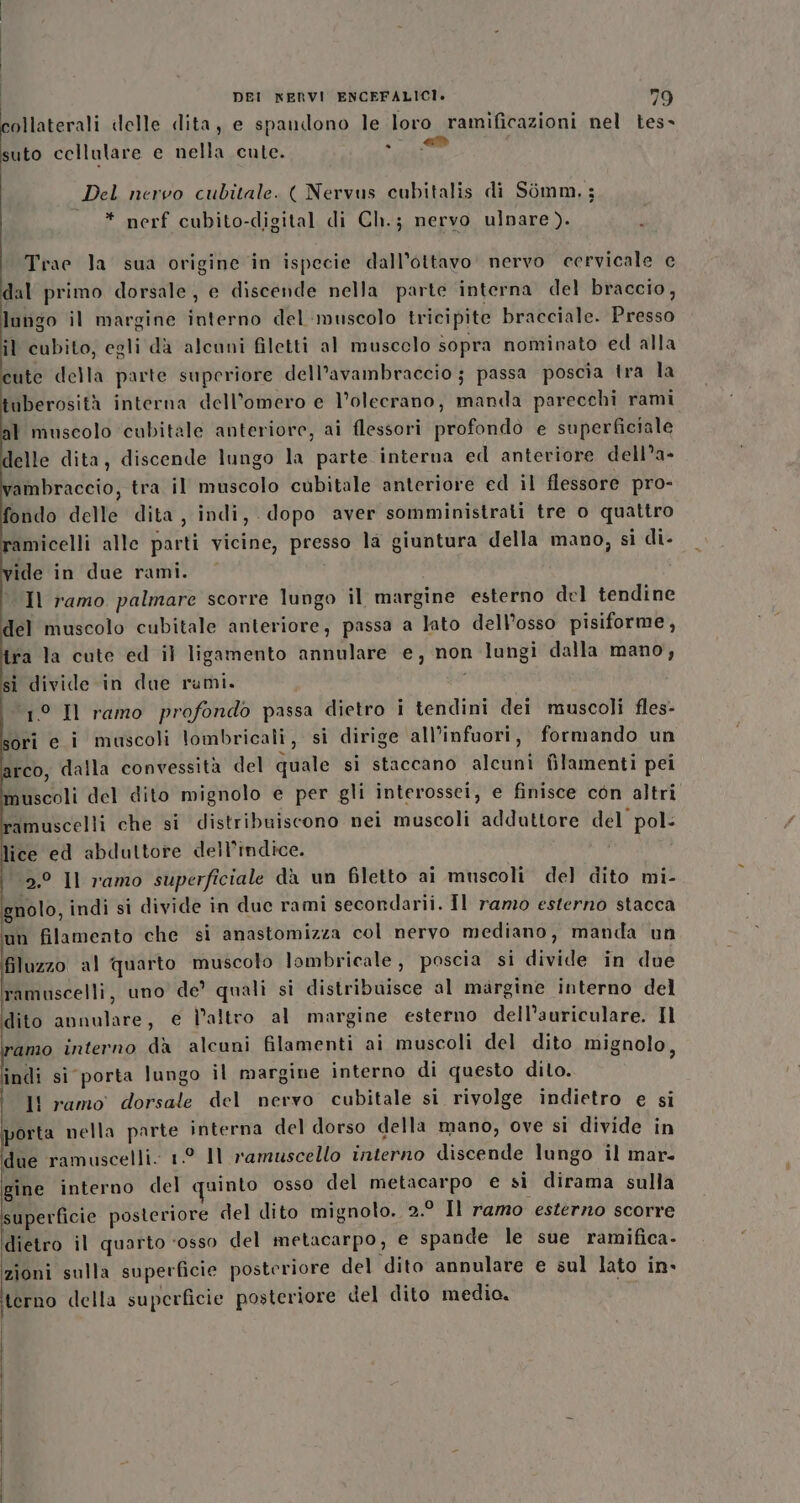 collaterali «elle dita, e spaudono le loro ramificazioni nel tes» suto cellulare e nella cute. SIAT sg Del nervo cubitale. ( Nervus cubitalis di Sémm,; * nerf cubito-digital di Ch.; nervo ulnare). i Trace la sua origine in ispecie dall’ottavo' nervo cervicale e dal primo dorsale, e discende nella parte interna del braccio, lungo il margine interno del muscolo tricipite bracciale. Presso il cubito, egli dà alcuni filetti al muscelo sopra nominato ed alla cute della parte superiore dell’avambraccio j passa poscia tra la tuberosità interna dell’omero e l’olecrano, manda parecchi rami I muscolo ‘cubitale anteriore, ai flessori profondo e superficiale delle dita, discende lungo la parte interna ed anteriore dell’a- ambraccio, tra il muscolo cubitale anteriore ed il flessore pro- fondo delle dita, indi, dopo aver somministrati tre o quattro ramicelli alle parti vicine, presso la giuntura della mano, si di- ide in due rami. Il ramo palmare scorre lungo il margine esterno del tendine del muscolo cubitale anteriore, passa a lato dell’osso pisiforme, tra la cute ed il ligamento annulare e, non lungi dalla mano, si divide in due rami. ‘(1° Il ramo profondo passa dietro i tendini dei muscoli fles- ori e i muscoli lombricali, si dirige all'infuori, formando un arco, dalla convessità del quale si staccano alcuni filamenti pei muscoli del dito mignolo e per gli interossei, e finisce con altri amuscelli che si distribuiscono nei muscoli adduttore del pol. ice ed abduttore dell'indice. 2.° Il ramo superficiale da un filetto ai muscoli del dito mi- gnolo, indi si divide in duc rami secondarii. Il ramo esterno stacca un filamento che si anastomizza col nervo mediano, manda un filuzzo al quarto muscolo lombricale, poscia si divide in due ramuscelli, uno de? quali si distribuisce al margine interno del dito annulare, e l’altro al margine esterno dell’auriculare. Il ramo interno dà alcuni filamenti ai muscoli del dito mignolo, indi si porta lungo il margine interno di questo dito. 1! ramo dorsale del nervo cubitale si rivolge indietro e si porta nella parte interna del dorso della mano, ove si divide in due ramuscelli. 19 11 ramuscello interno discende lungo il mar- gine interno del quinto osso del metacarpo e si dirama sulla superficie posteriore del dito mignoto. 2.° Il ramo esterno scorre dietro il quarto ‘osso del metacarpo, € spande le sue ramifica- zioni sulla superficie posteriore del dito annulare e sul lato in» terno della superficie posteriore del dito medio.