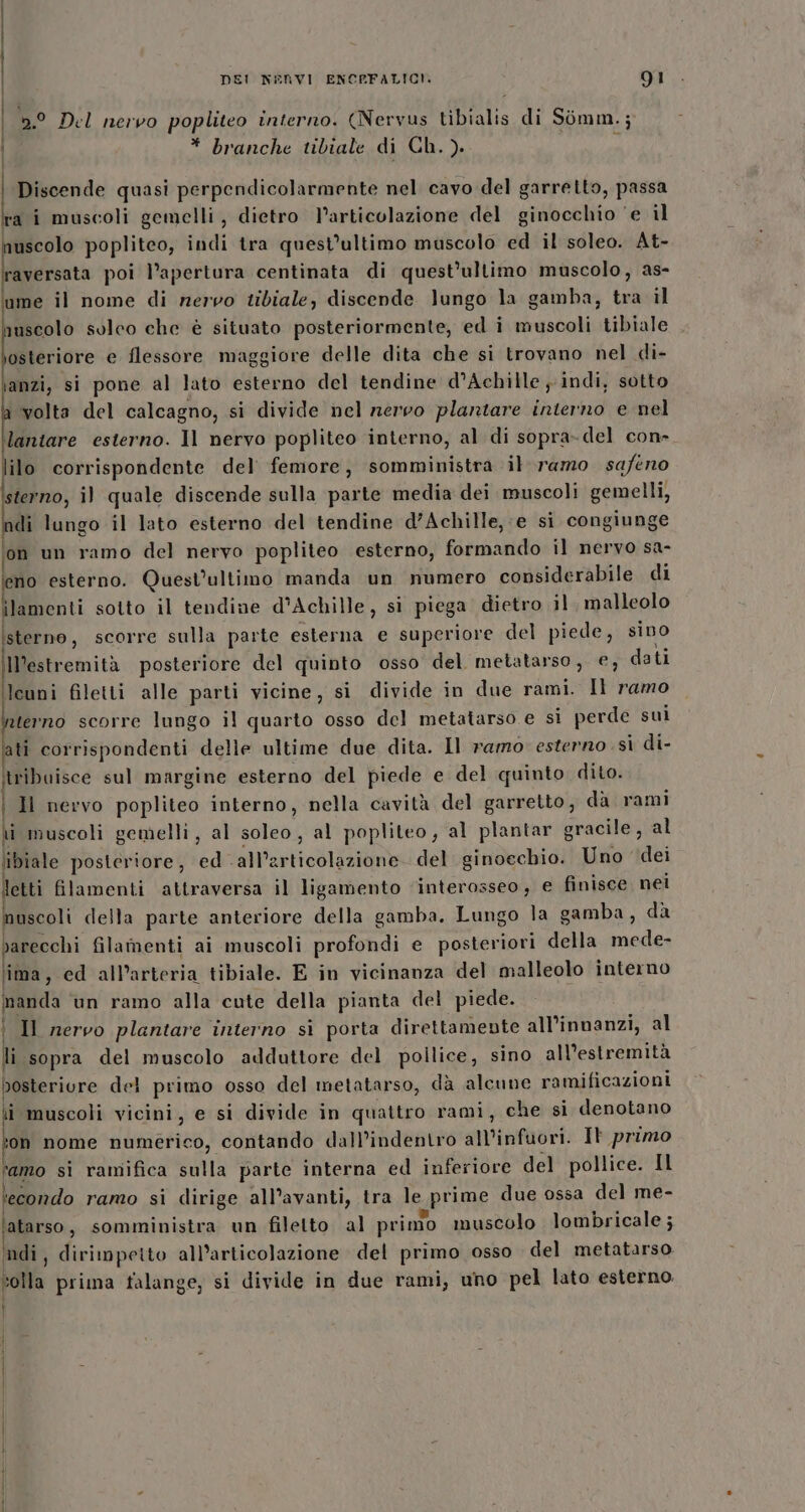 | ».° Del nervo popliteo interno. (Nervus tibialis di Simm.; i * branche tibiale di Ch. ). Discende quasi perpendicolarmente nel cavo del garretto, passa ra i muscoli gemelli, dietro l'articolazione del ginocchio ‘e il muscolo popliteo, indi tra quest’ultimo mascolo ed il soleo. At- 0 poi l’apertura centinata di quest’ultimo muscolo, as- ume il nome di nervo tibiale, discende lungo la gamba, tra il nuscolo solco che è situato posteriormente, ed i muscoli tibiale osteriore e flessore maggiore delle dita che si trovano nel di- ianzi, si pone al lato esterno del tendine d’Achille ; indi, sotto volta del calcagno, si divide nel nervo plantare interno e nel laniare esterno. Il nervo popliteo interno, al di sopra-del con- ilo corrispondente del’ femore, somministra il ramo safeno sterno, il quale discende sulla parte media dei muscoli gemelli, di lungo il lato esterno del tendine d’Achille, e si congiunge ‘on un ramo del nervo popliteo esterno, formando il nervo sa- Lal esterno. Quest'ultimo manda un numero considerabile di ilamenti sotto il tendine d'Achille, si piega dietro il. malleolo sterno, scorre sulla parte esterna e superiore del piede, sino IDestremità posteriore del quinto osso del metatarso, €, dati lcuni filetti alle parti vicine, si divide in due rami. Il ramo zterno scorre lungo il quarto osso del metatarso e si perde sui ati corrispondenti delle ultime due dita. Il ramo esterno si di- itribuisce sul margine esterno del piede e del quinto dito. Il nervo popliteo interno, nella cavità del garretto, da rami li muscoli gemelli, al soleo , al popliteo, al plantar gracile, al libiale posteriore, ed .all’articolazione del ginoechio. Uno dei letti filamenti attraversa il ligamento ‘interosseo; e finisce nei nuscoli della parte anteriore della gamba. Lungo la gamba, da parecchi filamenti ai muscoli profondi e posteriori della mede- ima, ed all’arteria tibiale. E in vicinanza del malleolo interno manda ‘un ramo alla cute della pianta del piede. | Il nervo plantare interno sì porta direttamente all’innanzi, al li sopra del muscolo adduttore del pollice, sino all'estremità i bosteriure del primo osso del metatarso, dà alcune ramificazioni i muscoli vicini, e si divide in quattro rami, che si denotano son nome numerico, contando dall’indentro all'infuori. Il primo famo si ramifica sulla parte interna ed inferiore del pollice. Il ‘econdo ramo si dirige all’avanti, tra le prime due ossa del me- ‘atarso, somministra un filetto al prindo muscolo lombricale; mdi, dirimpeito all’articolazione del primo osso del metatarso colla prima falange, si divide in due rami, uno pel lato esterno. f Pte