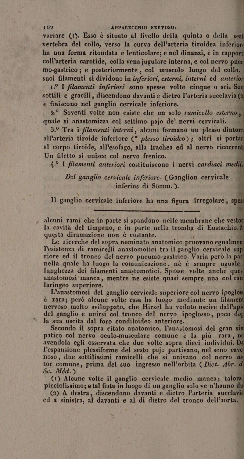 variare (1). Esso è situato al livello della quinta o della sest vertebra del collo, verso la curva dell’arteria tiroidea inferiori ‘ha una forma ritondata e lenticolare; e nel dinanzi, è in rapport coll’arteria carotide, colla vena jugulare interna, e col nervo prev mo-gastrico ; e posteriormente , col muscolo lungo del collo. suoi filamenti si dividono in inferiori, esterni, interni ed anterior 1.° I filamenti inferiori sono spesse volte cinque o sei. Sor sottili e gracili, discendono davanti 2 dietro l’arteria succlavia (2 e finiscono nel ganglio cervicale inferiore. v 2.° Soventi volte non esiste che un solo ramicello esternogi pie si anastomizza col settimo pajo de’ nervi cervicali. | 3.° Tra i filamenti interni, alcuni formano un plesso dintoi all’arteria tiroide inferiore c plesso tiroideo); altri si portati al corpo tiroide, all’esofago, alla trachea ed al nervo ricorrent Un filetto si unisce col nervo frenico. « 4° I filamenti anteriori costituiscono i nervi cardiaci medi. Del ganglio cervicale inferiore. (Ganglion cervicale ti inferius di Sòomm. ). 0  1ì ganglio cervicale inferiore ha una figura irregolare, spesi “ alcuni rami che in parte si spandono. nelle membrane che vesto la cavità del timpano, e in parte nella pas, di Eustachio.) questa diramazione non è costante. Le ricerche del sopra nominato anatomico pruovano egualmer l’esistenza di ramicelli anastomotici tra il ganglio cervicale su riore ed il tronco del nervo pneumo-gastrico. Varia però la pa nella quale ha luogo la comunicazione, né è sempre uguale, lunghezza dei filamenti anastomotici. Spesse volte anche ques anastomosi manca, mentre ne esiste quasi sempre una col rai laringeo superiore. &gt; L'anastomosi del ganglio cervicale superiore col nervo ipoglos è rara; però alcune volte essa ha luogo mediante un filamen! nervoso molto sviluppato, che Hirzel ha veduto uscire dall’api del ganglio e unirsi col tronco del nervo ipoglosso, poco dop la sua uscita dal foro condiloideo. anteriore. v Secondo il sopra citato anatomico, l’anastomosi del gran sin patico col nervo oculo-musculare comune è la più rara, né avendola egli osservata che due volte sopra dieci individui. l'espansione plessiforme del sesto pajo partivano, nel seno cay noso, due sottilissimi ramicelli che si univano col nervo m tor comune, prima del suo ingresso nell’orbita ( Dict. corali Sc. Med.) (1) Alcune volte il ganglio cervicale medio manca; talora, picciolissimo; e tal fiata in luogo di un ganglio solo ve n'hanno di (2) A destra, discendono davanti e dietro l’arteria succlavi ed.a sinistra, al davanti e al di dietro del tronco dell’aorta.