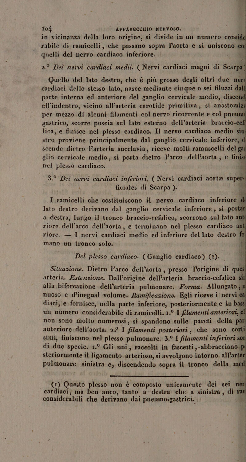 in vicinanza della loro origine, si divide in un numero conside rabile di ramicelli, che passano sopra l’aorta e si uniscono coi quelli del nervo cardiaco inferiore. si A CE 2.° Deî nervi cardiaci mediî. ( Nervi cardiaci magni di Scarl Quello del lato destro, che è più grosso degli altri due neri cardiaci dello stesso lato, nasce mediante cinque o sei filuzzi da parte interna ed anteriore del ganglio cervicale medio, discen all’indentro, vicino all’arteria carotide primitiva, si anastomizz per mezzo di alcuni filamenti col nervo ricorrente e col Presi gastrico, scorre poseia sul lato esterno dell’arteria braccio-ce lica, e finisce nel plesso cardiaco. Il nervo cardiaco medio sini stro proviene principalmente dal ganglio cervicale inferiore, d scende dietro l’arteria succlavia, riceve molti ramuscelli del gai glio cervicale medio, si porta ditta l’arco dell’aorta ; e finise se nel plesso cardiaco. si 3.° Dei nervi cardiaci inferiori. ( Nervi cardiaci aorte super. ficiales di Scarpa ). di; I ramicelli che costituiscono il nervo cardiaco . inferiore di lato destro derivano dal ganglio cervicale inferiore , si portali a destra, lungo il tronco braecio-cefalico, scorrono sul tato anti riore dell’arco dell’aorta, e terminano nel plesso cardiaco anl riore. — T nervi cardiaci medio ed inferiore del lato destro fo mano un tronco solo. Î Del plesso cardiaco. ( Ganglio cardiaco) (1). Situazione. Dietro l’arco dell’aorta , presso l’origine di ques arteria. Estensione. Dall’origine Mell'arteria braccio-cefalica sil alla biforcazione dell'arteria pulmonare. Forma. Allungato ;, nuoso e d’inegual volume. Ramificazione. Egli riceve i nervi. diaci, e-fornisee, nella parte inferiore, posteriormente e in bass S un numero considerabile di ramicelli. 1.° I filamenti anteriori, cl non sono molto numerosi , si spandono sulle pareti della par anteriore dell’aorta. 2° I filamenti posteriori, che sono corlì simi, finiscono nel plesso pulmonare. 3.9 I filamenti inferiori sor di due specie. 1.° Gli uni, raceolti in fascetti ,-abbracciano, steriormente il ligamento arterioso, si avvolgono intorno ta. pulmonare. sinistra e, discendendo sopra il tronco della, med VETITETTA E RIA © NITTI I _OTTETT : ‘ (1) Questo plesso non è composto unicamente dei sei pi cardiaci, ma ben anco, tanto a destra. che a sinistra, di r considerabili che derivano dai pneumo-gastrici.