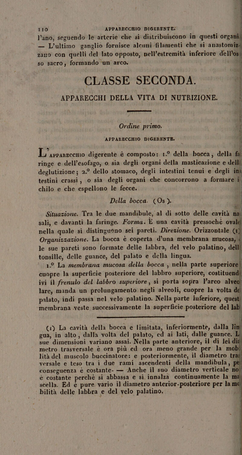 l’ano, seguendo le arterie che si distribuiscono in questi organi; — L'ultimo ganglio fornisce alcuni filamenti che si anastomizi zano con quelli del lato opposto, nell’estremità inferiore dell’os? so sacro, formando ‘un arco. Ù CLASSE SECONDA. î APPARECCHI DELLA VITA DI NUTRIZIONE. = Ì Ordine primo. 1 * î x APPARECCHIO DIGERENTE. î ii chilo e che espellono le fecce. Della bocca. (Os ). i | Situazione. Tra le due mandibule, al di sotto delle cavità nai sali, e davanti la faringe. Forma. È una cavità pressochè oval nella quale si distinguono sei pareti. Direzione. Orizzontale (1) Organizzazione. La bocca è coperta d’una membrana mucosa, i le sue pareti sono formate delle labbra, del velo palatino, dell? tonsille, delle guance, del palato e della lingua. ! 1.0 La membrana mucosa della bocca , nella parte superiore | cuopre la superficie posteriore del labbro superiore, costituend ivi il frenulo del labbro superiore, si porta sopra l’arco alveo lare, manda un prolungamento negli alveoli, cuopre la volta de palato, indi passa nel velo palatino. Nella parte inferiore, questi membrana veste successivamente la superficie posteriore del lab. (1) La cavità della bocca e limitata, inferiormente, dalla lin gua, in alto, dalla volta del palato, ed ai lati, dalle guance, L' sue dimensioni variano assai. Nella parte anteriore, il di lei die metro trasversale è ora più ed ora meno grande per la mobì lità del muscolo buccinatore: e posteriormente, il diametro tras! versale e teso tra i due rami ascendenti della mandibula, pe conseguenza è costante. — Anche il suo diametro verticale no è costante perché si abbassa e sì innalza continuamente la ma, ba I scella. Ed è pure. vario il diametro anterior-posteriore per la mc bilità delle labbra e del velo palatino. i