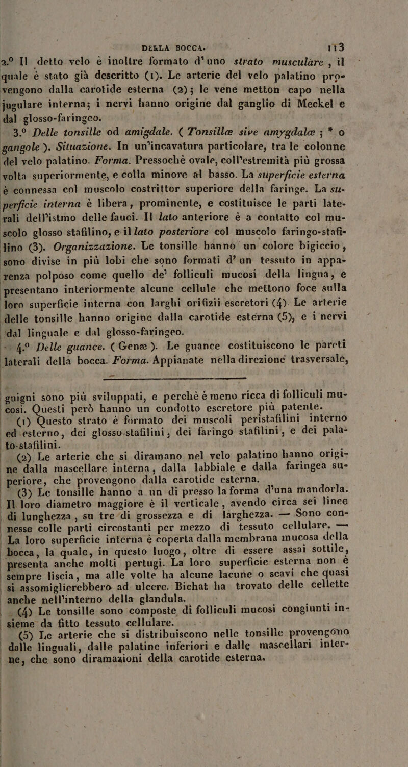 2.° Il detto velo è inoltre formato d'uno strato musculàre , il quale è stato già descritto (1). Le arterie del velo palatino pro vengono dalla carotide esterna (2); le vene metton capo nella jugulare interna; i nervi hanno origine dal ganglio di Meckel e dal glosso-faringeo. 3. Delle tonsille od amigdale. ( Tonsille sive amygdala ; * 0 gangole ). Situazione. In un’incavatura particolare, tra le colonne ‘del velo palatino. Forma. Pressochè ovale, coll’estremità più grossa volta superiormente, e colla minore al basso. La superficie esterna è connessa col muscolo costrittor superiore della faringe. La su- perficie interna è libera, prominente, e costituisce le parti late- rali dell’istmo delle fauci. Il lato anteriore è a contatto col mu- scolo glosso stafilino, e ilZato posteriore col muscolo faringo-stafi- lino (3). Organizzazione. Le tonsille hanno un colore bigiccio, sono divise in più lobi che sono formati d’un tessuto in appa- renza polposo come quello de’ folliculi mucosi della lingua, e presentano interiormente alcune cellule che mettono foce sulla loro superficie interna icon larghi orifizii escretori (4). Le arterie delle tonsille hanno origine dalla carotide esterna (5), e i nervi ‘dal linguale e dal glosso-faringeo. È 4° Delle guance. ( Gena ). Le guance costituiscono le parcti ‘laterali della bocca. Forma. Appianate nella direzione trasversale, ‘guigni sono più sviluppati, e perchè é meno ricca di folliculi mu- ‘cosi. Questi però hanno un condotto escretore più patente. | (1) Questo strato é formato dei muscoli peristafilini interno ‘ed esterno, dci glosso-stafilini, dei faringo stafilini, e dei pala- i to-stafilini. (2) Le arterie che si diramano nel velo palatino hanno origi- ne dalla mascellare interna, dalla labbiale e dalla faringea su- | periore, che provengono dalla carotide esterna. (© (3) Le tonsille hanno a un di presso la forma d'una mandorla. I loro diametro maggiore è il verticale, avendo circa sei linee i di lunghezza, su tre di grossezza e di larghezza. — Sono con- nesse colle parti circostanti per mezzo di tessuto cellulare. — | La loro superficie interna è coperta dalla membrana mucosa della | bocca, la quale, in questo luogo, oltre di essere assai sottile, | presenta anche molti pertugi. La loro superficie esterna non è i sempre liscia, ma alle volte ha alcune lacune o scavi che quasi si assomiglierebbero ad ulcere. Bichat ha trovato delle cellette anche nell’interno della glandula. . (4) Le tonsille sono composte di folliculi mucosi congiunti in- sieme da fitto tessuto cellulare. (5) Le arterie che si distribuiscono nelle tonsille provengono dalle linguali, dalle palatine inferiori e dalle mascellari inter- ne, che sono diramazioni della carotide esterna.