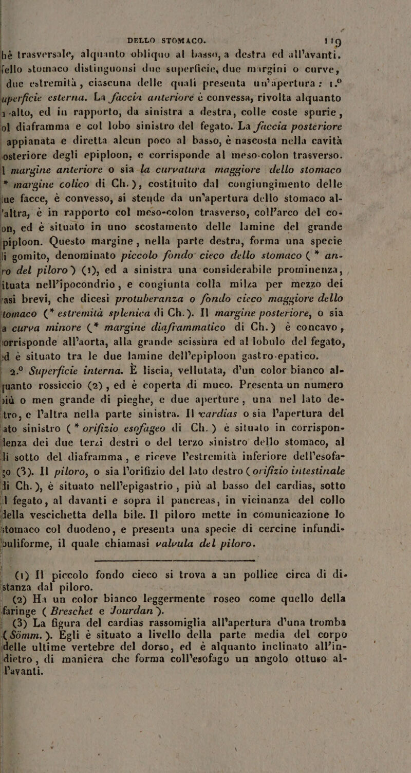 hè trasversale, alquanto obliquo al basso, a destra ed all’avanti. felio stomaco distinguonsi duc superficie, due margini o curve, due estremità, ciascuna delle quali preseata un'apertura : 10 perfici cie esterna, La faccia anteriore è convessa, rivolta alquanto a-alto, ed in rapporto, da sinistra a destra, colle coste spurie, ol diaframma e col lobo sinistro del fegato. La faccia posteriore appianata e diretta alcun poco al basso, è nascosta nella cavità iosteriore degli epiploon, e corrisponde al meso-colon trasverso. l margine anteriore o sia-la curvatura maggiore dello stomaco * margine colico di Ch.), costituito dal congiungimento delle lue facce, è convesso, si stende da un'apertura dello stomaco al- ’altra, è in rapporto col meso-colon trasverso, colParco del co- on, ed è situato in uno scostamento delle lamine del grande piploon. Questo margine, nella parte destra, forma una specie lì gomito, denominato piccolo fondo: cieco dello stomaco (* an- ro del piloro) (1), ed a sinistra una considerabile prominenza, ituata nell’ipocondrio, e congiunta colla milza per mezzo dei rasi brevi, che dicesi protuberanza o fondo cieco maggiore dello ‘tomaco (* estremità splenica di Ch.). Il margine posteriore, 0 sia ‘a curva minore (* margine diaframmatico di Ch.) è concavo, Jorrisponde all’aorta, alla grande scissura ed al lobulo del fegato, »d è situato tra le due lamine dell’epiploon gastro-epatico. a. Superficie interna. È liscia, vellutata, d’un color bianco al- # rossiccio (2), ed è coperta di muco. Presenta un numero niù o men grande di pieghe, e due aperture, una nel lato de- tro, e l’altra nella parte sinistra. Il cardias o sia l'apertura del ‘ato sinistro (* orifizio esofageo di Ch.) è situato in corrispon- a dei due terzi destri o del terzo sinistro dello stomaco, al li sotto del diaframma, e riceve l’estremità inferiore dell’esofa- 70.(3). Il piloro, o sia arido del lato destro (orifizio intestinale di Ch.), è situato nell’epigastrio , più al basso del cardias, sotto l fegato, al davanti e sopra il pancreas, in vicinanza del collo della vescichetta della bile. Il piloro mette in comunicazione lo itomaco col duodeno, e presenta una specie di cercine infundi- buliforme, il quale chiamasi valvula del piloro. | pena (1) Il piccolo fondo cieco si trova a un pollice circa di di. stanza dal piloro. ‘_ (2) Ha un color bianco legg Jermente roseo come quello della faringe ( Breschet e Jourdan). o (3) La figura del cardias rassomiglia all'apertura d’una tromba { Somm. ). Egli è situato a livello della parte media del corpo delle ultime “vertebre del dorso, ed è alquanto inclinato all’in- dietro, di maniera che forma coll “esofago un angolo ottuso al- avanti.