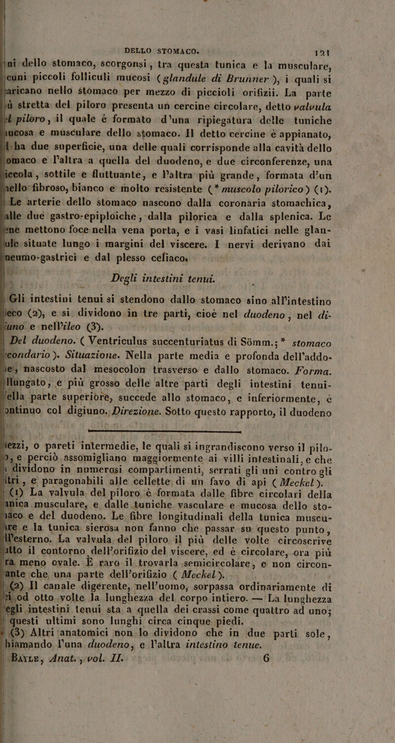 \nî dello stomaco, scorgonsi, tra questa tunica e la musculare, cuni piccoli folliculi mucosi (glandule di Brunner ); i quali si saricano nello stomaco. per mezzo di piccioli orifizii. La parte iù stretta del piloro presenta un cercine circolare, detto paloula }i piloro , il quale è formato d'una ripiegatura delle tuniche Rucosa e musculare dello stomaco. Il detto cercine è appianato, Wha due superficie, una delle quali corrisponde alla cavità dello lomaco. e l’altra a quella del duodeno, e due circonferenze, una ecola , sottile e fluttuante, e l’altra più grande, formata d’un inello fibroso, bianco e molto resistente (* muscolo pilorico) (1). \ Le arterie dello stomaco nascono dalla coronaria stomachica, alle due gastro-epiploiche , dalla pilorica e dalla splenica. Le ìÌné mettono foce nella vena porta, e i vasi linfatici nelle glan- e situate lungo.i margini del viscere. I nervi derivano dai imeumo-gastrici e dal plesso celiaco» a Degli intestini tenui. \Gli intestini tenui si stendono ‘dallo stomaco sino all’intestino leco (2), e si. dividono. in tre parti, cioè nel duodeno , nel di- uno. e nell’ileo (3). Del duodeno. ( Ventriculus succenturiatus di Simm.;* stomaco teondario ). Situazione. Nella parte media e profonda dell'addo- ie, nascosto dal mesocolon trasverso e dallo stomaco. Forma. IIlangato, e più grosso delle altre ‘parti degli intestini tenui- ‘ella parte superiore, succede allo stomaco, e inferiormente, è ontinuo col digiuno, Direzione. Sotto questo rapporto, il duodeno SR N Y iezzi, o pareti intermedie, le quali si ingrandiscono verso il pilo- ), e perciò assomigliano maggiormente ai villi intestinali, e che i dividono in numerosi compartimenti; serrati gli uni contro gli ltri, e paragonabili alle cellette; di un favo di api ( Meckel). t (1) La valvula. del piloro è formata dalle fibre circolari della lanica musculare, e dalle .tuniche vasculare e mucosa dello sto- naco e del duodeno. Le fibre longitudinali della tunica muscuù- ire e la tunica sierosa non fanno che passar su questo punto, ll’esterno. La valvala del piloro il più delle volte circoscrive utto il contorno del’orifizio del viscere, ed è circolare, ora più ra meno cvale. E raro il trovarla semicircolare, e non circon- ante \che, una parte dell’orifizio ( Meckel). 1(2) Il canale digerente, nell’uomo, sorpassa ordinariamente di zi,0d otto..volte la lunghezza del corpo intiero. — La lunghezza ‘egli intestini tenui sta a quella dei crassi come quattro ad uno; | questi ultimi sono lunghi circa ‘cinque. piedi. (3) Altri (anatomici inon.lo dividono che in due parti sole, ihiamando l'una duodeno, e l’altra intestino tenue. Barre, Anat., vol, II. © 6