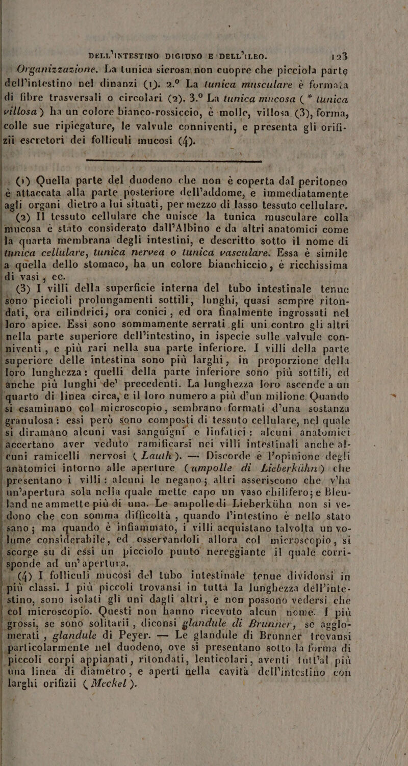 | Organizzazione. La tunica sierosa non cuopre che picciola parte dell’intestino nel dinanzi (1). 2.9 La tunica musculare è formata di fibre trasversali o circolari (2). 3.° La tunica mucosa (* tunica villosa) ha un colore bianco-rossiccio, è ‘molle, villosa (3), forma, colle sue ripiegature, le valvule conniventi, e presenta gli orifi- zii escretori dei folliculi mucosi (4). (4 \ v lr — “| : (©) Quella parte del duodeno che non è coperta dal peritoneo è attaccata alla parte posteriore dell’addome, e immediatamente agli organi dietro a lui situati, per mezzo di lasso tessuto cellulare. (2) Il tessuto cellulare che unisce ‘la tunica musculare colla mucosa è stato considerato dall’Albino e da altri anatomici come la quarta membrana degli intestini, e descritto sotto il nome di tunica cellulare, tunica nervea o tunica vasculare: Essa è simile a quella dello stomaco, ha un colore bianchiccio, è ricchissima di.vasi, ec. | 1 - (3) I villi della superficie interna del tubo intestinale tenue sono piccioli prolungamenti sottili, }unghi, quasi sempre riton- dati, ora cilindrici, ora conici, ed ora finalmente ingrossati nel loro apice. Essi sono sommamente serrati gli uni contro gli altri nella parte superiore dell’intestino, in ispecie sulle valvule con- niventi, e più rari nella sua parte inferiore. I villi della parte superiore delle intestina sono più larghi, in proporzione della loro lunghezza: quelli della parte inferiore sono più sottili, ed anche più lunghi ‘de’ precedenti. La lunghezza Joro ascende a un quarto di linea circa, e il loro numero a più d’un milione: Quando sì esaminano col microscopio, sembrano formati d’una sostanza granulosa i essi però sono composti di tessuto cellulare, nel quale isi diramano alcuni vasi sanguigni ce linfatici: alcuni anatomici accertano aver veduto ramificarsi nei villi intestinali anche al- ‘cuni ramicelli nervosi ( Laut). — Discorde è opinione degli ‘anàtomici intorno alle aperture (ampolle di Lieberkiihni) che presentano i villi: alcuni le negano; altri asseriscono che. vha un'apertura sola nella quale mette capo un vaso chilifero; e Bleu- land ne ammette più-di una. Le ampolledi-Lieberkihn non si ve- dono che con somma difficoltà , quando l’intestino è nello stato sano; ma quando è infiammato, i villi acquistano talvolta un vo- lume considerabile, ed osservandoli. allora col microscopio, si ‘scorge su di essi un picciolo punto nereggiante il quale corri- ‘sponde ad un'apertura. (4) I folliculi mucosi del tubo intestinale tenue dividonsi in più classi. I più piccoli trovansi in tutta la Junghezza dell’inte- stino, sono isolati gli uni dagli altri, e non possono vedersi che col microscopio. Questi non hanno ricevuto alcun nome: I più «grossi, se sono solitarii , diconsi glandule di Brunner, sc agglo- merati , glandule di Peyer. — Le glandule di Brunner trovansi «particolarmente nel duodeno, ove sì presentano sotto la forma di | piccoli corpi appianati, ritondati, lenticolari, aventi tutt'al più i una linea di diametro, e aperti nella cavità dell'intestino con larghi orifizii ( Meckel). a ffoe LA