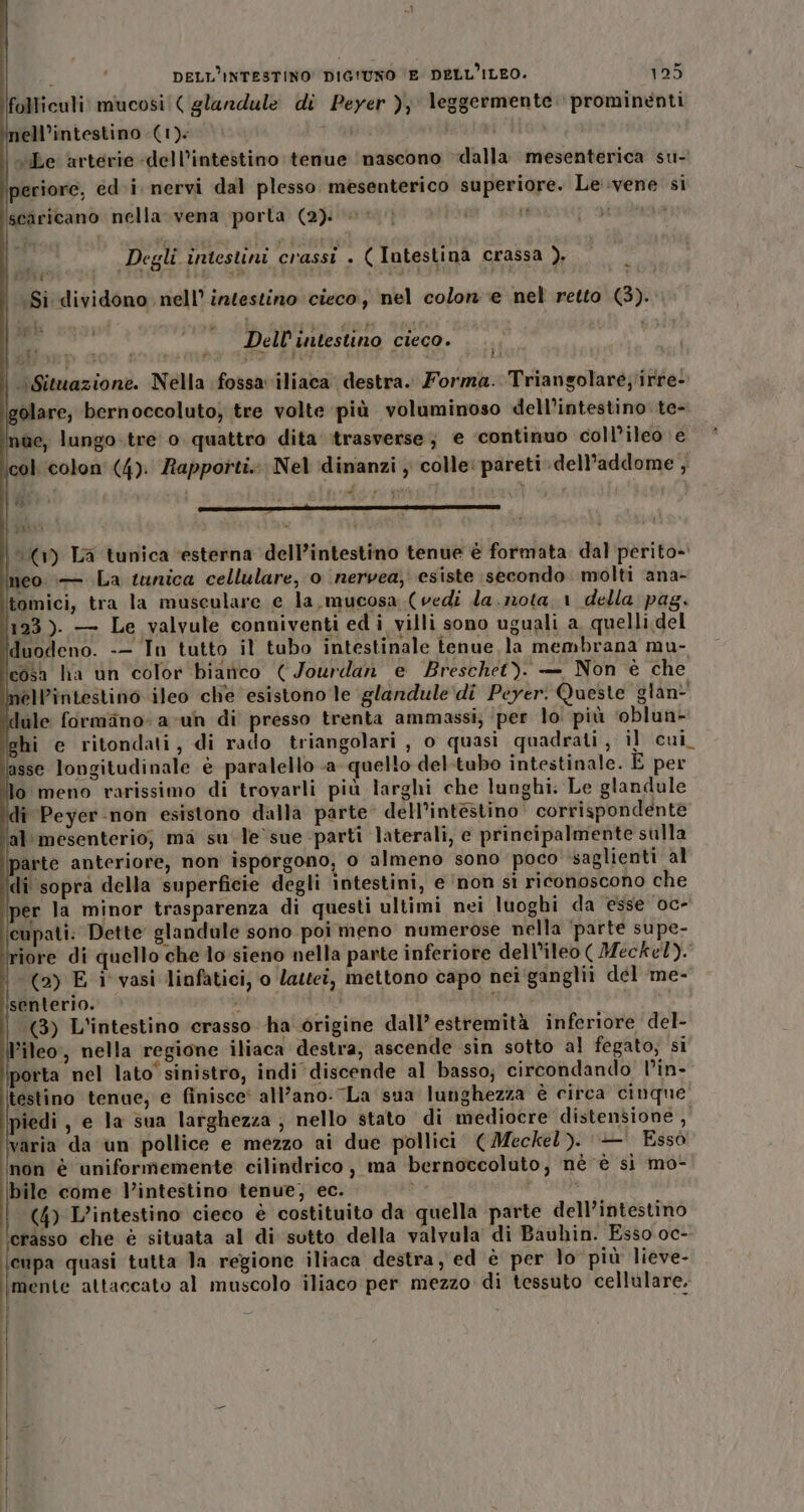 folliculi mucosi!( glandule di Peyer ), leggermente: prominenti ell’intestino (1): 1 “Le arterie -dell’intestino tenue ‘nascono “dalla mesenterica su- periore, edi, nervi dal plesso. mesenterico superiore. Le':vene si vo iano nella vena porta (2). ci i Degli intestini crassi . ( Iutestina crassa ), «Si dividono nell’ intestino cieco, nel colon e nel retto (3). ini a Dell'intestino cieco. ‘Situazione. Nella fossa iliaca’ destra. Forma. Triangolaré;irre- olare, bernoccoluto) tre volte più voluminoso dell'intestino te- ae, lungo-tre o quattro dita’ itrasverse; e ‘continuo coll’ileo e col colon (4). Rapporti. Nel dinanzi , colle: pareti dell'addome , me, ì. (1) La tunica esterna dell’intestino tenue è formata. dal perito- neo :— La tunica cellulare, 0 nervea, esiste secondo: molti ‘ana- tomici, tra la musculare e la, mucosa (vedi la, mota 1 della pag. 123). — Le valvule conniventi ed i villi sono uguali a quelli del duodeno. -- In tutto il tubo intestinale tenue la membrana mu- cosa ha un color bianco (Jourdan e Breschet). - Non è che ell’întestino ileo ché esistono le glandule di Peyer. Queste glan- lale formano: a-un di presso trenta ammassi; ‘per lo: più ‘oblun- ghi e ritondati, di rado triangolari , o quasi quadrati, il cui, asse longitudinale è paralello a quello del-tubo intestinale. E per lo meno rarissimo di trovarli più larghi che lunghi: Le glandule di Peyer-non esistono dalla parte: dell'intestino corrispondente al'mesenterio; ma su-le'sue parti laterali, e principalmente sulla parte anteriore, non isporgono, 0 almeno sono poco ‘saglienti al di sopra della superficie degli intestini, e ‘non sì riconoscono che per la minor trasparenza di questi ultimi nei luoghi da esse oc- ‘cupati. Dette glandule sono poi meno numerose nella ‘parte supe- riore di quello che lo sieno nella parte inferiore dell’ileo ( Meckel). (a) E i vasi linfatici, o Vastei, mettono capo nei'ganglii dél me- senterio. n vie It + ih 3) L'intestino crasso ‘ha origine dall’ estremità inferiore del- leo, nella regione iliaca destra, ascende sin sotto al fegato; si porta nel lato' sinistro, indi discende al basso; circondando l’in- testino tenue, e finisce' all’ano: La sua lunghezza è circa cinque piedi, e la sua larghezza ; nello stato di mediocre distensione s varia da un pollice e mezzo ai due pollici (Meckel ). — Essò inon è uniformemente cilindrico , ma bernoccoluto, nè è sì mo- bile come l'intestino tenue, ec. ps RM (4) L’intestino cieco è costituito da quella parte dell’intestino crasso che è situata al di sutto della valvula di Bauhin. Esso oc- cupa quasi tutta la regione iliaca destra, ed è per lo più lieve- mente attaccato al muscolo iliaco per mezzo di tessuto cellulare.