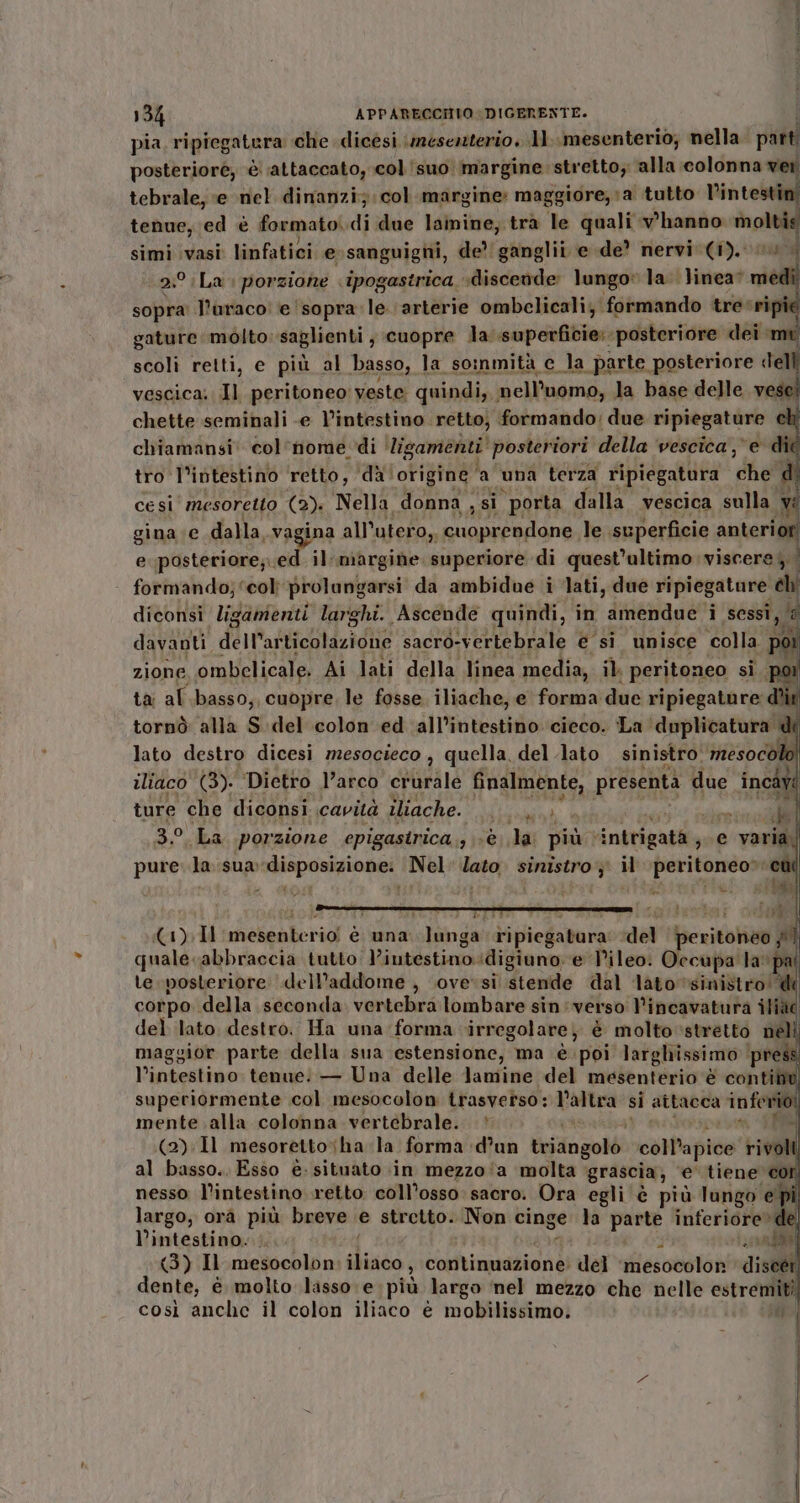 pia ripiegatara: che dicési \mesezzierio, 11. mesenterio; nella pani posterioré, è ‘attaccato, col suo margine stretto; alla colonna ver tebrale,; ‘e nel dinanzi; col margine: maggiore, a tutto l'intestini tenue, ed è formato. di due lamine; trà le quali v'hanno pie simi vasi linfatici e; sanguigni, de’ ganglii e de? nervi (1). asd °.La porzione ipogastrica «discende lungo la. linea” medi i l’araco: e ‘sopra le. arterie ombelicali; formando tresri gature molto: saglienti , cuopre la superficie: posteriore dei &gt; scoli retti, e più al basso, la soinmità e la parte posteriore ell vescica; Il peritoneo: veste quindi, nell'uomo, la base delle vese chette seminali e l'intestino: crt formando, ent vaglia gina e dalla. vagina a all’utero 0, pete tt le I anteric e posteriore;..e. di margine superiore di quest'ultimo viscere; formando; ‘col prolungarsi da ambidue i lati, due ripiegature E; diconsi ligamenti larghi. Ascende quindi, in ‘dmenagieo i sessi, i davanti dti sacro-vertebrale e si unisce colla. Di zione ombelicale. Ai lati della linea media, il peritoneo si. ta: al basso, cuopre. le fosse iliache, e forma due ripiegature d tornò alla S del colon ed all’intestino cieco. La duplicatura | lato destro dicesi mesocieco , quella, del lato sinistro. ‘mesocok iliaco (3). Dietro l’arco crurale finalmente, presenta due incdy ture che diconsi cavità iliache. AA La s “i 3° La porzione epigastrica., «è. la. più ‘intrigatà, e varia| pure la sua» gin no Nel: lara n, u rai ore. i da TEDIE I mesenterio! è una lunga r'ipiegatara del be citi fi quale.abbraccia tutto l’iutestino idigiuno e T’ileo. Occupa la pa te posteriore dell'addome , ove-si stende dal lato sinistro! corpo della seconda oracle lombare sin :verso lincavatura iliàé del lato. destro. Ha una forma irregolare, è molto ‘stretto nidi maggior parte della sua estensione, ma è. poi larghissimo | press l'intestino tenue: — Una delle lamine. né mesenterio è : conti DI mente Mix colonna shrtiivatai | (2).Il mesoretto;ha la forma d’un csiozoiti obbfpido* rivoli al basso.. Esso è. situato «in mezzo ‘a ‘molta grascia, ‘e tiene cor nesso l'intestino retto. coll’osso: sacro. Ora egli è più lungo” e largo, orà più breve e stretto. Non cinge la parte inferiorevd ; l'intestino. 3251.8001 (3) Il mesocolon iliaco, continuazione) del ailesocoion disebi dente, é molto lasso e più largo ‘nel mezzo che nelle estremità così anche il colon iliaco è mobilissimo. 8]