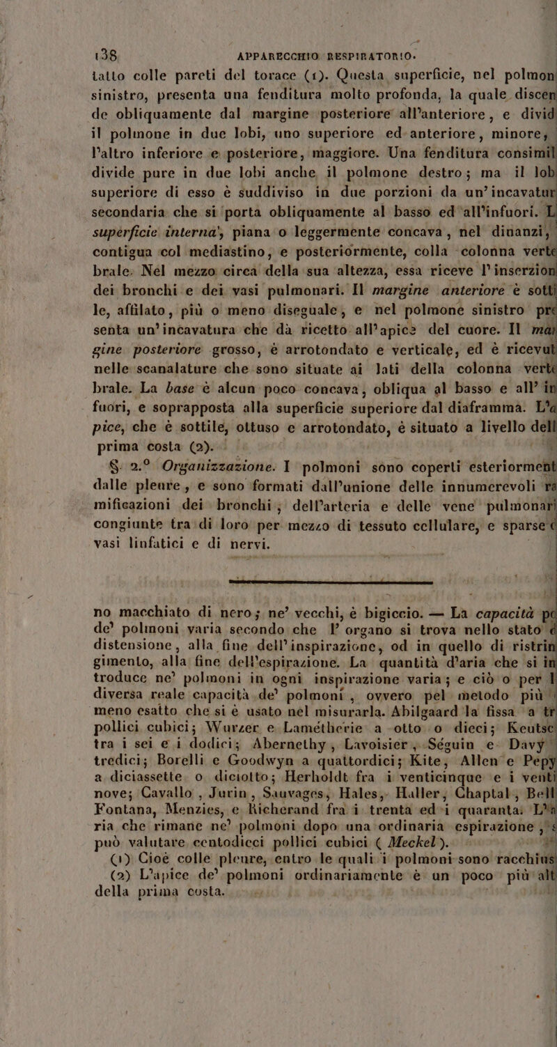 138 APPARECCHIO. RESPIRATORIO. | tatto colle pareti del torace (1). Questa superficie, nel polmon sinistro, presenta una fenditura molto profonda, la quale. discen de obliquamente dal margine posteriore all’anteriore , e. dividi il polmone in due lobi, uno superiore ed. anteriore, minore; | l’altro inferiore e posteriore, maggiore. Una fenditura consimili divide pure in due lobi anche, il polmone destro; ma il lobi superiore di esso è suddiviso in due porzioni da un’incavatur secondaria che si ‘porta obliquamente al basso ed‘all’infuori. I superficie interna’, piana 0 leggermente concava, nel divanzi, contigua «col mediastino; e posteriormente, colla ‘colonna verte brale: Nel mezzo ‘circa della sua ‘altezza, essa riceve l° inserzion dei bronchi .e dei vasi pulmonari. Il margine anteriore è sotti le, affilato, più o meno diseguale, e nel polmone sinistro pre senta un’incavatura che dà ricetto all'apice del cuore. Il mar gine. posteriore grosso, è arrotondato e verticale, ed è ricevut nelle scanalature che sono situate ai lati della colonna verti brale. La dase è alcun poco concava; obliqua al basso e all’ in fuori, e soprapposta alla superficie superiore dal diaframma. La pice, che è sottile, ottuso e arrotondato, è situato a livello dell prima costa (2)... | si S: 2.° Organizzazione: I polmoni sono coperti esteriorment dalle plenre , e sono formati dall’unione delle innumerevoli rà mificazioni dei bronchi; dell’arteria e delle vene pr congiunte tradi loro per mezzo di tessuto cellulare, e sparse d Rana Hi ; ; | vasi linfatici e di nervi. | i i. siii no macchiato di nero; ne’ vecchi, é bigiccio. — La capacità de’ polinoni varia secondo che 1’ organo si trova nello stato distensione, alla fine dell’inspirazione, od in quello di ristri gimento, alla fine dell’espirazione. La quantità d’aria che si i troduce ne’ polmoni in ogni inspirazione varia; e ciò o per ll i pollici cubici; Wurzer e Lametherie a -otto 0 dieci; Keuts tra i sei e i dodiciz Abernethy; Lavoisier -Séguin e- Davy tredici; Borelli e Goodwyn a quattordici; Kite; AMen e Pep a diciassette. o. diciotto; Herholdt fra i venticinque ‘e i vent nove; Cavallo , Jurin, Sauvages, Hales, Haller; Chaptal, Bell Fontana, Menzies, e. hicherand fra i. trenta ed-i quaranta: ‘L* ria che rimane ne? polmoni dopo una ordinaria espirazione } può valutare centodicci pollici cubici ( Meckel). | ii ; TH (1) Cioè colle pleure, entro le quali i polmoni-sono racchi (2) L’apice de’ polmoni ordinariamente è un. poco più'a della prima costa. saual Mi # ,