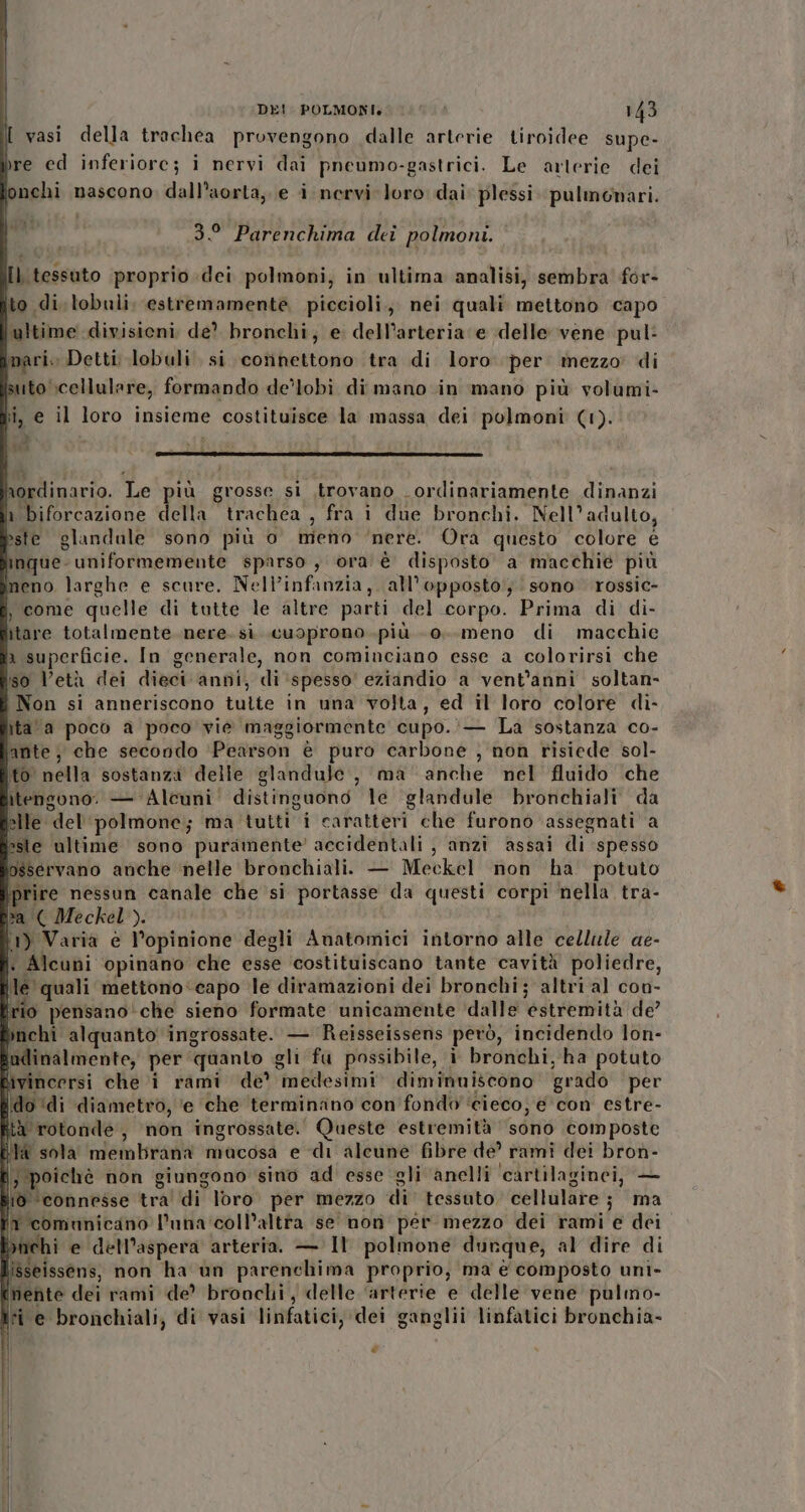 [ vasi della trachea provengono dalle arterie tiroidee supe- re ed inferiore; i nervi dai pneumo-gastrici. Le arterie dei onchi nascono, dall'aorta, e i nervi loro dai plessi. pulmonari. 3° Parenchima deî polmoni. [l tessuto proprio .dei polmoni, in ultima analisi, sembra for- ito di tobuli. estremamente piccioli.,, nei quali mettono capo ‘ultime divisioni de? bronchi, e dell'arteria e delle vene pul: pari. Detti lobuli si connettono tra di loro per mezzo di suto cellulare, formando de’lobì di mano in mano più volumi- li, e il loro insieme costituisce la massa dei polmoni (1). x fee * (i aordinario. Le più grosse si ,trovano _ ordinariamente dinanzi ln biforcazione della trachea , fra i due bronchi. Nell’adulto, este glandale sono più o meno ‘nere. Ora questo colore e inque- uniformemente sparso , ora è disposto a macchie più Ineno larghe e scure. Nell’infanzia, all'opposto; sono rossic- , come quelle di tutte le altre parti del corpo. Prima di di- itare totalmente. nere. si cuoprono più - 0... meno di macchie a superficie. In generale, non cominciano esse a colorirsi che s0 Vetà dei dieci anni, di ‘spesso eziandio a vent'anni soltan- i Non si anneriscono tutte in una volta, ed il loro colore di- îta‘a poco a poco vie maggiormente cupo. '— La sostanza co- ante; che secondo ‘Pearson è puro carbone , non risiede sol- to nella sostanza delle glandule, ma anche nel fluido che itengono. — Alcuni’ distinguono le glandule bronchiali da lle del ‘polmone; ma tutti i caratteri che furono assegnati a ste ultime sono puramente’ accidentali , anzi assai di spesso osservano anche nelle bronchiali. — Meckel non ha potuto prire nessun canale che si portasse da questi corpi nella tra- a ( Meckel ). }1) Varia e l’opinione degli Anatomici intorno alle cellule ae- . Alcuni opinano che esse ‘costituiscano tante cavità poliedre, le quali mettono*capo le diramazioni dei bronchi; altri al con- rio pensano'che sieno formate unicamente ‘dalle estremità de’ inchi alquanto ingrossate. — Reisseissens però, incidendo lon- indinalmente, per quanto gli fu possibile, è bronchi, ha potuto Mvincersi che i rami de’ medesimi. diminuiscono grado per ido ‘di diametro, e che terminano con'fondo ‘cieco; e con estre- ta rotonde, non ingrossate.' Queste estremità sono composte ila sola membrana macosa e di alcune fibre de’ rami dei bron- Il i, poichè non giungono sino ad esse gli anelli cartilaginei, — lio ‘connesse tra' di loro. per mezzo di tessuto. cellulare; ma in comunicano l’una'coll’altta se non per mezzo dei rami e dei bnehi e dell’aspera arteria. — Il polmone dunque, al dire di isseissens, non ha ùn parenchima proprio, ma è composto uni- inente dei rami de? bronchi, delle ‘arterie e delle vene pulmo- ii e bronchiali, di vasi linfatici, dei ganglii linfatici bronchia- P°