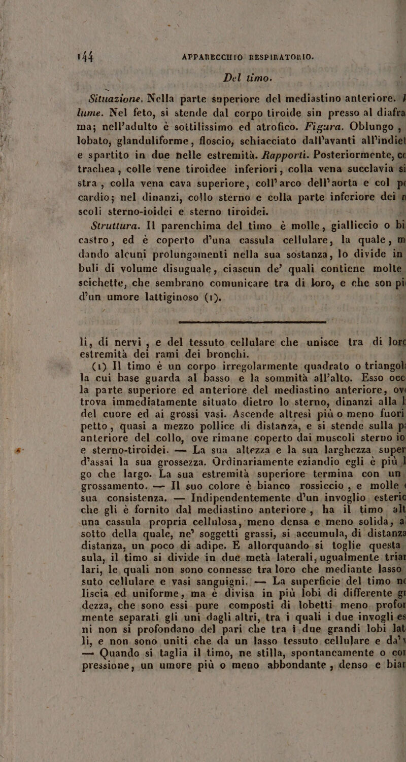 Del timo. Situazione, Nella parte superiore del mediastino anteriore. / lume. Nel feto, si stende dal corpo tiroide sin presso al diafra ma; nell’adulto è sottilissimo ed atrofico. Figura. Oblungo , lobato; glanduliforme, floscio; schiacciato datl’avanti all’indiet e spartito in due nelle estremità. Rapporti. Posteriormente, trachea, colle vene tiroidee inferiori, colla vena succlavia si stra, colla vena cava superiore, coll’arco dell’aorta e col pi cardio; nel dinanzi, collo sterno e colla parte inferiore dei u scoli sterno-ioidei e sterno tiroidei. è Struttura. Il parenchima del timo è molle, gialliccio o bi castro, ed è coperto d'una cassula cellulare, la quale, m dando alcuni prolungamenti nella sua sostanza, lo divide in buli di volume disuguale, ciascun de’ quali contiene molte scichette, che sembrano comunicare tra di loro, e che son pi d’un umore lattiginoso (1). / li, di nervi, e del tessuto cellulare che unisce tra di lore estremità dei rami dei bronchi. | (1) Il timo è un corpo irregolarmente quadrato o triangol la cui base guarda al basso e la sommità all’alto. Esso oce la parte superiore ed anteriore del mediastino anteriore, ov trova immediatamente situato dietro lo sterno, dinanzi alla È del cuore ed ai grossi vasi. Ascende altresì più o meno fuori petto, quasi a mezzo pollice di distanza, e si stende sulla p: anteriore del collo, ove rimane coperto dai muscoli sterno io e sterno-tiroidei. — La sua altezza e la sua larghezza super d’assai la sua grossezza. Ordinariamente eziandio egli è più go che largo. La sua estremità superiore termina con un, grossamento. — Il suo colore è bianco rossiccio , e molle | sua, consistenza. — Indipendentemente d’un invoglio. esteric che gli è fornito dal mediastino anteriore.,. ha .il timo. alt una cassula propria cellulosa, meno densa e meno solida; ai sotto della quale, ne° soggetti grassi, si accumula, di distanza distanza, un poco di adipe. E allorquando.si toglie questa. sula, il timo si divide in due metà laterali, ugualmente triat lari, le, quali non sono connesse tra loro che mediante lasso, suto cellulare e vasi sanguigni. — La superficie del timo ni liscia ed. uniforme, ma è divisa in più lobi di differente gi dezza, che sono essi. pure composti di. lobetti. meno, profor mente separati gli uni dagli altri, tra i quali i due invogli.es ni non si profondano .del pari che tra i.due grandi lobi Jat li, e non sono uniti che da un lasso tessuto cellulare e da’ } — Quando si taglia il timo, ne stilla, spontancamente o coi pressione, un umore più o meno abbondante ; denso e biat