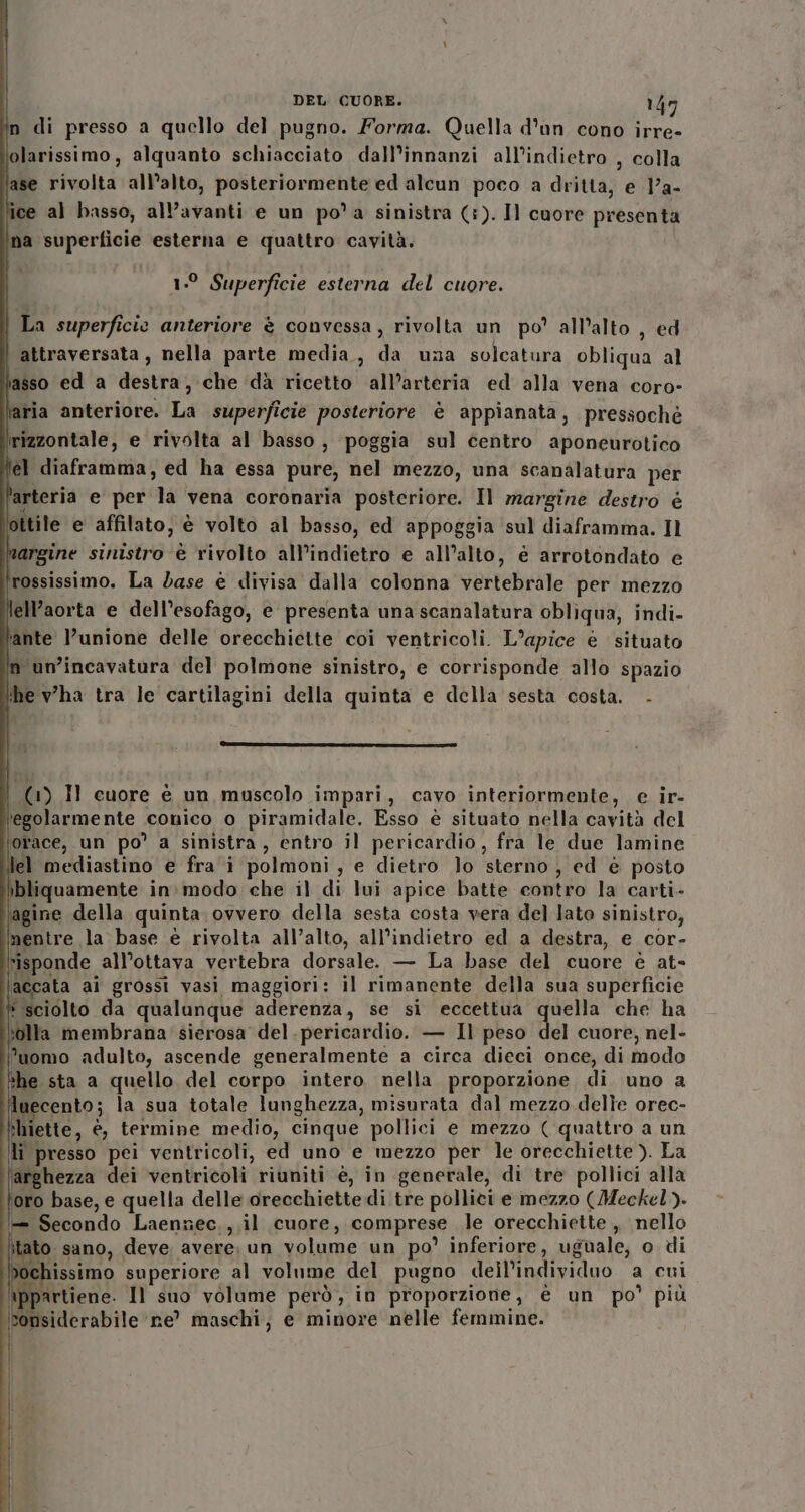 in di presso a quello del pugno. Forma. Quella d'un cono irre- olarissimo, alquanto schiacciato dall’innanzi all’indietro , colla lase rivolta all’alto, posteriormente ed alcun poco a dritta, e ]’a- ce al basso, all’avanti e un po a sinistra (:). Il cuore presenta ina superficie esterna e quattro cavità. 1.° Superficie esterna del cuore. | La superficie anteriore è convessa, rivolta un po’ all’alto , ed | attraversata, nella parte media., da una solcatura obliqua al asso ed a desarisi che ‘dà ricetto all’arteria ed alla vena coro- laria anteriore. Là superficie posteriore è appianata, pressoché rizzontale, e rivolta al basso, poggia sul centro aponeurotico fel diaframma, ed ha essa pure, nel mezzo, una scanalatura per fr e per ch vena coronaria posteriore. Il margine destro è ottile e affilato, è volto al basso, ed appoggia sul diaframma. Il | argine sinistro è rivolto all’indietro e all’alto, è arrotondato e rossissimo. La dase è divisa dalla colonna vartebidile per mezzo llell’aorta e dell’esofago, è presenta una scanalatura obliqua, indi- lante l’unione delle orecchiette coi ventricoli. L’apice è situato n ùn’incavatura del polmone sinistro, e corrisponde allo spazio l'he vha tra le cartilagini della quinta e della sesta costa. .- ( (1) Il cuore è un muscolo impari, cavo interiormente, e ir- ‘'egolarmente conico o piramidale. Esso è situato nella cavità del orace, un po’ a sinistra, entro il pericardio, fra le due lamine lel mediastino e fra polmoni , e dietro lo sterno , ed è posto bliquamente in:modo che il di lui apice batte contro la carti- agine della quinta. ovvero della sesta costa vera del lato sinistro, mentre la base è rivolta all’alto, all’indietro ed a destra, e cor- risponde. all'ottava vertebra dorsale. — La base del cuore è at- ‘accata ai grossi vasi maggiori: il rimanente della sua superficie * sciolto da qualunque aderenza, se si eccettua quella che ha vola membrana sierosa del. pericardio. — Il peso del cuore, nel- uomo adulto, ascende generalmente a circa dieci once, di modo ‘he sta a quello del corpo intero nella proporzione di uno a luecento; la sua totale lunghezza, misurata dal mezzo delîe orec- khiette, è, termine medio, cinque pollici e mezzo ( quattro a un Us presso pei ventricoli, ed uno e mezzo per le orecchiette ). La arghezza dei ventricoli riuniti è, in generale, di tre pollici alla ‘oro base, e quella delle orecchiette di tre pollici e mezzo (Meckel). — Secondo Laennec., il cuore, comprese le orecchiette , nello itato sano, deve avere, un volume un po’ inferiore, uguale, o di &gt;ochissimo superiore al volume del pugno dell'individuo a cui lan? \ppartiene. Il suo volume però, in proporzione, è un po’ più Sonsiderabile ne’ maschi, e minore nelle femmine.