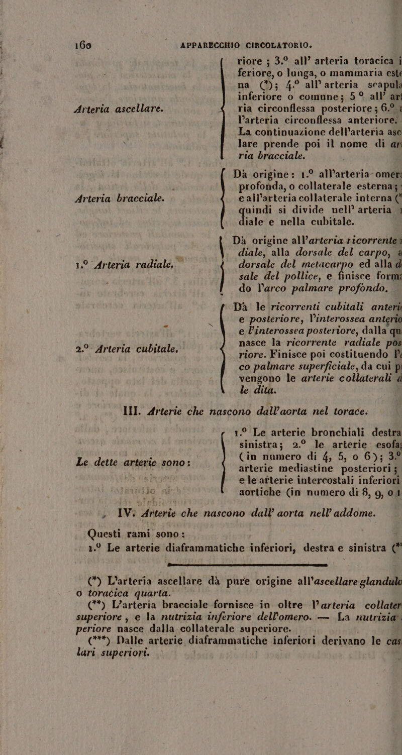 Arteria ascellare. Arteria bracciale. 1.° Arteria radiale, 2.°. Arteria cubitale, riore ; 3.° all’ arteria toracica i feriore, o lunga, o mammaria est na (*); 4° all’arteria scapul inferiore o comune; 5° all’ arl € ria circonflessa posteriore ; 6.0: l’arteria circonflessa anteriore. La continuazione dell’arteria ase lare prende poi il nome di ar ria bracciale. Dà origine: 1.° all’arteria- omer: profonda, o collaterale esterna; e all’arteria collaterale interna (* uindi si divide nell’ arteria | diale e nella cubitale. Dà origine all’arteria ricorrente? diale, alla dorsale del carpo, è dorsale del metacarpo ed alla d sale del pollice, e finisce formi do l’arco palmare profondo. Dà le ricorrenti cubitali anterii e posteriore, l’interossea anteriò e l’interossea posteriore, dalla qui nasce la ricorrente radiale pos riore. Finisce poi costituendo I co palmare superficiale, da cui pì vengono le arterie collaterali d le dita. Le dette arterie sono: 530 1.° Le arterie bronchiali destra sinistra; 2.° le arterie .esofa; (in numero di 4, 5, o 6); 3° arterie mediastine posteriori ; e le arterie intercostali inferiori aortiche (in numero di 8, 9, 01 Questi rami sono : o toracica quarta. lari superiori.