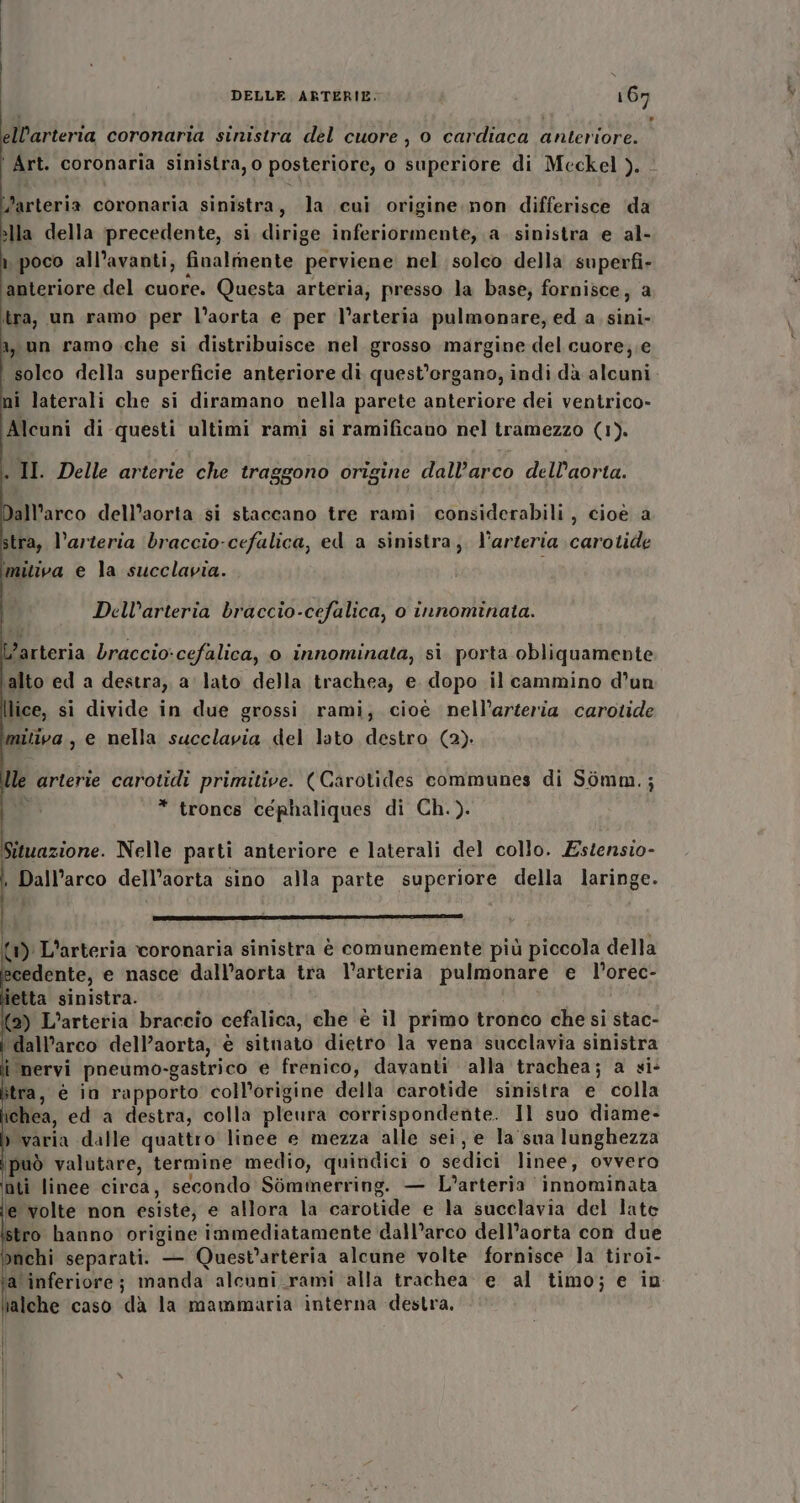 ellarteria coronaria sinistra del cuore, 0 cardiaca anteriore. ‘ Art. coronaria sinistra, o posteriore, o superiore di Mceckel ). - arteria coronaria sinistra, la cui origine non differisce ‘da sla della precedente, si dirige inferiormente, a. sinistra e al- a, poco all’avanti, finalmente perviene nel solco della superfi- anteriore del cuore. Questa arteria, presso la base; fornisce, a tra, un ramo per l’aorta e per l’arteria pulmonare, ed a, sini- a, un ramo che si distribuisce nel grosso margine del cuore; .e i solco della superficie anteriore di quest’organo, indi dà alcuni mi laterali che si diramano nella parete anteriore dei ventrico- Alcuni di questi ultimi rami si ramificano nel tramezzo (1). . II. Delle arterie che traggono origine dall’arco dell'aorta. all'arco dell’aorta si staccano tre rami considerabili, cioè a stra, l’arteria ‘braccio-cefalica, ed a sinistra, l'arteria carotide imitiva e la succlavia. Dell’arteria braccio-cefalica, 0 innominata. L’arteria Draccio:cefalica, 0 innominata, si. porta obliquamente alto ed a destra, a lato della trachea, e dopo il cammino d’un lice, si divide in due grossi rami, cioè nell’arteria carotide mitiva, e nella succlavia del lato destro (2). le arterie carotidi primitive. (Carotides communes di Somm.; : * troncs céphaliques di Ch.). Situazione. Nelle parti anteriore e laterali del collo. Estensio- . Dall’arco dell’aorta sino alla parte superiore della laringe. ii |} cette Raistlin {1)' L’arteria coronaria sinistra è comunemente più piccola della cedente, e nasce dall’aorta tra l'arteria pulmonare e l’orec- letta sinistra. 2) L’arteria braccio cefalica, che è il primo tronco che si stac- ‘dall’arco dell’aorta, è sitnato dietro la vena succlavia sinistra i nervi pneumo-gastrico e frenico, davanti alla trachea; a si: itra, è in rapporto coll’origine della carotide sinistra e colla ichea, ed a destra, colla pleura corrispondente. Il suo diame- » varia dalle quattro linee e mezza alle sei, e la sua lunghezza può valutare, termine medio, quindici o sedici linee, ovvero nti linee circa, secondo Sommerring. — L’arteria innominata ie volte non esiste, e allora la carotide e la sucelavia del late stro hanno origine immediatamente dall’arco dell’aorta con due nchi separati. — Quest’arteria alcune volte fornisce la tiroi- a inferiore; manda alcuni rami alla trachea e al timo; e in ialche caso dà la mammaria interna destra,