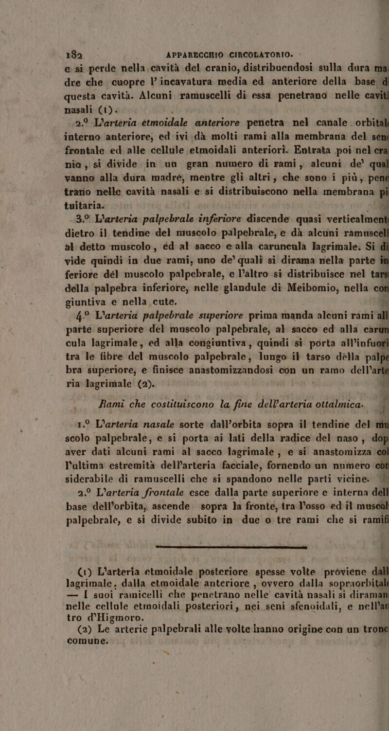 e si perde nella. cavità del cranio, distribuendosi sulla dura ma; dre che cuopte | incavatura media ed anteriore della base d questa cavità. Alcuni ramuscelli di essa penetrano nelle caviti nasali (1). Ù 2.9 L'ariéria etmoidale anteriore penetra nel canale. orbifili interno anteriore; ed ivi.dà molti rami alla membrana del seni frontale ed alle cellule etmoidali anteriori. Entrata poi nel cr nia, si divide. in un gran numero di rami, alcuni de’ dl vanno alla dura madré, mentre gli altri, che sono i più, pene tranio nelle cavità nasali e si distribuiscono nella membrana pi tuitaria. di 3.° L'arteria placa le inferiore discende. quasi verticalmenti dietro il tendine del muscolo palpebrale, e dà alcuni ramuscell al. detto :muscolo,, éd al sacco e alla caruncala lagrimale: Si di vide quindi in due rami, uno de’ quali si dirama nella parte in feriore dél muscolo palpebrale, e l’altro si distribuisce nel tars della palpebra inferiore, nelle glandule di Meibomio, nella con giuntiva e nella cute. 4° L'arteria palpebrale superiore prima rnanda alcuni rami all parte superiore del muscolo palpebrale, al sacco ed alla carùn cula lagrimale, ed alla congiuntiva, quindi si porta all’infuoti tra le fibre del muscolo palpebrale, lungo il tarso della palpe bra superiore, e finisce anastomizzandosi con un ramo cele ria lagrimale (2). Rami che costituiscono la fine dell’arteria ottalmica. 1.° L’arteria nasale sorte dall’orbita sopra il tendine del scolo palpebrale, e si porta ai lati della radice del naso, dop aver dati alcuni rami al sacco lagrimale , ‘e si anastomizza col l'ultima estremità dell’arteria facciale, fornendo un numero cot siderabile di ramuscelli che si spandono nelle parti vicine. ‘| 2.° L’arteria frontale esce dalla parte superiore e interna dell base dell’orbita, ascende. sopra la fronte, tra l'osso ed il muscal palpebrale, e si divide subito in due o tre rami che si ramifi i x E î A lagrimale, dalla etmoidale anteriore , ovvero dalla sopraorbita — I suoi ramicelli che penetrano nelle cavità nasali si dirama nelle cellule etmoidali posteriori, nei seni sfenoidali, e nellug tro d'Higmoro. (2) Le arterie palpebrali alle volte lranno origine con un trone comune. | ni (1) L'arterià cetmoidale posteriore. spesse volte proviene Ù