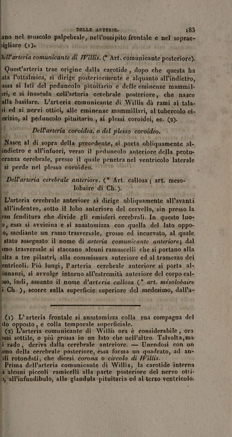 ano nel. muscolo palpebrale ;nell’occipito; frontale e nel soprac- igliare Ie iter ioni Atimabitiole) | dell'arteria comunicante di Willis. Art. comunicante posteriore). Quest’arteria trae origine dalla carotide , dopo che questa ha ata l’ottalmica, si dirige posteriormente é alquanto all'indietro, assa ai lati del peduncolo pituitario e' delle eminenze mammil- ri, e si inoscula:..coll’arteria. cerebrale posteriore. che nasce la basilare. L’arteria comunicante di Willis dà rami ai tala. i ed.ai nervi ottici, alle eminenze mammillari, al tubercolo. ci, sana al 1 Belsnonio pituitario,, ai. plessi coroidei, ec. (2). Mi. © uo lac Nasce al di ‘sopra della uibecddito,, si, ‘porta, obliquamente al- ndietro e all’infuori, verso il peduncolo anteriore della protu- eranza cerebrale, presso il quale crii hel ventricolo laterale si perde nel plesso coroideo. © Dell'arieria cortoidea, 0 del plesso coroideo. | Dell'ar teria cerebrale anteriore. (* ‘Art. callosa ; art. meso- N lobaire di Ch. 3; ro co L'arteria cerebrale anteriore si fata obliquamente all’avanti all’indentro, sotto il lobo anteriore del cervello,'sin presso la ran fenditura che,divide gli emisferi cerebrali. In, questo luo- o y;essa si avvicina e. si anastomizza .con quella del lato oppo- ‘0, mediante un ramo: trasversale, grosso ed incurvato, al quale, i stato assegnato il nome di arteria comunicante anteriore; dal mo trasversale si staccano. alcuni ramuscelli che si portano alla olta a tre pilastri, alla commissura anteriore ed al tramezzo dei ntricoli.. Pià lungi, l'arteria. cerebrale anteriore si porta. al. innanzi, si avvolge intorno all’estremità anteriore del corpo cal- &gt;so, indi, assunto il nome d’arteria callosa (*.art. mésolobaire i Ch. ), scorre sulla superficie: superiore del medesimo, dall’a- DS (1) L’arteria frontale si anastomizza colla sua compagna del ito opposto, e colla temporale superficiale. (2 L'arteria comunicante di Willis ora è considerabile , ora ssai sottile, o più grossa in un lato che nell’altro. Talvolta, ma i rado, deriva dalla cerebrale anteriore. — Unendosi con un imo della cerebrale posteriore, essa forma un quadrato, ad an- dli rotondati, che dicesi corona o. circolo di Willis. | Prima dell’arteria comunicante di Willis; la carotide interna à alcuni piccoli ramicelli alla parte posteriore del nervo otti- &gt;; ‘all’infundibulo, alla glandala pituitaria ed al terzo ventricolo.