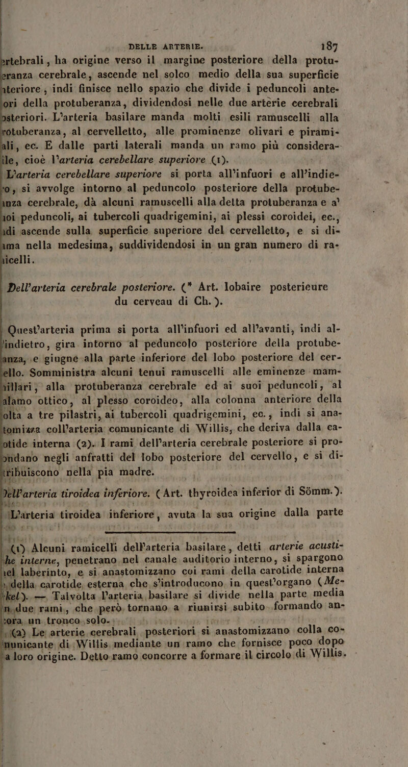 artebrali, ha origine verso il margine posteriore della. protu- eranza cerebrale, ascende nel solco medio della sua superficie ateriore ; indi finisce nello spazio che divide i peduncoli ante- ori della protuberanza, dividendosi nelle due arterie cerebrali nsteriori.. L’arteria basilare manda molti esili ramuscelli alla rotuberanza, al cervelletto, alle prominenze olivari e pirami- ali, ec. E dalle parti laterali manda un ramo più considera-- ile, cioè l'arteria cerebellare superiore (1). \L’arteria cerebellare superiore si porta all'infuori e all’indie- ‘o, si avvolge intorno al peduncolo .posteriore della protube- anza cerebrale, dà alcuni ramuscelli alla detta protuberanza e a° i0i peduncoli, ai tubercoli quadrigemini, ai plessi coroidei, ec., adi ascende sulla superficie. superiore del cervelletto, e si di- ama nella medesima, suddividendosi in un gran numero di ra- ricelli. | Dell’arteria cerebrale posteriore. (* Art. lobaire posterieure du cerveau di Ch.). Quest’arteria prima si porta all’infuori ed all’avanti, indi al- lindietro, gira. intorno ‘al peduncolo posteriore della protube- anza, e giugne alla parte inferiore del lobo posteriore del cer- ello. Somministra alcuni tenui ramuscelli alle eminenze mam- tillari; alla protuberanza cerebrale ed ai suoi peduncoli, al alamo ottico, al plesso coroideo, alla colonna anteriore della olta a tre pilastri, ai tubercoli quadrigemini, ec., indi sì ana- tomi4z2 coll’arteria: comunicante di Willis, che deriva dalla ca- ptide interna (2). I rami dell’arteria cerebrale posteriore si pro- i dano negli anfratti del lobo posteriore del cervello, e si di- tribuiscono nella pia madre. ell’arteria tiroidea inferiore. (Art. tbhyroidea inferior di Somm.). ‘IL’arteria tiroidea inferiore, avuta la sua origine dalla parte ro, Alcuni ramicelli dell'arteria basilare, detti arterie acusti- ‘he interne, penetrano nel canale auditorio interno, st spargono rel laberinto, e si, anastomizzano coi rami. della carotide interna della, carotide, esterna che. s’introducono. in quest’organo (Me- *kel)..— Talvolta LVarteria basilare si divide nella parte media m.due rami,, che però, tornano a. riunirsi subito «formando an- *ora un. tronco. solo.;.. 0. 17 \.\(a) Le: arterie cerebrali . posteriori si amastomizzano colla co- *‘municante di: Willis, mediante un ramo che fornisce poco dopo ‘a loro origine. Detto.ramo concorre a formare il circolo di Willis. i —-_——_ _-