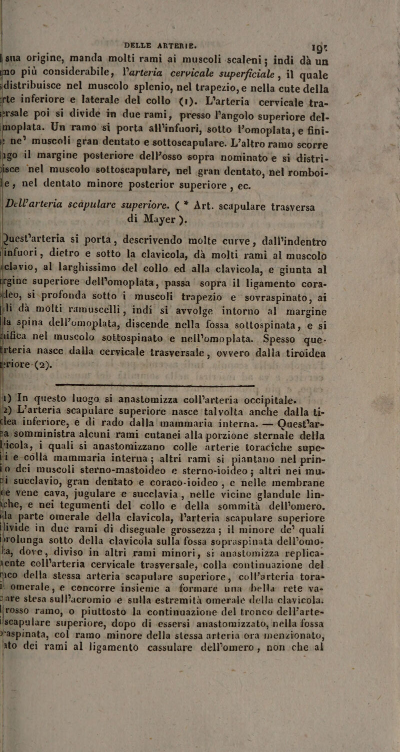 sua origine, manda molti rami ai muscoli scaleni; indi dà un ino più considerabile, l'arteria. cervicale superficiale , il quale idistribuisce nel muscolo splenio, nel trapezio, e nella cute della rte inferiore e laterale del collo (1). L'arteria cervicale tra- ersale poi si divide in due rami, presso l’angolo superiore del- \moplata. Un ‘ramo si porta all’infuori, sotto l’omoplata, e fini- » ne? muscoli: gran dentato e sottoscapulare. L’altro ramo scorre ago il margine posteriore dell’osso sopra nominato e si distri- lisce ‘nel muscolo sottoscapulare, nel .gran dentato, nel romboi- le, nel dentato minore posterior superiore , ec. DELLE ARTERIE. Ig” Dell’arteria scapulare superiore. (* Art. scapulare trasversa I di Mayer ). Quest’arteria sì porta, descrivendo molte curve, dall’indentro linfuori , dietro e sotto la clavicola, dà molti rami al muscolo tclavio, al larghissimo del collo ed alla clavicola, e giunta al gine superiore dell’omoplata, ‘passa sopra il ligamento cora- leo, si.profonda sotto i muscoli trapezio e’ sovraspinato, ai ili da molti ramuscelli, indi si’ avvolge intorno al margine Wa spina dell’omoplata, discende nella fossa sottospinata, e si ni ica nel muscolo sottospinato ‘e nell’omoplata. Spesso que- | Vteria nasce dalla cervicale trasversale, ovvero dalla tiroidea briore-(2). x ———=—@ DMS AS NERI III 1) In questo luogo si anastomizza coll’arteria occipitale» ) L’arteria scapulare superiore nasce talvolta anche dalla ti- lea inferiore, e di rado dalla mammaria interna. — Quest’ar- a\somministra alcuni rami cutanei alla porzione sternale della ticola, i quali si anastomizzano colle arterie toraciche supe- i e-colla mammaria interna; altri rami si piantano nel prin- © dei muscoli sterno-mastoideo e sterno-ioideo ; altri nei mu» i succlavio, gran dentato ie coraco-ioideo , e nelle membrane è vene cava, jugulare e succlavia,, nelle vicine glandule lin- che, e nei tegumenti del collo e della sommità dell’omero. a parte omerale della clavicola, l’arteria scapulare superiore liwide in due rami di diseguale grossezza ; il minore de’ quali rolunga sotto della clavicola sulla fossa sopraspinata dell’omo- fa, dove, diviso in altri rami minori; si anastomizza replica- \ente coll’arteria cervicale trasversale; colla continuazione del Meo della stessa arteria scapulare superiore, coll’arteria tora» omerale, e concorre insieme a formare una bella rete va» are stesa sull’acromio ;e sulla estremità omerale della clavicola. i rosso ramo, o piuttosto la continuazione del tronco dell’arte- iscapulare superiore, dopo di essersi anastomizzato, nella fossa Faspinata, col ramo minore della stessa arteria ora menzionato, pito dei rami al ligamento cassulare dell’omero, non che al | i | i | il a è | Ì