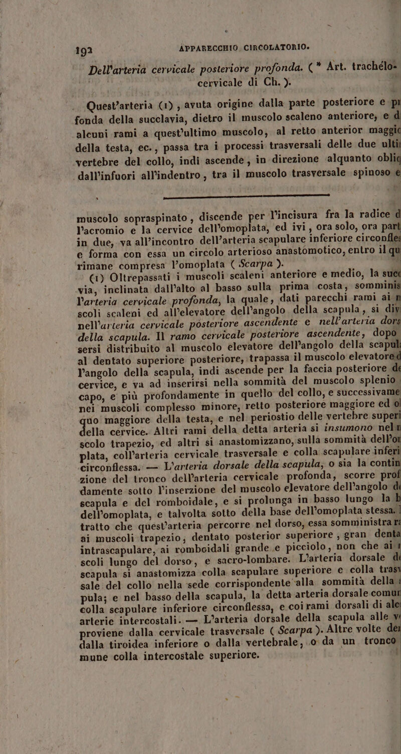 292 APPARECCHIO, CIRCOLATORIO. Dell’arteria cervicale posteriore profonda. (* Art. trachélo= NO cervicale di Ch. ). è Quest’arteria (1) ; avuta origine dalla parte posteriore e pi fonda della succlavia, dietro il muscolo scaleno anteriore; e d alcuni rami a quest'ultimo muscolo, al retto anterior maggic q , 88 I della testa, ec., passa tra i processi trasversali delle due ulti ‘vertebre del collo, indi ascende , in direzione ‘alquanto oblig dall’infuori ‘all’indentro , tra il muscolo trasversale spinoso e » r—————————————————————7#+e_—_——______ muscolo sopraspinato , discende per l’incisura fra la radice d l’acromio e la cervice dell'’omoplata, ed ivi, ora solo, ora part in due, va all’incontro dell’arteria scapulare inferiore circonfles e forma con essa un circolo arterioso anastomotico, entro il qu rimane compresa l’omoplata ( Scarpa ). | i (1) Oltrepassati i muscoli scaleni anteriore e medio, la suce via, inclinata dall'alto al basso sulla prima costa, somminis l'arteria cervicale profonda, la quale, dati parecchi rami ai m scoli scaleni ed all’elevatore dell'angolo, della scapula, sì diy nell’arteria cervicale posteriore ascendente e nell’arteria dors ‘della scapula. Il ramo cervicale posteriore ascendente, dopo. sersi distribuito al muscolo elevatore dell’angolo della scapuli al dentato superiore posteriore, trapassa il muscolo elevatored l'angolo della scapula, indi ascende per la faccia posteriore de cervice, e va ad inserirsi nella sommità del muscolo splenio . capo, e più profondamente in quello del collo, e successivame nei muscoli complesso minore, retto posteriore maggiore ed ol uo maggiore della testa, e nel periostio delle vertebre superi ella cervice. Altri rami della detta arteria si insumono nel: scolo trapezio, ed altri si anastomizzano, sulla sommità dell’ plata, coll’arteria cervicale trasversale e colla: scapulare inferi circonflessa. — L'arteria dorsale della scapula, o sia la contin zione del tronco dell’arteria cervicale profonda, scorre pro damente sotto l'inserzione del muscolo elevatore dell’angolo d scapula e del romboidale, e si prolunga in basso lungo la È dell’omoplata, e talvolta sotto della base dell’omoplata stessa, | tratto che quest’arteria percorre nel dorso, essa somministra ri ai muscoli ‘trapezio; dentato posterior superiore , gran denta intrascapulare, ai rombcidali grande e picciolo, non che ai i scoli lungo del dorso, e sacro-lombare. L’arteria dorsale di scapula si anastomizza colla scapulare superiore e colla trasi sale del collo nella sede corrispondente ‘alla sommità della : pula; e nel basso della scapula, la detta arteria dorsale comur colla scapulare inferiore circonflessa, e. coi rami dorsali di al arterie intercostali.. — L’arteria dorsale della scapula alle y proviene dalla. cervicale trasversale ( Scarpa ). Altre volte dei dalla tiroidea inferiore o dalla vertebrale, ..0: da un tronco, mune colla intercostale superiore. i