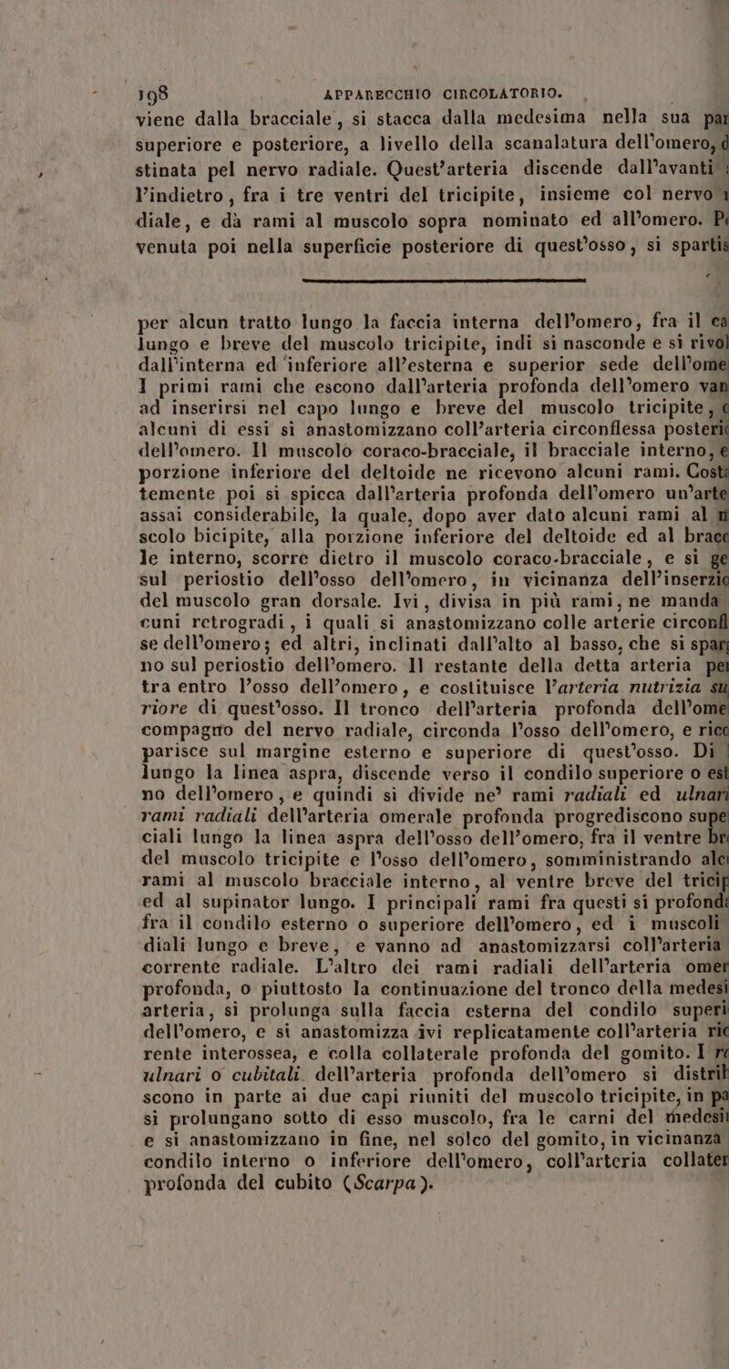 “ 198 APPARECCHIO CIRCOLATORIO. i viene dalla bracciale, si stacca dalla medesima nella sua par superiore e posteriore, a livello della scanalatura dell’omero, d stinata pel nervo radiale. Quest’arteria discende dall’avanti’; l’indietro, fra i tre ventri del tricipite, insieme col nervo 1 diale, e dà rami al muscolo sopra nominato ed all’omero. Pi venuta poi nella superficie posteriore di quest’osso , si spartis P. per alcun tratto lungo la faccia interna dell’omero, fra il ca lungo e breve del muscolo tricipite, indi si nasconde e si rivol dall’interna ed ‘inferiore all’esterna e superior sede dell’ome I primi rami che escono dall’arteria profonda dell’omero van ad inserirsi nel capo lungo e breve del muscolo tricipite, e alcuni di essi si anastomizzano coll’arteria circonflessa posteri dell’omero. Il muscolo coraco-bracciale, il bracciale interno, € porzione inferiore del deltoide ne ricevono alcuni rami. Costi temente poi si spicca dall’arteria profonda dell’omero un'arte assai considerabile, la quale, dopo aver dato alcuni rami al m scolo bicipite, alla porzione inferiore del deltoide ed al brace le interno, scorre dietro il muscolo coraco-bracciale, e si ge sul periostio dell’osso dell’omero, in vicinanza dell’inserzio del muscolo gran dorsale. Ivi, divisa in più rami, ne manda. cuni retrogradi, i quali si anastomizzano colle arterie circonfl se dell’omero; ed altri, inclinati dall’alto al basso, che si spari no sul periostio dell’omero. Il restante della detta arteria pei tra entro l’osso dell’omero, e costituisce Varteria nutrizia su riore di quest’osso. Il tronco dell'arteria profonda dell’ome compagro del nervo radiale, circonda l'osso dell’omero, e rico parisce sul margine esterno e superiore di quest’osso. Di | lungo la linea aspra, discende verso il condilo superiore o est no dell’omero , e quindi si divide ne’ rami radiali ed ulnarì rami radiali dell’arteria omerale profonda progrediscono supe ciali lungo la linea aspra dell’osso dell’omero, fra il ventre bri del muscolo tricipite e l'osso dell’omero, somministrando alci rami al muscolo bracciale interno, al ventre breve del tricip ed al supinator lungo. I principali rami fra questi si profondi fra il condilo esterno o superiore dell’omero, ed i muscoli. diali lungo e breve, e vanno ad anastomizzarsi coll’arteria. corrente radiale. L'altro dei rami radiali dell’arteria omer profonda, o piuttosto la continuazione del tronco della medesi arteria, si prolunga sulla faccia esterna del condilo superi dell’omero, e si anastomizza ivi replicatamente coll’arteria ric rente interossea, e colla collaterale profonda del gomito. I re ulnari o cubitali. dell’arteria profonda dell’omero si distril scono in parte ai due capi riuniti del muscolo tricipite, in pà si prolungano sotto di esso muscolo, fra le carni del medesi! e si anastomizzano in fine, nel solco del gomito, in vicinanza. condilo interno o inferiore dell'’omero, coll’arteria collater profonda del cubito (Scarpa).