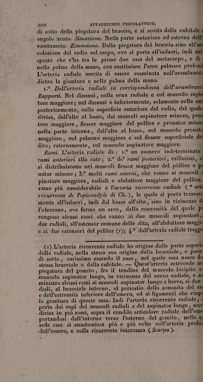 di sotto della piegatura del braccio, e si scosta dalla cubitale a angolo acuto. Situazione. Nella parte anteriore ed esterna dell vambraccio. Estensione. Dalla piegatura del braccio sino all’art colazione del radio col carpo, ove si porta all’infuori, indi nel spazio che v'ha tra le prime due ossa del metacarpo, e di nella palma della mano, ove costituisce l'arco palmare profond L’arteria radiale merita di essere esaminata nell’avambraccii dietro la giuntura e nella palma della mano. va 1° Dell’arteria radiale in corrispondenza dell’ avambracci Rapporti. Nel dinanzi, colla vena radiale e col muscolo supiti tore maggiore; nel dinanzi e inferiormente, solamente colla cut posteriormente, colla superficie anteriore del radio, dal quale divisa, dall’alto al basso, dai muscoli supinatore minore, pron tore maggiore, flessor maggiore del pollice e pronator minor nella parte interna, dall'alto al basso, col muscolo pronato maggiore, col palmare maggiore e col flessor superficiale del dita; esternamente, col muscolo supinatore maggiore. Rami. L’arteria radiale da : 1.° un numero indeterminato. rami anteriori alla cute; 2.° de* rami posteriori, esilissimi, si distribuiscono nei muscoli flessor maggiore del pollice e pr nator minore ; 3.° molti rami esterni, che vanno ai iuscoli s pinatore maggiore, radiali e abduttore maggiore del pollice. ramo più considerabile è l’arteria ricorrente radiale (* arti recurrente de l’epicondyle di Ch.), la quale si porta trasvers mente all'infuori, indi dal basso all’alto, sino in vicinanza di l’olecrano, ove forma un arco, dalla convessità del quale pi vengono alcuni rami che vanno ai due muscoli supinatori ; due radiali, all’estensor comune delle dita, all’abduttore maggie e ai due estensori del pollice (1); 4-° dall’arteria radiale traggo 7 (1) L’arteria ricorrente radiale ha origine dalla parte superi( della radiale, nella stessa sua origine dalla bracciale, o poco. di sotto, rarissimo essendo il caso, nel quale essa nasca da stessa bracciale o dalla cubitale. — Quest’arteria retrocede ne piegatura del gomito, fra il tendine del muscolo bicipite € muscolo supinator lungo, in vicinanza del nervo radiale, e s0 ministra alcuni rami ai muscoli supinator lungo e breve, ai due i diali, al bracciale interno, al periostio della sommità del rat e dell’estremità inferiore dell’omero, ed ai ligamenti che cingo la giuntura di queste ossa. Indi l’arteria ricorrente radiale; ‘ perta dai capi dei muscoli radiali e del supinator lungo, scor divisa in più rami, sopra il condilo articolare radiale dell’ome portandosi dall’interno verso l'esterno del gomito, nella qi sede essa si anastomizza più e più volte coll’arteria. profor dell'’omero, e colla ricorrente interossea ( Scarpa ). »